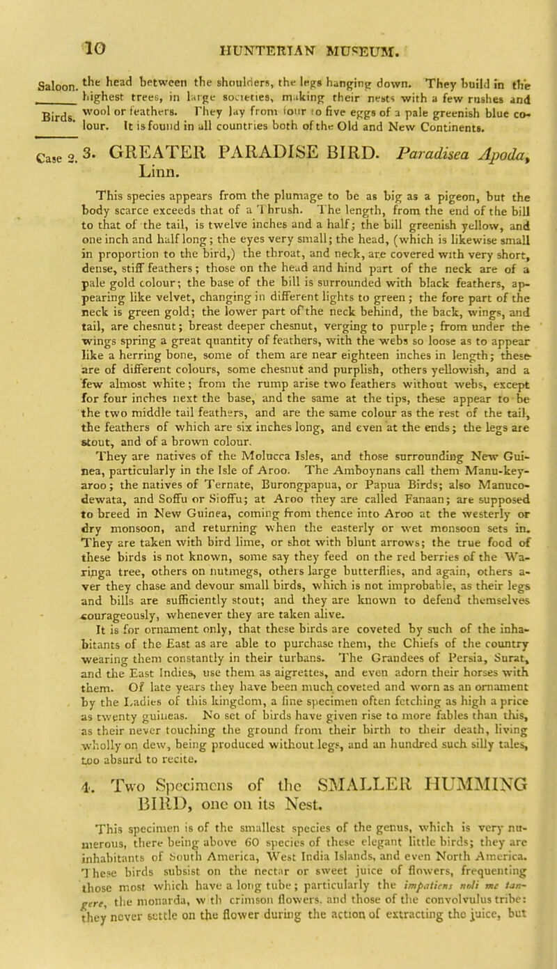 Saloon. ^^'^ ^^^^ between the shoulders, the lefrg hanging down. They build in the , highest trees, in liirpe societies, making their nests with a few riisiies and Birds 't^'ithers. They lay from ioiir lo five epjgs of a pale greenish blue co- lour. It is found in all countries both ofthtr Old and New Continents. Case 2. 3- GREATER PARADISE BIRD. Paradisea Apoda, Linn. This species appears froin the plumage to be as big as a pigeon, but the body scarce exceeds that of a Thrush. The length, from the end of the bill to that of the tail, is twelve inches and a half; the bill greenish yellow, and one inch and Imlf long; the eyes very small; the head, (which is likewise small in proportion to the bird,) the throat, and neck, are covered with very short, dense, stiff feathers; those on the head and hind part of the neck are of a pale gold colour; the base of the bill is surrounded with black feathers, ap- pearing like velvet, changing in different lights to green ; the fore part of the neck is green gold; the lower part of the neck behind, the back, wings, and tail, are chesnut; breast deeper chesnut, verging to purple; from under the ■wings spring a great quantity of feathers, with the webs so loose as to appear like a herring bone, some of them are near eighteen inches in length; these- are of different colours, some chesnut and purplish, others yellowish, and a few almost white; from the rump arise two feathers without webs, except for four inches next the base, and the same at the tips, these appear to be the two middle tail feathers, and are the same colour as the rest of the tail, the feathers of which are six inches long, and even at the ends; the legs are stout, and of a brown colour. They are natives of the Molucca Isles, and those surrounding New Gui- nea, particularly in the Isle of Aroo. The Amboynans call them Manu-key- aroo; the natives of Ternate, Burongpapua, or Papua Birds; also Manuco- dewata, and Soffu or Sioffu; at Aroo they are called Fanaan; are supposed to breed in New Guinea, coming from thence into Aroo at the westerly or dry monsoon, and returning when the easterly or wet monsoon sets in. They are taken with bird lime, or shot with blunt arrows; the true food of these birds is not known, some say they feed on the red berries of the Wa- ringa tree, others on nutmegs, others large butterflies, and again, others a- ver they chase and devour small birds, which is not improbable, as their legs and bills are suSiciently stout; and they are known to defend themselves courageously, whenever they are taken alive. It is for ornament only, that these birds are coveted by such of the inha- bitants of the East as are able to purchase them, the Chiefs of the country wearing them constantly in their turbans. The Grandees of Persia, Surat, and the East Indies, use them as aigrettes, and even adorn their horses with them. Of late years they have been much coveted and worn as an ornament by the I/adies of this kingdom, a line specimen often fetching as high a price as twenty guineas. No set of birds have given rise to more fables than tliis, as their never touching the ground from their birth to tlieir death, living wholly on dew, being produced without legs, and an hundred such silly tales, too absurd to recite, 4.. Two Specimens of the SMALLER HUMMING BIRD, one on its Nest. This specimen is of the smallest species of the genus, which is very nu- merous, there being above 60 species of these elegant little birds; they arc inhabitants of .South America, West India Islands, and even North America. 1 hese birds subsist on the nectar or sweet juice of flowers, frequenting those most which have a long tube ; particularly the im/>.ttUns noli me t<in- gere, the monarda, w tli crimson flowers, and those of the convolvulus tribe: they never settle on the flower during the action of extracting the iuice, but