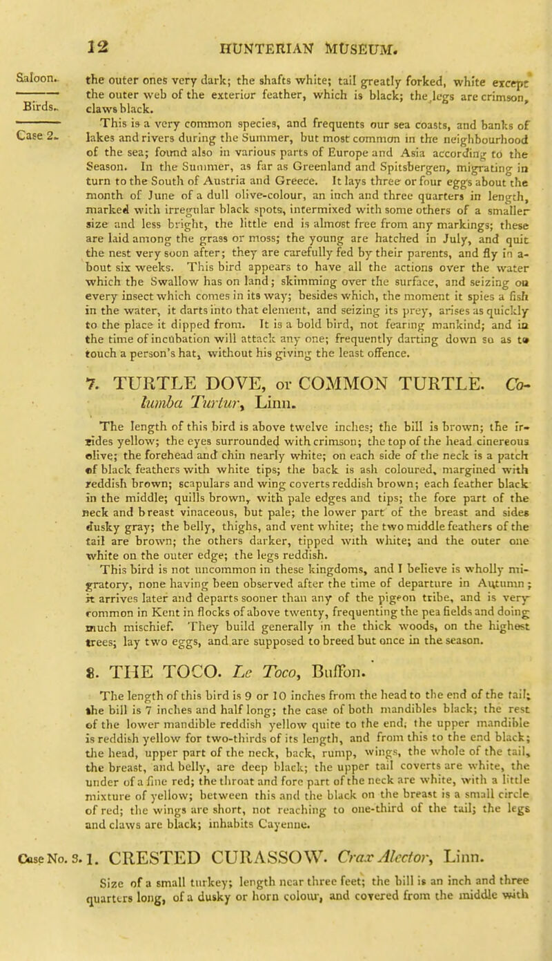 the outer ones very dark; the shafts white; tail greatly forked, white except the outer web of the exterior feather, which is black; the .legs are crimson, claws black. This i9 a very common species, and frequents our sea coasts, and banks of lakes and rivers during the Summer, but most camman in the neighbourhood of the sea; foimd also in various parts of Europe and Asia according to the Season. In the Summer, as far as Greenland and Spitsbergen, migrating in turn to the South of Austria and Greece. It lays three or four egg's about the month of June of a dull olive-colour, an inch and three quarters in length, marked with irregular black spots, intermixed with some others of a smaller size and less bright, the little end is almost free from any markings; these are laid among the grass or moss; the young are hatched in July, and quit the nest very soon after; they are carefully fed by their parents, and fly in a- bout six weeks. This bird appears to have all the actions over the water which the Swallow has on land; skhnming over the surface, and seizing oa every insect which comes in its way; besides which, the moment it spies a fish in the water, it darts into that element, and seizing its prey, arises as quickly to the place it dipped from. It is a bold bird, not fearmg mankind; and ia the time of incubation will attack any one; frequently darting down so as t» touch a person's hat, without his giving the least offence. 7. TURTLE DOVE, or COMMON TURTLE. Co- lumba Tu)iu)\ Linn. The length of this bird is above twelve inches; the bill is brown; the Ir- lides yellow; the eyes surrounded with crimson; the top of the head cinereous elive; the forehead and chin nearly white; on each side of the neck is a patch f)f black feathers with white tips; the back is ash coloured, margined with reddish brown; scapulars and wing coverts reddish brown; each feather black in the middle; quills brown, with pale edges and tips; the fore part of the neck and breast vinaceous, but pale; the lower part of the breast and sides dusky gray; the belly, thighs, and vent white; the two middle feathers of the tail are brown; the others darker, tipped with wliite; and the outer one white on the outer edge; the legs reddish. This bird is not uncommon in these kingdoms, and I believe is wholly mi- gratory, none having been observed after the time of departure in Autumn ; it arrives later and departs sooner than any of the pigeon tribe, and is very rommon in Kent in flocks of above twenty, frequenting the pea fields and doing much mischief. They build generally in the thick woods, on the highest trees; lay two eggs, and are supposed to breed but once in the season. 8. THE TOCO. Le Toco, BufFon.' The length of this bird is 9 or 10 inches from the head to the end of the fail; the bill is 7 inches and half long; the case of both mandibles black; the rest ©f the lower mandible reddish yellow quite to the end; the upper mandible is reddish yellow for two-thirds of its length, and from this to the end black; tlie head, upper part of the neck, back, rump, wings, the whole of the tail, the breast, and belly, are deep black; the upper tail coverts are white, the under of a fine red; the throat and fore part of the neck are white, witli a little mixture of yellow; between this and the black on the breast is a small circle of red; the wings are short, not reaching to one-third of the tail; the legs and claws are black; inhabits Cayenne. Case No. 3.1. CRESTED CURASSOW. CraxAlecfor, Linn. Size of a small turkey; length near three feet; the bill is an inch and three quarters long, of a dusky or horn coloiu', and coTered from the middle with Saloon.. Birds.. Case 2.