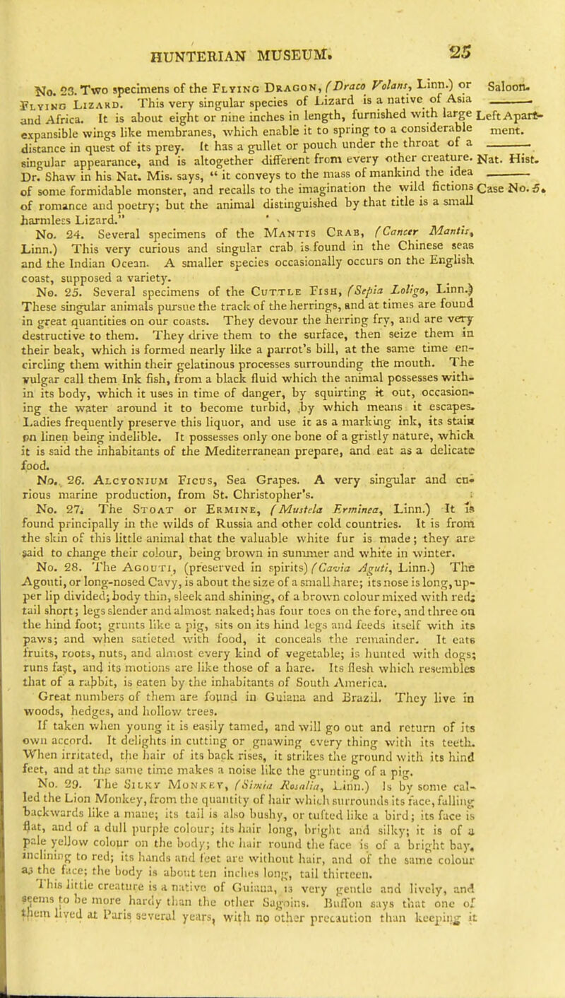 No. 23. Two specimens of the Flying Dragon, (Draco Volans, Lmn.) or Saloon- I'LYiKG Lizard. This very singular species of Lizard is a native of Asia . and Africa. It is about eight or nine inches in length, furnished with large Left Apart- expansible wings like membranes, which enable it to spring to a considerable nient. distance in quest of its prey. It has a gullet or pouch under the throat of a singular appearance, and is altogether different from every other creature. Nat. Hist. Dr. Shaw in his Nat. Mis. says, «' it conveys to the mass of mankind the idea of some formidable monster, and recalls to the imagination the wild fictions Case No. 5» of romance and poetry; but the animal distinguished by that title is a small harmless Lizard. ' • No. 24. Several specimens of the Mantis Crab, fCancer Manth, Linn.) This very curious and singular crab is found in the Chinese seas and the Indian Ocean. A smaller species occasionally occurs on the English coast, supposed a variety. No. 25. Several specimens of the Cuttle Fish, fSejila Lollgo, Linn.) These singular animals pursue the track of the herrings, and at times are found in great quantities on our coasts. They devour the herring fry, and are very destructive to them. They drive them to the surface, then seize them in their beak, which is formed nearly like a parrot's bill, at the same time en- circling them within their gelatinous processes surrounding the mouth. The vulgar call them Ink fish, from a black fluid which the animal possesses with- in its body, which it uses in time of danger, by squirting it out, occasion- ing the water around it to become turbid, .by which means it escapes. Ladies frequently preserve diis liquor, and use it as a marking ink, its stiiiti pn linen being indelible. It possesses only one bone of a gristly nature, which it is said the inhabitants of the Mediterranean prepare, and eat as a delicate food. No., 26. Alcyonium Ficus, Sea Grapes. A very singular and cni rious marine production, from St. Christopher's. No. 27i The Stoat or Ermine, (Mustela Erm'mea, Linn.) It i» found principally in the wilds of Russia and other cold countries. It is from the skin of this little animal that the valuable white fur is made; they are said to change their colour, being brown in sunmier and white in winter. No. 28. The Agouti, (preserved in spirits) ('Ci7i;;'a Agui'i, Linn.) The Agouti, or long-nosed Cavy, is about the size of a small hare; its nose is long, up- per lip divided; body thin, sleek and shining, of a brown colour mixed with red; tail short; legs sle.^der and almost naked; has four toes on the fore, and three on the hind foot; grunts like a pig, sits on its hind legs and feeds itself with its paws; and when sutieted with food, it conceals the remainder. It eate fruits, roots, nuts, and almost every kind of vegetable; is hunted with dogs; runs fa^t, and ita motions are like those of a hare. Its flesh which resembles that of a nifjbit, is eaten by the inhabitants of South America. Great numbers of them are found in Guiana and Brazil. They live in woods, hedges, and hollov/ trees. If taken when young it is easily tamed, and will go oat and return of its own accord. It delights in cutting or gnawing every thing with its teetli. When irritated, the hair of its back rises, it strikes the ground with its hind feet, and at the same time makes a noise like the grunting of a pig. No. 29. The SiLKV Monkey, {Simia Romlia, Linn.) Is by some cal- led the Lion Monkey, from the quantity of hair whit.h surrounds its face, falling ■backwards like a mane; its tail is also bushy, or tufted like a bird; its face i flat, and of a dull purple colour; its hair long, briglit and silky; it is of a pale yellow colour on the body; the hair round tlie face is of a bright bay, inclining to red; its hands and feet are witliout hair, and of the same colour 33 the face; the body is aboi-.t ten inches long, tail thirteen. This little creature is a native of Guiana, is very gentle and lively, and seems to be more hardy than the otlier Sugoins. Jiullon says that one of ^fium hved at Paris several years, with no other precaution than keepiiijj it