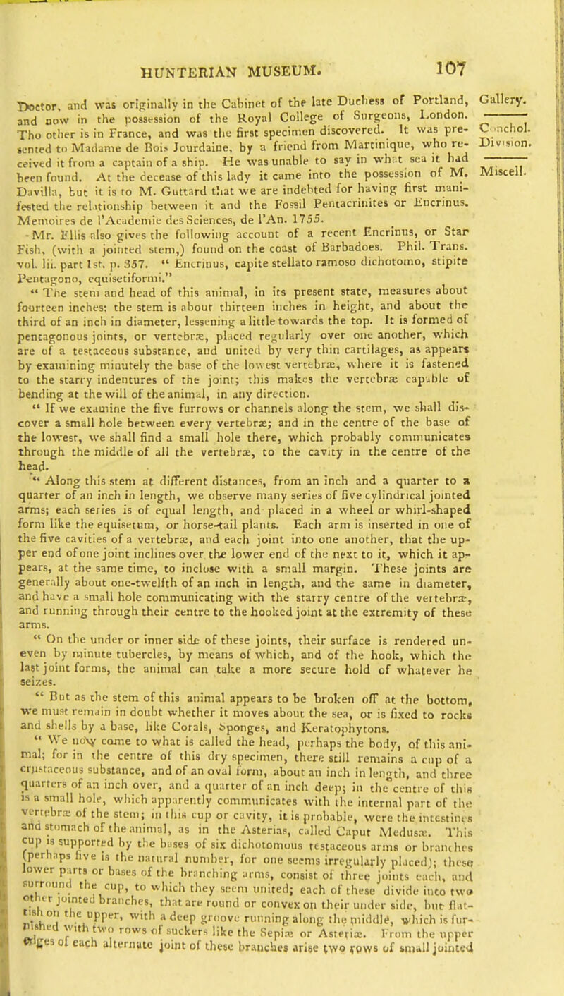 Doctor, and was oripinallv in the Cabinet of the late Duchess of Portland, Gallery. and DOW in the possession of the Royal College of Surgeons, London. —- Tho other is in France, and was the first specimen discovered. It was pre- C ..ichoI. sented to Madame de Bois Jourdaine, by a friend from Martinique, who re- Div.„on. ceived it from a captain of a ship. He was unable to say in whut sea it had — — been found. At the decease of this lady it came into the possession of M. Miscell. Davilla, but it is ro M. Gutlard that we are indebted for having first mani- fested the relationship between it and the Fossil Pentacriuites or Iincrinus. Memoires de I'Academie des Sciences, de I'An. 1755. -Mr. Ellis also gives the following account of a recent Encrinus, or Star Fish, (with a jointed stem,) found on the coast of Barbadoes. Phil. Trans, vol. lil. part Isf. p. 357.  Encrinus, capite stellato ramoso dichotomo, stipite Pentagono, equisetiformi.  The stem and head of this animal, in its present state, measures about fourteen inches; the stem is about thirteen inches in height, and about the third of an inch in diameter, lessening a little towards the top. It is formed of pentagonous joints, or vertcbrx, placed regularly over one another, which are of a testaceous substance, and united by very thin cartilages, as appear* by examining minutely the base of the lowest vertebrx, where it is fastened to the starry indentures of the joint; this makes the vertebras capable of bending at the will of the animal, in any direction.  If we examine the five furrows or channels along the stem, we shall dis- cover a small hole between every vertebra; and in the centre of the base of the lowest, we shall find a small hole there, which probably communicates through the middle of all the vertebra, to the cavity in the centre of the head.  Along this stem at different distances, from an inch and a quarter to a quarter of an inch in length, we observe many series of five cylindrical jointed arms; each series is of equal length, and placed in a wheel or whirl-shaped form like the equisetum, or horse-tail plants. Each arm is inserted in one of the five cavities of a vertebrx, and each joint into one another, that the up- per end of one joint inclines over the lower end of the next to it, which it ap- pears, at the same time, to indtiae with a small margin. These joints are generally about one-twelfth of an inch in length, and the same in diameter, and have a small hole communicating with the starry centre of the vettebrar, and running through their centre to the hooked joint at the extremity of these arms.  On the under or inner side of these joints, their surface is rendered un- even by minute tubercles, by means of which, and of the hook, which the last joint forms, the animal can take a more secure hold of whatever he seizes.  But as the stem of this animal appears to be broken ofF at the bottom, we must remain in doubt whether it moves about the sea, or is fixed to rocks and shells by a base, like Corals, bponges, and Keratophytons.  We no\y came to what is called the head, perhaps the body, of this ani- mal; for in the centre of this dry specimen, there still remains a cup of a crjrstaceous substance, and of an oval form, about an inch in length, and three quarters of an inch over, and a quarter of an inch deep; in the^centre of this 13 a small hole, which apparently communicates with the internal part of the ' venebni; of the stem; in this cup or cavity, it is probable, were the inttstint's and stomach of the animal, as in the Asterias, called Caput Medusx. This cup la supported by the bases of six dichotomous testaceous arms or branches (perhaps five lower parts or surn.und the cup, to which they seom united; each of these divide into two . five is the natural number, for one seems irregularly placed); these lower parts or bases of the bmnching arms, consist of three joints each, and .1 • . . . • ' -/ v/1 UlVlllt IlltU WW oti cr jointed branches, that are round or convex op their under side, hut llat- tisriori the upper, with a deep groove running along the piiddk', vliich is fur- risned with two rows of suckers like the Sepi.x or Asteria:. From the upper Wiges 01 eaph alternate joint of these branche3 arise two vows of imall jointed