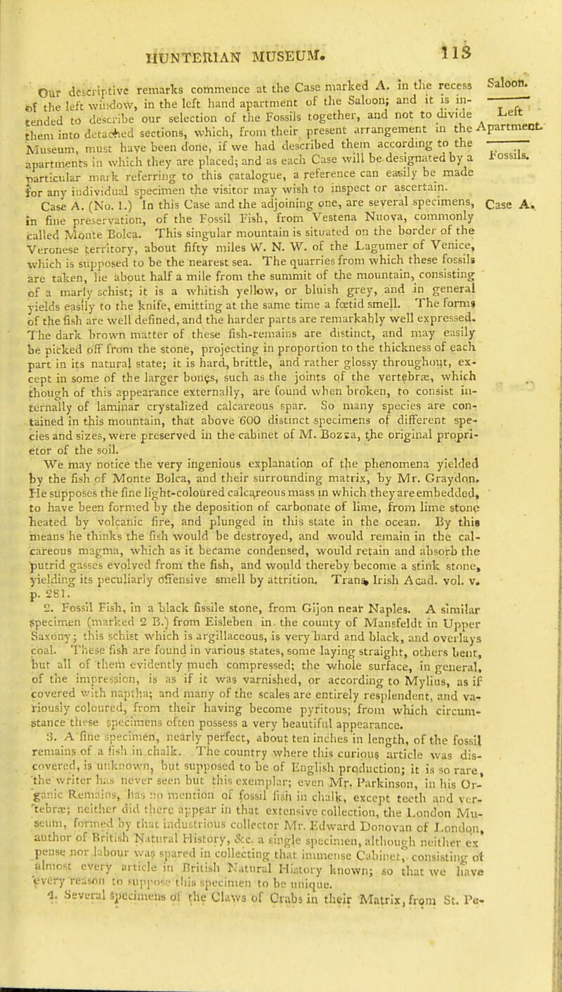 Our descriptive remarks commence at the Case marked A. in the recess Saloon. of the left window, in the left hand apartment of the Saloon; and it is in- - tended to describe our selection of the Fossils together, and not to divide l^elt them into detaohed sections, which, from their present arrangement m the Apartmept. Museum must have been done, if we had described them accordmg to the - —• apartments in which they are placed; and as each Case will be designated by a l^ossils. particular mark referring to this catalogue, a reference can easily be made for any individual specimen the visitor may wish to inspect or ascertain. Case A. (No. 1.) In this Case and the adjoining one, are several specimens. Case A., in fine preservation, of the Fossil Fish, from Vestena Nuova, commonly called Monte Boka. This singular mountain is situated on the border of the Veronese territory, about fifty miles W. N. W. of the Lagumer of Venice, which is supposed to be the nearest sea. The quarries from which these fossils are taken, lie about half a mile from the summit of the mountain, consisting of a marly schist; it is a whitish yellow, or bluish grey, and in general yields easily to the knife, emitting at the same time a foetid smell. The forms of the fish are well defined, and the harder parts are remarkably well expressed. The dark brown matter of these fish-remains are distinct, and may easily be picked off from the stone, projecting in proportion to the thickness of each part in its natural state; it is hard, brittle, and rather glossy throughout, ex- cept in some of the larger bon^s, such as the joints of the yertebrse, which though of this appearance externally, are found when broken, to consist in- ternally of laminar crystalized calcareous spar. So many species are con- tained in this mountain, that above 600 distmct specimens of different spe« cies and sizes, were preserved in the cabinet of M. Bozsa, tjie original propri- etor of the soil. We may notice the very ingenious explanation of the phenomena yielded by the fish of Monte Bolca, and their surrounding matrix, by Mr. Graydon. He supposes the fine light-coloured calcareous mass in which they are embedded. ' to have been formed by the deposition of carbonate of lime, from lime stone heated by volcanic fire, and plunged in this slate in the ocean. By this means he thinks the fish would be destroyed, and would remain in the cal- careous magma, which as it became condensed, would retain and absorb the putrid gasses evolved from the fish, and would thereby become a stink stone, yielding its peculiarly offensive smell by attrition. Tran% Irish Acad. vol. v, p. 281. 2. Fossil Fish, In a black fissile stone, from Gljon near Naples. A similar specimen (marked 2 B.) from Eisleben in. the county of Mansfeldt in Upper Saxony; this schist which is argillaceous, is very hard and black, and overlays i:oal. These fish are found in various states, some laying straight, others bent, but all of them evidently much compressed; the whole surface, in general, of the impression, is as if It was varnished, or according to Mylius, as if covered v.-ith najjlha; and many of the scales are entirely resplendent, and va- riously coloured, from their having become pyritous; from vvliich circum- stance these specimens often possess a very beautiful appearance. :5. A fine specimen, nearly perfect, about ten Inches in length, of the fossil remains of a fish in chalk. The country where this curious article was dis- covered, is unknown, but supposed to be of English production; it is so rare, the writer has never seen but this exemplar; even Mr. Parkinson, in his Or- ganic Remains, has no mention of fossil fish In chalk, except teeth and vcr- 'tebr.T:; neither did there appear in that extensive collection, the London Mu- seum, formed by that industrious collector Mr. Edward Donovan of J.ondqii, author of British hJatural History, &c. a single specimen, although neither ex* pense nor labour was spared in collecting that immense Cabinet^ coiisisting ot almost every article in British Ilatural History known; so that we have ■pvery reason to nippo';.- this specimen to bo unique. <1. Several specimens of the Claws of Grabs in their Matrix, from St. Pc