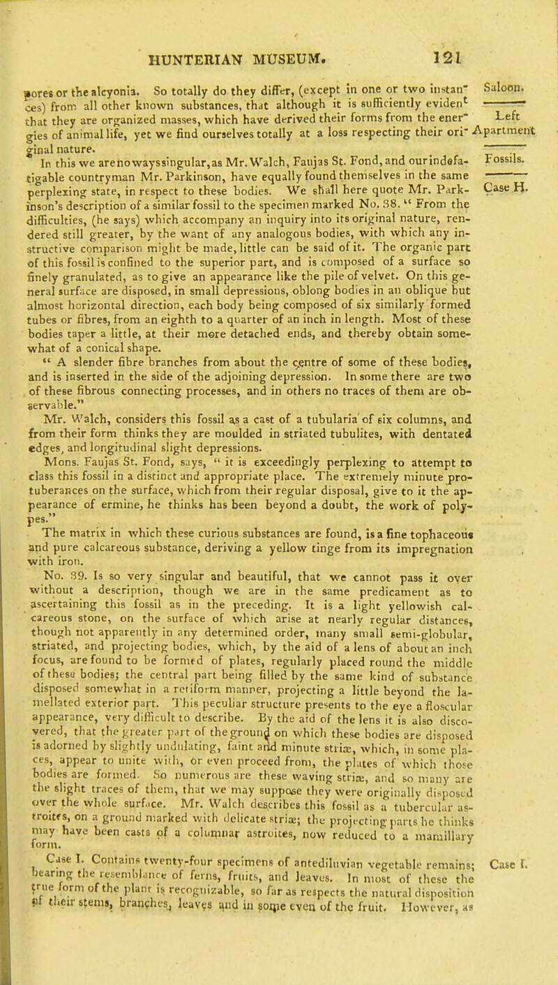 pore« or the alcyonU. So totally do they differ, (except in one or two iiistair Saloon. ces) from all other known substances, thdt although it is sufficiently eviden' r' that they are organized masses, which have derived their forms from the ener Left gies of animal life, yet we find ourselves totally at a loss respecting their ori Apartment ginal nature. _ ~ In this we arenowayssinguIar,as Mr.Walch, Faujas St. Fond, and ourindefa- Fossils. tigable countryman Mr. Parkinson, have equally found themselves in the same perplexing state, in respect to these bodies. We shall here quote Mr. Park- Case H. inson's description of a similar fossil to the specimen marked No. 38. From the difficulties, (he says) which accompany an inquiry into its original nature, ren- dered still greater, by the want of any analogous bodies, with which any in- structive comparison might be made, little can b,e said of it. The organic part of this fossil is confined to the superior part, and is composed of a surface so finely granulated, as to give an appearance like the pile of velvet. On this ge- neral surface are disposed, in small depressions, oblong bodies in an oblique hut almost horizontal direction, each body being composed of six similarly formed tubes or fibres, from an eighth to a quarter of an inch in length. Most of these bodies taper a little, at their mere detached ends, and thereby obtain some- what of a conical shape. A slender fibre branches from about the centre of some of these bodies, and is inserted in the side of the adjoining depression. In some there are two of these fibrous connecting processes, and in others no traces of them are ob- servable. Mr. Walch, considers this fossil as a cast of a tubularia'of six columns, and from their form thinks they are moulded in striated tubulites, with dentated edges, and longitudinal slight depressions. Mons. Faujas St. Fond, says, it is exceedingly perplexing to attempt to class this fossil in a distinct and appropriate place. The extremely minute pro- tuberances on the surface, which from their regular disposal, give to it the ap- pearance of ermine, he thinks has been beyond a doubt, the work of poly- pes. The matrix in which these curious substances are found, is a fine tophaceoii* and pure calcareous substance, deriving a yellow tinge from its impregnation with iron. No. 39. Is so very singular and beautiful, that we cannot pass it oyer without a description, though we are in the same predicament as to ascertaining this fossil as in the preceding. It is a ligiit yellowish cal- careous stone, on the surface of which arise at nearly regular distances, though not apparently in .iny determined order, many small semi-globular, striated, and projecting bodies, which, by the aid of a lens of aboutan inch focus, are found to be fornifd of plates, regularly placed round the middle ofthesu bodies; the central pan being filled by the same kind of substance disposed somewhat in a retifotm manner, projecting a little beyond the la- niellated exterior part. This pecuhar structure presents to the eye a flo.scular appearance, very difficult to describe. By the aid of the lens it is also disco- vered, that thej^reattr part of thegroinid on which these bodies are disposed is adorned hy slightly undulating, faint aiid minute suix, which, in sonic pla- ces, appear to unite with, or even proceed from, the plates of which those bodies are formed. .So nuniirous are these waving stria;, and so many are the slight traces of them, that we may suppose they were originally disposed over the whole surface. Mr. Walch describes this fossil as a tubercular as- troitf s, on a ground marked with delicate stria:; the projecting parts he tliinks may have been casts of a columnar astroites, now reduced to a mamillary form. ^ Case I. Contains twenty-four specimens of antediluvian vegetable remains; Case [. bearing the resemhianre of ferns, fruits, and leaves. In most of these the true form of the plant is recognizable, so far as respects the natural dispositi Ht their 6{eni8, branfhes, leaves ^«d in soipe even of the fruit. However, tion