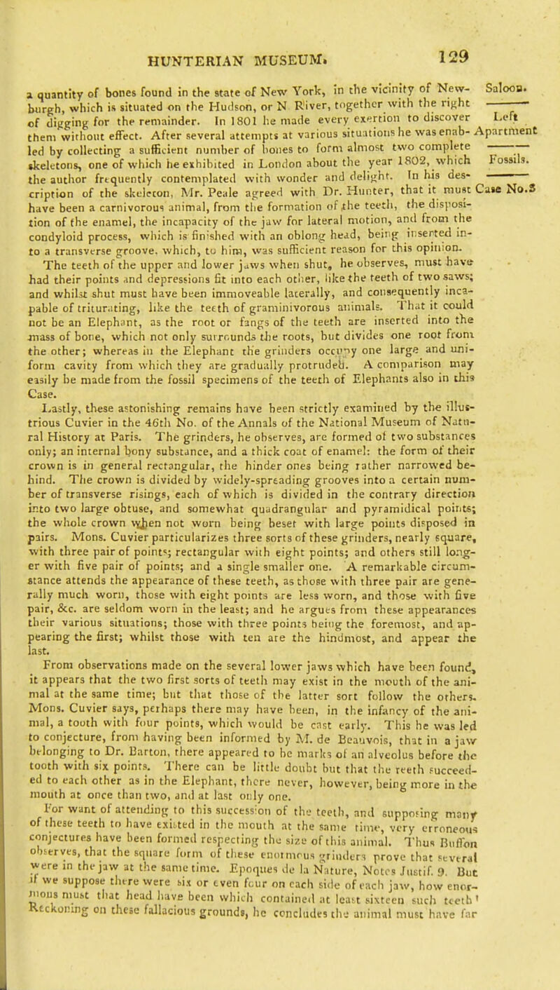 a quantity of bones found in the state of New York, \n the vicinity of New- Saloon. btirgh, which is situated on the Hudson, or N River, together with the ri^ht of diuging for the remainder. In 1801 he made every exertion to discover Left them without effect. After several attempts at various situations he wasenab- Apartment led by collecting a sufficient number of bones to form almost two complete skeletons, one of which he exhibited in London about the year 1802, which Fossils, the author frequently contemplated with wonder and delight. In his des- —— cription of the skeleton, Mr. Peale agreed with Dr. Hunter, that it must Case No.S have been a carnivorous animal, from the formation of ^he teeth, the disposi- tion of the enamel, the incapacity of the jaw for lateral motion, and from the condyloid process, which is finished with an oblong head, being inserted in- to a transverse groove, which, tu him, was sufficient reason for this opinion. The teeth of the upper and lower jaws when shut, he observes, must have had their points and depressions fit into each otiier, like the teeth of two saws; and whiht shut must have been immoveable laterally, and consequently inca- pable of trituniting, like the teeth of graminivorous aiiimals. That it could not be an Elephunt, as the root or fangs of the teeth are inserted into the jnass of bone, which net only suirr.unds the roots, but divides one root from the other; whereas in the Elephant the grinders occv,?y one large and uni- form cavity from which they are gradually protrudeb. A comparison may easily be made from the fossil specimens of the teetli of Elephants also in this Case. I^astly, these astonishing remains have been strictly examined by the ill-ut- trious Cuvier in the 46th No. of the Annals of the National Museum of Natu- ral History at Paris. The grinders, he observes, are formed of two substances only; an internal bony substance, and a thick coat of enamel: the form of their crown is in general rectangular, the hinder ones being rather narrowed be- hind. The crown is divided by widely-spreading grooves into a certain num- ber of transverse risings, each of which is divided in the contrary direction ir.to two large obtuse, and somewhat quadrangular and pyramidical points; the whole crown vyjien not worn being beset with large points disposed in pairs. Mons. Cuvier particularizes three sorts of these grinders, nearly square, with three pair of point'; rectangular wiih eight points; and others still lo.ng- er with five pair of points; and a single smaller one. A remarkable circum- stance attends the appearance of these teeth, as those with three pair are gene- rally much worn, those with eight points are less worn, and those with five pair, &c. are seldom worn in the least; and he argues from these appearances their various situations; those with three points being the foremost, and ap- pearing the first; whilst those with ten are the hindmost, and appear the last. From observations made on the several lower jaws which have been found, it appears that the two first sorts of teeth may exist in the mouth of the ani- mal at the same time; but that those of the latter sort follow the others. Mons. Cuvier says, perhaps there may have been, in the infancy of the ani- mal, a tooth with four points, which would be cast early. This he was led to conjecture, from having been informed by M. de Beauvois, that in a jaw belonging to Dr. Barton, there appeared to be marks of an alveolus before the tooth with six points. There can be little doubt but that the teeth fucceed- ed to each other as in the Elephant, there never, however, being more in the mouth at once than two, and at last only one. For want of attending to this success-on of the teeth, and supporing mai)f of these teeth to have txiued in the mouth at the same time, very erroneous conjectures have been formed respecting the size of this animal. Thus Biiflon P .  ii'>-ii (.oiiiaiiieii at icast sixteen sucli tcetti' Keckonng on these fallacious grounds, he concludes tlv.- animal must have far