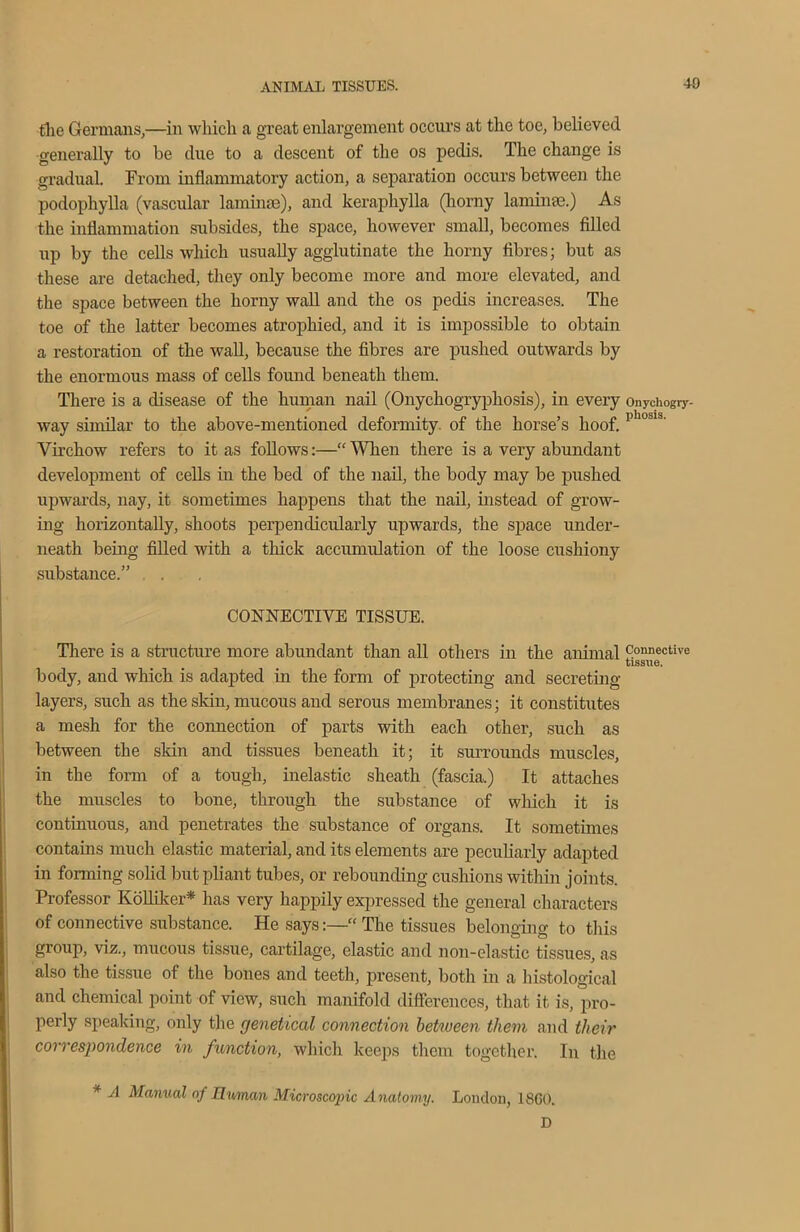 the Germans,—in which a great enlargement occurs at the toe, believed generally to be due to a descent of the os pedis. The change is gradual. From inflammatory action, a separation occurs between the podophylla (vascular laminae), and keraphylla (horny laminae.) As the inflammation subsides, the space, however small, becomes filled up by the cells which usually agglutinate the horny fibres; but as these are detached, they only become more and more elevated, and the space between the horny wall and the os pedis increases. The toe of the latter becomes atrophied, and it is impossible to obtain a restoration of the wall, because the fibres are pushed outwards by the enormous mass of cells found beneath them. There is a disease of the human nail (Onychogrypliosis), in every onychogry- way similar to the above-mentioned deformity, of the horse’s hoof. phosls' Virchow refers to it as follows:—“ When there is a very abundant development of cells in the bed of the nail, the body may be pushed upwards, nay, it sometimes happens that the nail, instead of grow- ing horizontally, shoots perpendicularly upwards, the space under- neath being filled with a thick accumulation of the loose cushiony substance.” CONNECTIVE TISSUE. There is a structure more abundant than all others in the animal Connective tissue. body, and which is adapted in the form of protecting and secreting layers, such as the skin, mucous and serous membranes; it constitutes a mesh for the connection of parts with each other, such as between the skin and tissues beneath it; it surrounds muscles, in the form of a tough, inelastic sheath (fascia.) It attaches the muscles to bone, through the substance of which it is continuous, and penetrates the substance of organs. It sometimes contains much elastic material, and its elements are peculiarly adapted in forming solid but pliant tubes, or rebounding cushions within joints. Professor Kolliker* has very happily expressed the general characters of connective substance. He says:—“ The tissues belonging to this group, viz., mucous tissue, cartilage, elastic and non-elastic tissues, as also the tissue of the bones and teeth, present, both in a histological and chemical point of view, such manifold differences, that it is, pro- perly speaking, only the genetical connection between them and their correspondence in function, which keeps them together. In the * A Manual of Unman Microscopic Anatomy. London, 18GO. D