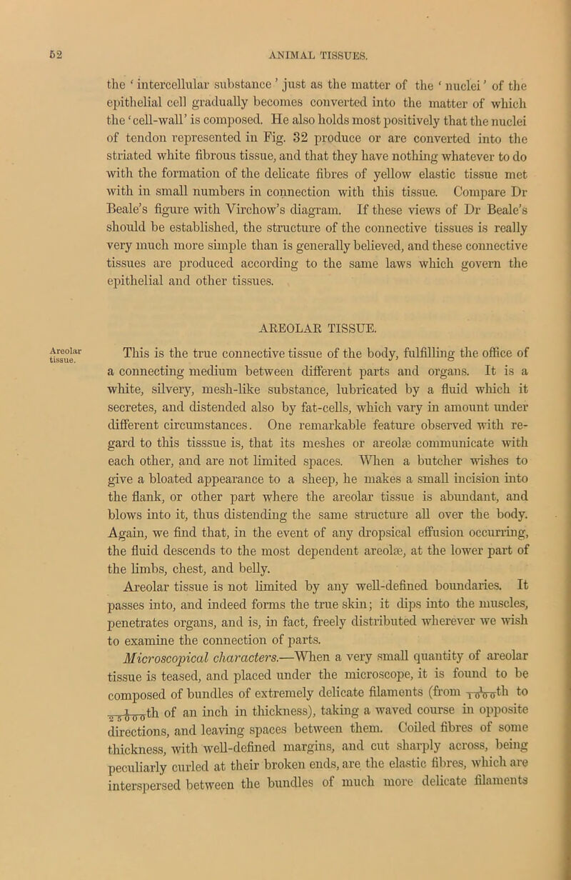 Areolar tissue. the ‘ intercellular substance ’ just as the matter of the ‘ nuclei ’ of the epithelial cell gradually becomes converted into the matter of which the ‘ cell-wall’ is composed. He also holds most positively that the nuclei of tendon represented in Fig. 32 produce or are converted into the striated white fibrous tissue, and that they have nothing whatever to do with the formation of the delicate fibres of yellow elastic tissue met with in small numbers in connection with this tissue. Compare Dr Beale’s figure with Virchow’s diagram. If these views of Dr Beale’s should be established, the structure of the connective tissues is really very much more simple than is generally believed, and these connective tissues are produced according to the same laws which govern the epithelial and other tissues. AREOLAR TISSUE. This is the true connective tissue of the body, fulfilling the office of a connecting medium between different parts and organs. It is a white, silvery, mesh-like substance, lubricated by a fluid which it secretes, and distended also by fat-cells, which vary in amount under different circumstances. One remarkable feature observed with re- gard to this tisssue is, that its meshes or areolas communicate with each other, and are not limited spaces. When a butcher wishes to give a bloated appearance to a sheep, he makes a small incision into the flank, or other part where the areolar tissue is abundant, and blows into it, thus distending the same structure all over the body. Again, we find that, in the event of any dropsical effusion occurring, the fluid descends to the most dependent areolae, at the lower part of the limbs, chest, and belly. Areolar tissue is not limited by any well-defined boundaries. It passes into, and indeed forms the true skin; it dips into the muscles, penetrates organs, and is, hi fact, freely distributed wherever we wish to examine the connection of parts. Microscopical characters.—When a very small quantity of areolar tissue is teased, and placed under the microscope, it is found to be composed of bundles of extremely delicate filaments (from xuVuth to i u uth of an inch in thickness), taking a waved course in opposite directions, and leaving spaces between them. Coiled fibres of some thickness, with well-defined margins, and cut sharply across, being peculiarly curled at their broken ends, are the elastic fibres, which are interspersed between the bundles of much more delicate filaments