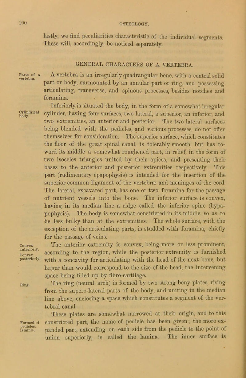 Farts of a vertebra. Cylindrical body. Convex anteriorly. Convex posteriorly. Ring. Formed of pedicles, laminse, lastly, we find peculiarities characteristic of the individual segments. These will, accordingly, be noticed separately. GENERAL CHARACTERS OE A VERTEBRA. A vertebra is an irregularly quadrangular bone, with a central solid part or body, surmounted by an annular part or ring, and possessing articulating, transverse, and spinous processes, besides notches and foramina. Inferiorly is situated the body, in the form of a somewhat irregular cylinder, having four surfaces, two lateral, a superior, an inferior, and two extremities, an anterior and posterior. The two lateral surfaces being blended with the pedicles, and various processes, do not offer themselves for consideration. The superior surface, which constitutes the floor of the great spinal canal, is tolerably smooth, but has to- ward its middle a somewhat roughened part, in relief, in the form of two isoceles triangles united by their apices, and presenting their bases to the anterior and posterior extremities respectively. This part (rudimentary epapophysis) is intended for the insertion of the superior common ligament of the vertebrae and meninges of the cord. The lateral, excavated part, has one or two foramina for the passage of nutrient vessels into the bone. The inferior surface is convex, having in its median line a ridge called the inferior spine (liypa- pophysis). The body is somewhat constricted in its middle, so as to be less bulky than at the extremities. The whole surface, with the exception of the articulating parts, is studded with foramina, chiefly for the passage of veins. The anterior extremity is convex, being more or less prominent, according to the region, while the posterior extremity is furnished with a concavity for articulating with the head of the next bone, but larger than would correspond to the size of the head, the intervening space being filled up by fibro-cartilage. The ring (neural arch) is formed by two strong bony plates, rising from the supero-lateral parts of the body, and uniting in the median line above, enclosing a space which constitutes a segment of the ver- tebral canal. These plates are somewhat narrowed at their origin, and to this constricted part, the name of pedicle has been given; the more ex- panded part, extending on each side from the pedicle to the point of union superiorly, is called the lamina. The inner sui’face is