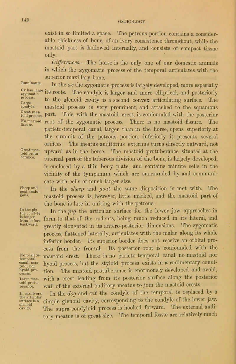 OSTEOLOGY. Ruminants. Ox has large •*.„ rnr t zygomatic u'b tOOLb. process. Large condyle. Great mas- toid protu- berance. exist in so limited a space. The petrous portion contains a consider- able thickness of bone, of an ivory consistence throughout, while the mastoid part is hollowed internally, and consists of compact tissue only. Differences.—The horse is the only one of our domestic animals in which the zygomatic process of the temporal articulates with the superior maxillary bone. In the ox the zygomatic process is largely developed, more especially The condyle is larger and more elliptical, and posteriorly to the glenoid cavity is a second convex articulating surface. The mastoid process is very prominent, and attached to the squamous toki process, part. This, with the mastoid crest, is confounded with the posterior No mastoid r0ot of the zygomatic process. There is no mastoid fissure. The parieto-temporal canal, larger than in the horse, opens superiorly at the summit of the petrous portion, inferiorly it presents several orifices. The meatus auditorius externus turns directly outward, not upward as in the horse. The mastoid protuberance situated at the internal part of the tuberous division of the bone, is largely developed, is enclosed by a thin bony plate, and contains minute cells in the vicinity of the tympanum, which are surrounded by and communi- cate with cells of much larger size. In the sheep and goat the same disposition is met with. The mastoid process is, however, little marked, and the mastoid part of the bone is late in uniting with the petrous. In the pig the articular surface for the lower jaw approaches in form to that of the rodents, being much reduced in its lateral, and greatly elongated in its antero-posterior dimensions. The zygomatic process, flattened laterally, articulates with the malar along its whole inferior border. Its superior border does not receive an orbital pro- cess from the frontal. Its posterior root is confounded with the temporal40- mast°i(i crest. There is no parieto-temporal canal, no mastoid nor hyoid process, but the styloid process exists in a rudimentary condi- tion. The mastoid protuberance is enormously developed and ovoid, with a crest leading from its posterior surface along the posterior wall of the external auditory meatus to join the mastoid crests. In the dog and cat the condyle of the temporal is replaced by a simple glenoid cavity, corresponding to the condyle of the lower jaw. The supra-condyloid process is hooked forward. The external audi- tory meatus is of great size. The temporal fossae are relatively much Sheep and goat analo- gous. In the pig the condyle is longer from before backward. canal, mas- toid, nor hyoid pro- cesses. Large mas- toid protu- berance. In carnivora the articular surface is a glenoid cavity.