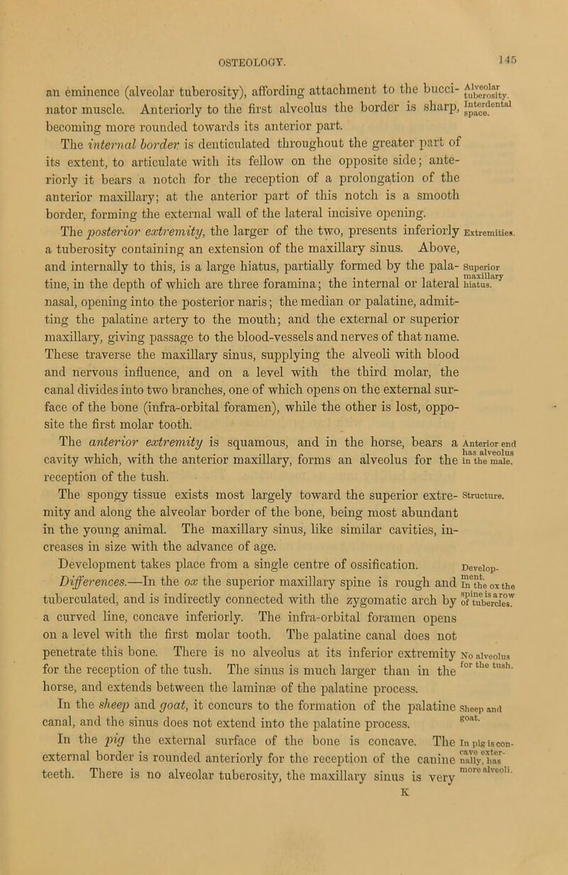 ] 45 an eminence (alveolar tuberosity), affording attachment to the bucci- ^u1,(™^irty nator muscle. Anteriorly to the first alveolus the border is sharp, ^^lcnl'al becoming more rounded towards its anterior part. The internal border, is denticulated throughout the greater part of its extent, to articulate with its fellow on the opposite side; ante- riorly it bears a notch for the reception of a prolongation of the anterior maxillary; at the anterior part of this notch is a smooth border, forming the external wall of the lateral incisive opening. The posterior extremity, the larger of the two, presents interiorly Extremities, a tuberosity containing an extension of the maxillary sinus. Above, and internally to this, is a large hiatus, partially formed by the pala- superior tine, in the depth of which are three foramina; the internal or lateral hiatus!'13 nasal, opening into the posterior naris; the median or palatine, admit- ting the palatine artery to the mouth; and the external or superior maxillary, giving passage to the blood-vessels and nerves of that name. These traverse the maxillary sinus, supplying the alveoli with blood and nervous influence, and on a level with the third molar, the canal divides into two branches, one of which opens on the external sur- face of the bone (infra-orbital foramen), while the other is lost, oppo- site the first molar tooth. The anterior extremity is squamous, and in the horse, bears a Anterior end • has alveolus cavity which, with the anterior maxillary, forms an alveolus for the in the male, reception of the tush. The spongy tissue exists most largely toward the superior extre- structure, mity and along the alveolar border of the bone, being most abundant in the young animal. The maxillary sinus, like similar cavities, in- creases in size with the advance of age. Development takes place from a single centre of ossification. Deveiop- Differences.—In the ox the superior maxillary spine is rough and nuheoxthe tuberculated, and is indirectly connected with the zygomatic arch by ofTuWdes' a curved line, concave interiorly. The infra-orbital foramen opens on a level with the first molar tooth. The palatine canal does not penetrate this bone. There is no alveolus at its inferior extremity n0 alveolus for the reception of the tush. The sinus is much larger than in the for tho tush' horse, and extends between the laminae of the palatine process. In the sheep and goat, it concurs to the formation of the palatine sheep and canal, and the sinus does not extend into the palatine process. In the pig the external surface of the bone is concave. The in pig is con external border is rounded anteriorly for the reception of the canine nany?hns teeth. There is no alveolar tuberosity, the maxillary sinus is very n’oro'',hcoh