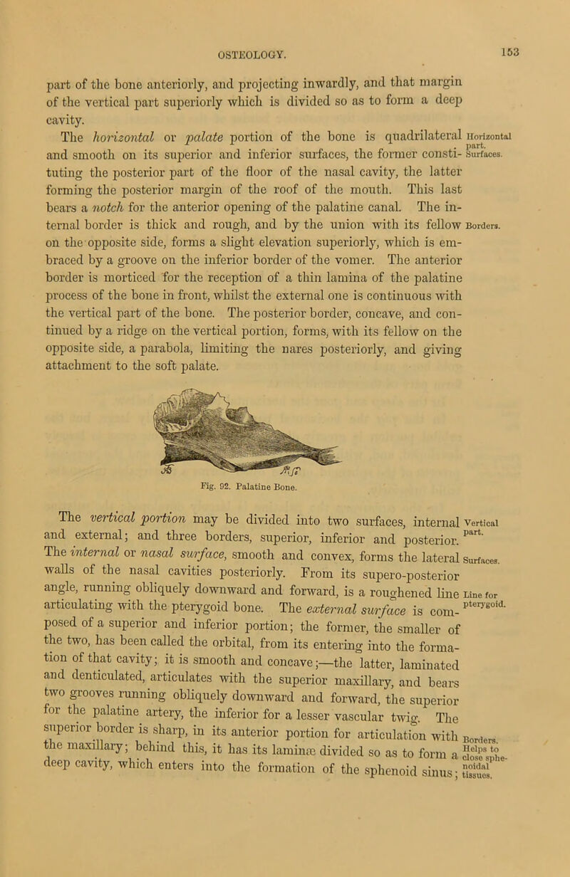 part of the bone anteriorly, ancl projecting inwardly, and that margin of the vertical part superiorly which is divided so as to form a deep cavity. The horizontal or 'palate portion of the bone is quadrilateral Horizontal and smooth on its superior and inferior surfaces, the former consti- surfaces, tuting the posterior part of the floor of the nasal cavity, the latter forming the posterior margin of the roof of the mouth. This last bears a notch for the anterior opening of the palatine canal. The in- ternal border is thick and rough, and by the union with its fellow Borders, on the opposite side, forms a slight elevation superiorly, which is em- braced by a groove on the inferior border of the vomer. The anterior border is morticed for the reception of a thin lamina of the palatine process of the bone in front, whilst the external one is continuous with the vertical part of the bone. The posterior border, concave, and con- tinued by a ridge on the vertical portion, forms, with its fellow on the opposite side, a parabola, limiting the nares posteriorly, and giving attachment to the soft palate. The vertical portion may be divided into two surfaces, internal vertical and external; and three borders, superior, inferior and posterior. Part’ The internal or nasal surface, smooth and convex, forms the lateral Surfaces, walls of the nasal cavities posteriorly. From its supero-posterior angle, running obliquely downward and forward, is a roughened line Line for articulating with the pterygoid bone. The external surface is com- pterygoid’ posed of a superior and inferior portion; the former, the smaller of the two, has been called the orbital, from its entering into the forma- tion of that cavity; it is smooth and concave;—the latter, laminated and denticulated, articulates with the superior maxillary, and bears two grooves running obliquely downward and forward, the superior or the palatine artery, the inferior for a lesser vascular twig. The superior border is sharp, in its anterior portion for articulation with Borders, the maxillary; behind this, it has its laminm divided so as to form a “SSmL deep cavity, which enters into the formation of the sphenoid sinus; ^