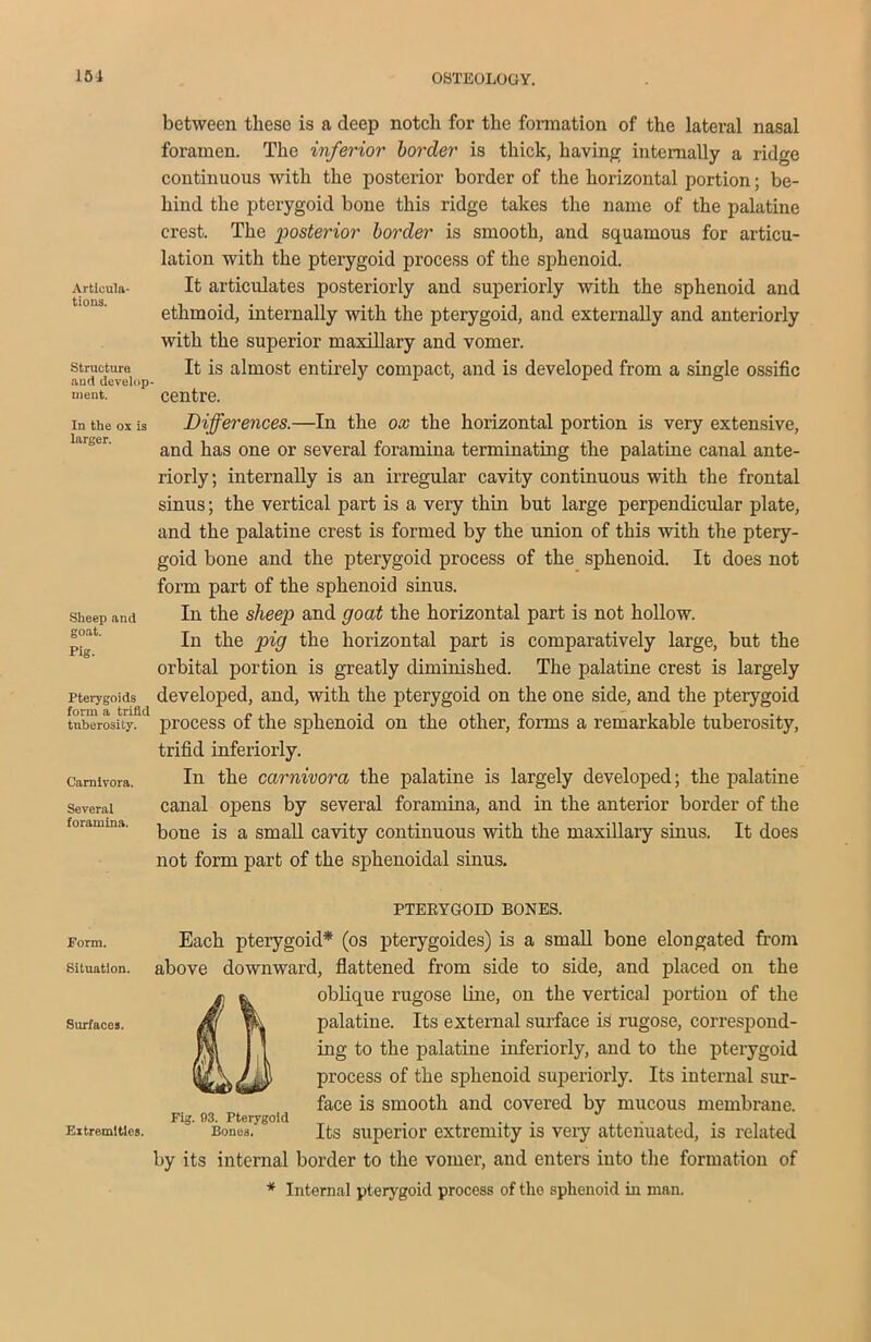 Articula- tions. Structure and develop- ment. In the ox is larger. Sheep and goat. Pig. Pterygoids form a trifld tuberosity. Carnivora. Several foramina. between these is a deep notch for the formation of the lateral nasal foramen. The inferior border is thick, having internally a ridge continuous with the posterior border of the horizontal portion; be- hind the pterygoid bone this ridge takes the name of the palatine crest. The posterior border is smooth, and squamous for articu- lation with the pterygoid process of the sphenoid. It articulates posteriorly and superiorly with the sphenoid and ethmoid, internally with the pterygoid, and externally and anteriorly with the superior maxillary and vomer. It is almost entirely compact, and is developed from a single ossific centre. Differences.—In the ox the horizontal portion is very extensive, and has one or several foramina terminating the palatine canal ante- riorly; internally is an irregular cavity continuous with the frontal sinus; the vertical part is a very thin but large perpendicular plate, and the palatine crest is formed by the union of this with the ptery- goid bone and the pterygoid process of the sphenoid. It does not form part of the sphenoid sinus. In the sheep and goat the horizontal part is not hollow. In the pig the horizontal part is comparatively large, but the orbital portion is greatly diminished. The palatine crest is largely developed, and, with the pterygoid on the one side, and the pterygoid process of the sphenoid on the other, forms a remarkable tuberosity, trifid interiorly. In the carnivora the palatine is largely developed; the palatine canal opens by several foramina, and in the anterior border of the bone is a small cavity continuous with the maxillary sinus. It does not form part of the sphenoidal sinus. PTERYGOID BONES. Form. Each pterygoid* (os pterygoides) is a small bone elongated from situation, above downward, flattened from side to side, and placed on the j- * oblique rugose line, on the vertical portion of the Surfaces. ai tk palatine. Its external surface is rugose, correspond- M I \ ing to the palatine interiorly, and to the pterygoid t process of the sphenoid superiorly. Its internal sur- face is smooth and covered by mucous membrane. Fig. 93. Pterygoid . . ... Extremities. Bones. Its superior extremity is very attenuated, is related by its internal border to the vomer, and enters into the formation of * Internal pterygoid process of the sphenoid in man.