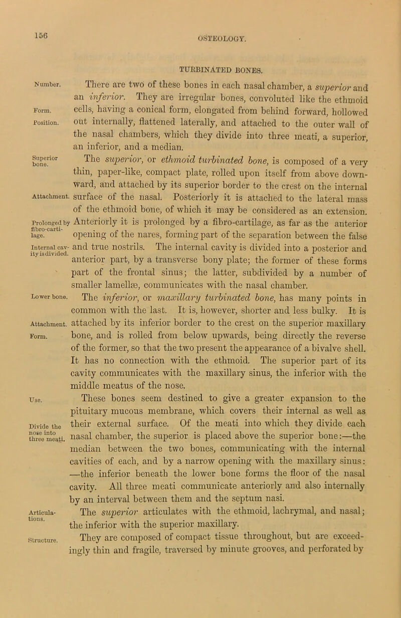 OSTEOLOGY. TURBINATED BONES. Number. There are two of these bones in each nasal chamber, a superior and an inferior. They are irregular bones, convoluted like the ethmoid Form. cells, having a conical form, elongated from behind forward, hollowed Position. out internally, flattened laterally, and attached to the outer wall of the nasal chambers, which they divide into three meati, a superior, an inferior, and a median. bonerior The suPGrior> or ethmoid turbinated bone, is composed of a very thin, paper-like, compact plate, rolled upon itself from above down- ward, and attached by its superior border to the crest on the internal Attachment, surface of the nasal. Posteriorly it is attached to the lateral mass of the ethmoid bone, of which it may be considered as an extension. Prolonged by Anteriorly it is prolonged by a fibro-cartilage, as far as the anterior lage0 t,u opening of the nares, forming part of the separation between the false internal cav- and true nostrils. The internal cavity is divided into a posterior and ity is divided. . 1 anterior part, by a transverse bony plate; the former of these forms part of the frontal sinus; the latter, subdivided by a number of smaller lamellie, communicates with the nasal chamber. Lower bone. The inferior, or maxillary turbinated bone, has many points in common with the last. It is, however, shorter and less bulky. It is Attachment, attached by its inferior border to the crest on the superior maxillary Form. bone, and is rolled from below upwards, being directly the reverse of the former, so that the two present the appearance of a bivalve shell. It has no connection with the ethmoid. The superior part of its cavity communicates with the maxillary sinus, the inferior with the middle meatus of the nose. Use. These bones seem destined to give a greater expansion to the pituitary mucous membrane, which covers their internal as well as Divide the their external surface. Of the meati into which they divide each three'meati. nasal chamber, the superior is placed above the superior bone:—the median between the two bones, communicating with the internal cavities of each, and by a narrow opening with the maxillary sinus: —the inferior beneath the lower bone forms the floor of the nasal cavity. All three meati communicate anteriorly and also internally by an interval between them and the septum nasi. Articuia- The superior articulates with the ethmoid, lachrymal, and nasal; the inferior with the superior maxillary, structure. They are composed of compact tissue throughout, but arc exceed- ingly thin and fragile, traversed by minute grooves, and perforated by