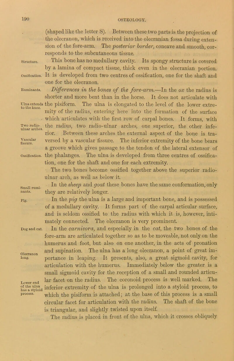 Structure. Ossification. Rum inants. Ulna extends to the knee. Two radio- ulnar arches. Vascular fissure. Ossification. Small rumi- nants. Pig. Dog and cat. Olecranon long. Lower end of the ulna has a styloid process. (shaped like the letter S). Between these two parts is the projection of the olecranon, which is received into the olecranian fossa during exten- sion of the fore-arm. The posterior border, concave and smooth, cor- responds to the subcutaneous tissue. This bone has no medullary cavity. Its spongy structure is covered by a lamina of compact tissue, thick even in the olecranian portion. It is developed from two centres of ossification, one for the shaft and one for the olecranon. Differences in the bones of the fore-arm.—In the ox the radius is shorter and more bent than in the horse. It does not articulate with the pisiform. The ulna is elongated to the level of the lower extre- mity of the radius, entering here into the formation of the surface which articulates with the first row of carpal bones. It forms, with the radius, two radio-ulnar arches, one superior, the other infe- rior. Between these arches the external aspect of the bone is tra- versed by a vascular fissure. The inferior extremity of the bone bears a groove which gives passage to the tendon of the lateral extensor of the phalanges. The ulna is developed from three centres of ossifica- tion, one for the shaft and one for each extremity. The two bones become ossified together above the superior radio- ulnar arch, as well as below it. In the sheep and goat these bones have the same conformation, only they are relatively longer. In the pig the ulna is a large and important bone, and is possessed of a medullary cavity. It forms part of the carpal articular sin-face, and is seldom ossified to the radius with wliich it is, however, inti- mately connected. The olecranon is very prominent. In the carnivora, and especially in the cat, the two bones of the fore-arm are articulated together so as to be moveable, not only on the humerus and foot, but also on one another, in the acts of pronation and supination. The ulna has a long olecranon, a point of great im- portance in leaping. It presents, also, a great sigmoid cavity, for articulation with the humerus. Immediately below the greater is a small sigmoid cavity for the reception of a small and rounded articu- lar facet on the radius. The coronoid process is well marked. The inferior extremity of the ulna is prolonged into a styloid process, to which the pisiform is attached; at the base of this process is a small circular facet for articulation with the radius. The shaft of the bone is triangular, and slightly twisted upon itself. The radius is placed in front of the ulna, which it crosses obliquely