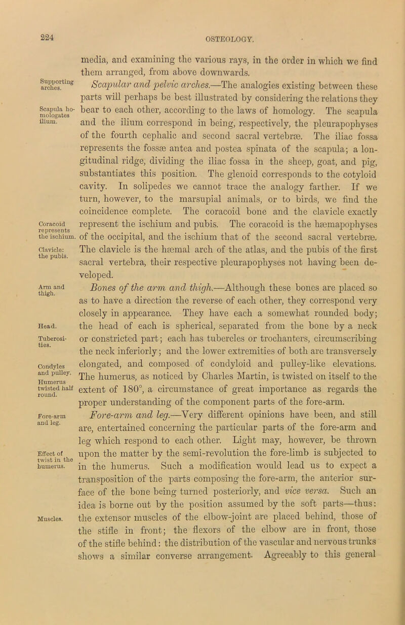 Supporting arches. Scapula ho- mologates ilium. Coracoid represents the ischium. Clavicle: the pubis. Arm and thigh. Head. Tuberosi- ties. Condyles and pulley. Humerus twisted half round. Fore-arm and leg. Effect of twist in the humerus. Muscles. media, and examining the various rays, in the order in which we find them arranged, from above downwards. Scapular and pelvic arches.—The analogies existing between these parts will perhaps be best illustrated by considering the relations they bear to each other, according to the laws of homology. The scapula and the ilium correspond in being, respectively, the pleurapophyses of the fourth cephalic and second sacral vertebrae. The iliac fossa represents the fossae antea and postea spinata of the scapula; a lon- gitudinal ridge, dividing the iliac fossa in the sheep, goat, and pig, substantiates this position. The glenoid corresponds to the cotyloid cavity. In solipedes we cannot trace the analogy farther. If we turn, however, to the marsupial animals, or to birds, we find the coincidence complete. The coracoid bone and the clavicle exactly represent the ischium and pubis. The coracoid is the hsemapophyses of the occipital, and the ischium that of the second sacral vertebrae. The clavicle is the haemal arch of the atlas, and the pubis of the first sacral vertebra, their respective pleurapophyses not having been de- veloped. Bones of the arm and thigh.—Although these bones are placed so as to have a direction the reverse of each other, they correspond very closely in appearance. They have each a somewhat rounded body; the head of each is spherical, separated from the bone by a neck or constricted part; each has tubercles or trochanters, circumscribing the neck interiorly; and the lower extremities of both are transversely elongated, and composed of condyloid and pulley-like elevations. The humerus, as noticed by Charles Martin, is twisted on itself to the extent of 180°, a circumstance of great importance as regards the proper understanding of the component parts of the fore-arm. Fore-arm and leg.—Very different opinions have been, and still are, entertained concerning the particular parts of the fore-arm and leg which respond to each other. Light may, however, be thrown upon the matter by the semi-revolution the fore-limb is subjected to in the humerus. Such a modification would lead us to expect a transposition of the parts composing the fore-arm, the anterior sur- face of the bone being turned posteriorly, and vice versa. Such an idea is borne out by the position assumed by the soft parts—thus: the extensor muscles of the elbow-joint are placed behind, those of the stifle in front; the flexors of the elbow are in front, those of the stifle behind: the distribution of the vascular and nervous trunks shows a similar converse arrangement. Agreeably to this general