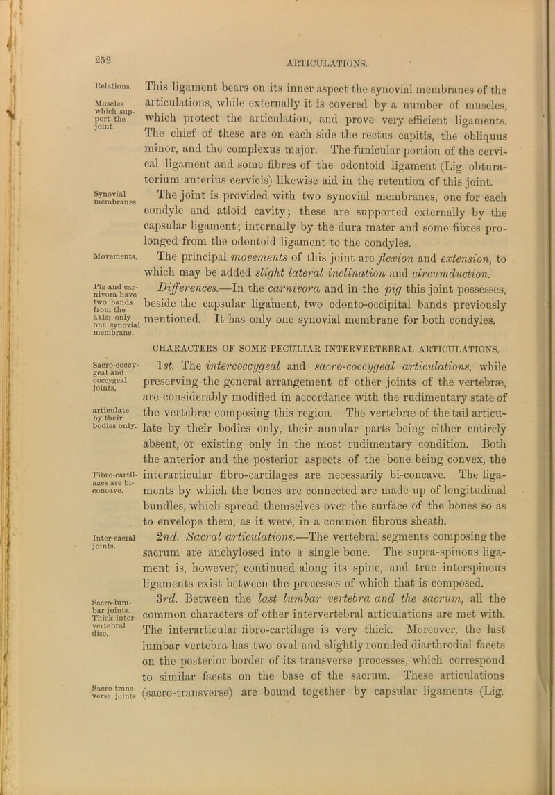 Relations. Muscles which sup- port the joint. Synovial membranes. Movements. Pig and car- nivora have two bands from the axis; only one synovial membrane; lliis ligament bears on its inner aspect the synovial membranes of the articulations, while externally it is covered by a number of muscles, which protect the articulation, and prove very efficient ligaments. The chief of these are on each side the rectus capitis, the obliquus minor, and the complexus major. The funicular portion of the cervi- cal ligament and some fibres of the odontoid ligament (Lig. obtura- torium anterius cervicis) likewise aid in the retention of this joint. The joint is provided with two synovial membranes, one for each condyle and atloid cavity; these are supported externally by the capsular ligament; internally by the dura mater and some fibres pro- longed from the odontoid ligament to the condyles. The principal movements of this joint are flexion and extension, to which may be added slight lateral inclination and circumduction. Differences.—In the carnivora and in the pig this joint possesses, beside the capsular ligament, two odonto-occipital bands previously mentioned. It has only one synovial membrane for both condyles. CHARACTERS OP SOME PECULIAR INTERVERTEBRAL ARTICULATIONS. geai and°cy The inter coccygeal and sacro-coccygeal articulations, while Sgeal preserving the general arrangement of other joints of the vertebrae, are considerably modified in accordance with the rudimentary state of bytheute ^he vertebrae composing this region. The vertebrae of the tail articu- bodies only, by their bodies only, their annular parts being either entirely absent, or existing only in the most rudimentary condition. Both the anterior and the posterior aspects of the bone being convex, the Fibro-cartu- interarticular fibro-cartilages are necessarily bi-concave. The liga- ments by which the bones are connected are made up of longitudinal bundles, which spread themselves over the surface of the bones so as to envelope them, as it were, in a common fibrous sheath. 2nd. Sacral articulations.—The vertebral segments composing the sacrum are anchylosed into a single bone. The supra-spiuous liga- ment is, however, continued along its spine, and true interspinous ligaments exist between the processes of which that is composed. 3rd. Between the last lumbar vertebra and the sacrum, all the common characters of other intervertebral articulations are met with. The interarticular fibro-cartilage is very thick. Moreover, the last lumbar vertebra has two oval and slightly rounded diarthrodial facets on the posterior border of its transverse processes, which correspond to similar facets on the base of the sacrum. These articulations (sacro-transverse) are bound together by capsular ligaments (Lig. ages ur- concave. Inter-sacral joints. Sacro-lnm- bar joints. Thick inter- vertebral disc. Sacro-trans- verse joints