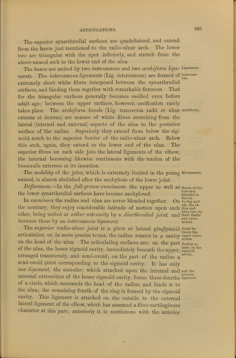 2C5 The superior synarthrodia! surfaces are quadrilateral, and extend from the facets just mentioned to the radio-ulnar arch. The lower two are triangular with the apex inferiorly, and stretch from the above-named arch to the lower end of the ulna. The bones are united by two interosseous and two archiform liga- Ligaments. ments. The interosseous ligaments (Lig. interosseum) are formed of interosse- extremely short white fibres interposed between the synarthrodial surfaces, and binding them together with remarkable firmness. That for the triangular surfaces generally becomes ossified even before adult age; between the upper surface's, however, ossification rarely takes place. The archiform hands (Lig. transversa radii et ulnae Archiform. externa et interna) are masses of white fibres stretching from the lateral (internal and external) aspects of the ulna to the posterior surface of the radius. Superiorly they extend from below the sig- moid notch to the superior border of the radio-ulnar arch. Below this arch, again, they extend to the lower end of the ulna. The superior fibres on each side join the lateral ligaments of the elbow, the internal becoming likewise continuous with the tendon of the humeralis externus at its insertion. The mobility of the joint, which is extremely limited in the young Movements, animal, is almost abolished after the anchylosis of the lower joint. Differences.—In the full-grown ruminants the upper as well as Bones of the the lower synarthrodial surfaces have become anchylosed. blend™tn In carnivora the radius and ulna are never blended together. On nTdogand the contrary, they enjoy considerable latitude of motion upon each duis and™ other, being united at either extremity by a diarthroclial joint, and their^haft? between these by an interosseous ligament. mities. The superior raclio-ulnar joint is a pivot or lateral ginglymoid Joint be- articulation, or, in more precise terms, the radius rotates in a cavity pp?r extre- on the head of the ulna. The articulating surfaces are: on the part Radius ro- of the ulna, the lesser sigmoid cavity, immediately beneath the upper, “moldthe arranged transversely, and semi-ovoid; on the part of the radius a cavity’ semi-ovoid pivot corresponding to the sigmoid cavity. It has only one ligament, the annular, which attached upon the internal and and the external extremities of the lesser sigmoid cavity, forms three-fourths Hgament. of a circle, which surrounds the head of the radius, and binds it to the ulna; the remaining fourth of the ring is formed by the sigmoid cavity. This ligament is attached on the outside to the external lateral ligament of the elbow, which has assumed a fibro-cartilaginous character at this part; anteriorly it is continuous with the anterior