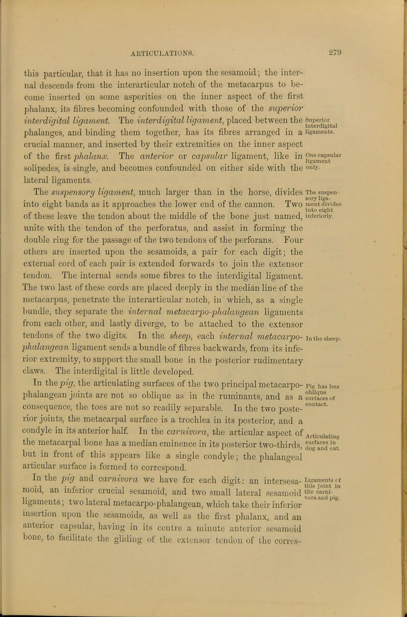 this particular, that it has no insertion upon the sesamoid; the inter- nal descends from the interarticular notch of the metacarpus to be- come inserted on some asperities on the inner aspect of the first phalanx, its fibres becoming confounded with those of the superior interdigital ligament. The inter digital ligament, placed between the phalanges, and binding them together, has its fibres arranged in a crucial manner, and inserted by their extremities on the inner aspect of the first phalanx. The anterior or capsular ligament, like in solipedes, is single, and becomes confounded on either side with the lateral ligaments. The suspensory ligament, much larger than in the horse, divides into eight bands as it approaches the lower end of the cannon. Two of these leave the tendon about the middle of the bone just named, unite with the tendon of the perforatus, and assist in forming the double ring for the passage of the two tendons of the perforans. Four others are inserted upon the sesamoids, a pair for each digit; the external cord of each pair is extended forwards to join the extensor tendon. The internal sends some fibres to the interdigital ligament. The two last of these cords are placed deeply in the median line of the metacarpus, penetrate the interarticular notch, in which, as a single bundle, they separate the internal metacarpo-phalangean ligaments from each other, and lastly diverge, to be attached to the extensor tendons of the two digits. In the sheep, each internal metacarpo- phalangean ligament sends a bundle of fibres backwards, from its infe- rior extremity, to support the small bone in the posterior rudimentary claws. The interdigital is little developed. In thepig, the articulating surfaces of the two principal metacarpo- phalangean joints are not so oblique as in the ruminants, and as a consequence, the toes are not so readily separable. In the two poste- rior joints, the metacarpal surface is a trochlea in its posterior, and a condyle in its anterior half. In the carnivora, the articular aspect of the metacarpal bone has a median eminence in its posterior two-thirds, but in front of this appears like a single condyle; the phalangeal articular surface is formed to correspond. In the pig and carnivora we have for each digit: an intersesa- moid, an inferior crucial sesamoid, and two small lateral sesamoid ligaments; two lateral metacarpo-phalangean, which take their inferior insertion upon the sesamoids, as well as the first phalanx, and an anterior capsular, having in its centre a minute anterior sesamoid bone, to facilitate the gliding of the extensor tendon of the eorres- Superior interdigital ligaments. One capsular ligament only. The suspen- sory liga- ment divides into eight interiorly. In the sheep. Pig has less oblique surfaces of contact. Articulating surfaces in dog and cat. Ligaments rf this joint in the carni- vora and pig.