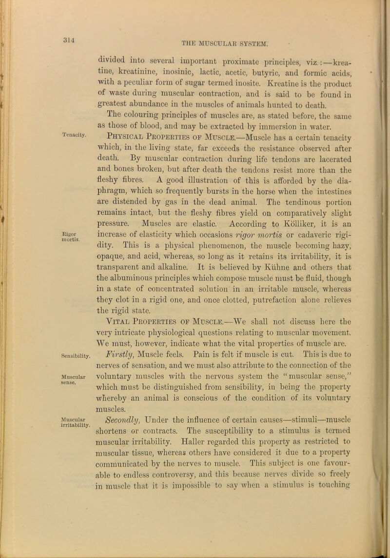 THE MUSCULAR SYSTEM. Tenacity. Rigor mortis. Sensibility. Muscular sense. Muscular irritability. divided into several important proximate principles, viz.:—krea- tine, kreatinine, inosinic, lactic, acetic, butyric, and formic acids, with a peculiar form of sugar termed iuosite. Kreatine is the product of waste during muscular contraction, and is said to be found in greatest abundance in the muscles of animals hunted to death. The colouring principles of muscles are, as stated before, the same as those of blood, and may be extracted by immersion in water. Physical Properties of Muscle.—Muscle has a certain tenacity which, in the living state, far exceeds the resistance observed after death. By muscular contraction during life tendons are lacerated and bones broken, but after death the tendons resist more than the fleshy fibres. A good illustration of this is afforded by the dia- phragm, which so frequently bursts in the horse when the intestines are distended by gas in the dead animal. The tendinous portion remains intact, but the fleshy fibres yield on comparatively slight pressure. Muscles are elastic. According to Kolliker, it is an increase of elasticity which occasions rigor mortis or cadaveric rigi- dity. This is a physical phenomenon, the muscle becoming hazy, opaque, and acid, whereas, so long as it retains its irritability, it is transparent and alkaline. It is believed by Kiikne and others that the albuminous principles which compose muscle must be fluid, though in a state of concentrated solution in an irritable muscle, whereas they clot in a rigid one, and once clotted, putrefaction alone relieves the rigid state. Vital Properties of Muscle.—We shall not discuss here the very intricate physiological questions relating to muscular movement. We must, however, indicate what the vital properties of muscle are. Firstly, Muscle feels. Pain is felt if muscle is cut. This is due to nerves of sensation, and we must also attribute to the connection of the voluntary muscles with the nervous system the “ muscular sense,” which must be distinguished from sensibility, in being the property whereby an animal is conscious of the condition of its voluntary muscles. Secondly, Under the influence of certain causes—stimuli—muscle shortens or contracts. The susceptibility to a stimulus is termed muscular irritability. Haller regarded this property as restricted to muscular tissue, whereas others have considered it due to a property communicated by the nerves to muscle. This subject is one favour- able to endless controversy, and this because nerves divide so freely in muscle that it is impossible to say when a stimulus is touching