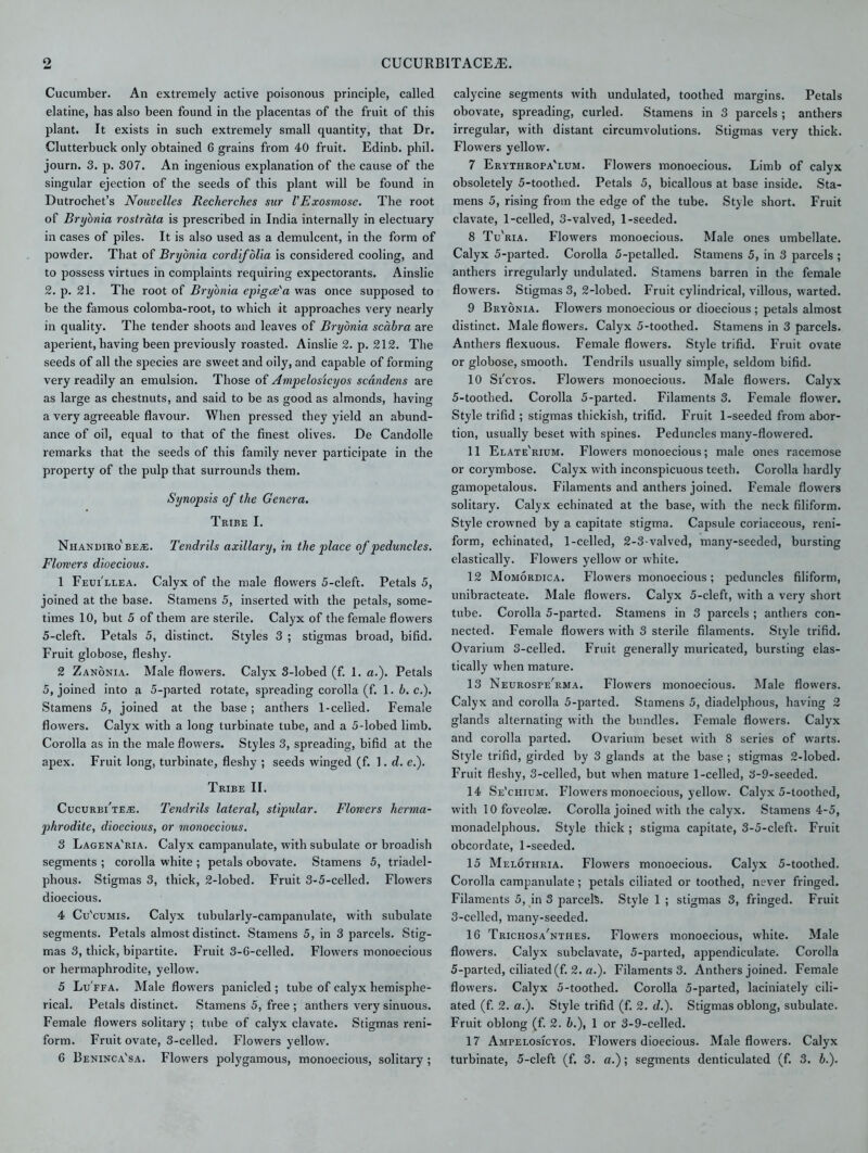 Cucumber. An extremely active poisonous principle, called elatine, has also been found in the placentas of the fruit of this plant. It exists in such extremely small quantity, that Dr. Clutterbuck only obtained 6 grains from 40 fruit. Edinb. phil. journ. 3. p. 307. An ingenious explanation of the cause of the singular ejection of the seeds of this plant will be found in Dutrochet’s Nouvelles Recherches sur VExosmose. The root of Bryonia rostrata is prescribed in India internally in electuary in cases of piles. It is also used as a demulcent, in the form of powder. That of Bryonia cordifolia is considered cooling, and to possess virtues in complaints requiring expectorants. Ainslie 2. p. 21. The root of Bryonia epigce'a was once supposed to be the famous colomba-root, to which it approaches very nearly in quality. The tender shoots and leaves of Bryonia scdbra are aperient, having been previously roasted. Ainslie 2. p. 212. The seeds of all the species are sweet and oily, and capable of forming very readily an emulsion. Those of Ampelosicyos scdndens are as large as chestnuts, and said to be as good as almonds, having a very agreeable flavour. When pressed they yield an abund- ance of oil, equal to that of the finest olives. De Candolle remarks that the seeds of this family never participate in the property of the pulp that surrounds them. Synopsis of the Genera. Tribe I. Nhandiro'be.k. Tendrils axillary, in the place of peduncles. Flowers dioecious. 1 Feui'llea. Calyx of the male flowers 5-cleft. Petals 5, joined at the base. Stamens 5, inserted with the petals, some- times 10, but 5 of them are sterile. Calyx of the female flowers 5-cleft. Petals 5, distinct. Styles 3 ; stigmas broad, bifid. Fruit globose, fleshy. 2 Zanonia. Male flowers. Calyx 3-lobed (f. 1. a.). Petals 5, joined into a 5-parted rotate, spreading corolla (f. 1. b. c.). Stamens 5, joined at the base; anthers 1-celied. Female flowers. Calyx with a long turbinate tube, and a 5-lobed limb. Corolla as in the male flowers. Styles 3, spreading, bifid at the apex. Fruit long, turbinate, fleshy ; seeds winged (f. 1. d. e.). Tribe II. Cucurbi'te^:. Tendrils lateral, stipular. Flowers herma- phrodite, dioecious, or monoecious. 3 Lagena'ria. Calyx campanulate, with subulate or broadish segments ; corolla white ; petals obovate. Stamens 5, triadel- phous. Stigmas 3, thick, 2-lobed. Fruit 3-5-celled. Flowers dioecious. 4 Cu'cumis. Calyx tubularly-campanulate, with subulate segments. Petals almost distinct. Stamens 5, in 3 parcels. Stig- mas 3, thick, bipartite. Fruit 3-6-celled. Flowers monoecious or hermaphrodite, yellow. 5 Lu'ffa. Male flowers panicled ; tube of calyx hemisphe- rical. Petals distinct. Stamens 5, free ; anthers very sinuous. Female flowers solitary ; tube of calyx clavate. Stigmas reni- form. Fruit ovate, 3-celled. Flowers yellow. 6 Beninca'sa. Flowers polygamous, monoecious, solitary ; calycine segments with undulated, toothed margins. Petals obovate, spreading, curled. Stamens in 3 parcels; anthers irregular, with distant circumvolutions. Stigmas very thick. Flowers yellow. 7 Erythropa'lum. Flowers monoecious. Limb of calyx obsoletely 5-toothed. Petals 5, bicallous at base inside. Sta- mens 5, rising from the edge of the tube. Style short. Fruit clavate, 1-celled, 3-valved, 1-seeded. 8 Tu'ria. Flowers monoecious. Male ones umbellate. Calyx 5-parted. Corolla 5-petalled. Stamens 5, in 3 parcels ; anthers irregularly undulated. Stamens barren in the female flowers. Stigmas 3, 2-lobed. Fruit cylindrical, villous, warted. 9 Bryonia. Flowers monoecious or dioecious ; petals almost distinct. Male flowers. Calyx 5-toothed. Stamens in 3 parcels. Anthers flexuous. Female flowers. Style trifid. Fruit ovate or globose, smooth. Tendrils usually simple, seldom bifid. 10 Si'cyos. Flowers monoecious. Male flowers. Calyx 5-toothed. Corolla 5-parted. Filaments 3. Female flower. Style trifid ; stigmas thickish, trifid. Fruit 1-seeded from abor- tion, usually beset with spines. Peduncles many-flowered. 11 Elate'rium. Flowers monoecious; male ones racemose or corymbose. Calyx with inconspicuous teeth. Corolla hardly gamopetalous. Filaments and anthers joined. Female flowers solitary. Calyx echinated at the base, with the neck filiform. Style crowned by a capitate stigma. Capsule coriaceous, reni- form, echinated, 1-celled, 2-3-valved, many-seeded, bursting elastically. Flowers yellow or white. 12 Momordica. Flowers monoecious; peduncles filiform, unibracteate. Male flowers. Calyx 5-cleft, with a very short tube. Corolla 5-parted. Stamens in 3 parcels ; anthers con- nected. Female flowers with 3 sterile filaments. Style trifid. Ovarium 3-celled. Fruit generally muricated, bursting elas- tically when mature. 13 Neurospe'rma. Flowers monoecious. Male flowers. Calyx and corolla 5-parted. Stamens 5, diadelphous, having 2 glands alternating with the bundles. Female flowers. Calyx and corolla parted. Ovarium beset with 8 series of warts. Style trifid, girded by 3 glands at the base ; stigmas 2-lobed. Fruit fleshy, 3-celled, but when mature 1-celled, 3-9-seeded. 14 Se’chium. Flowers monoecious, yellow. Calyx 5-toothed, with 10 foveolas. Corolla joined with the calyx. Stamens 4-5, monadelphous. Style thick ; stigma capitate, 3-5-cleft. Fruit obcordate, 1-seeded. 15 Melothria. Flowers monoecious. Calyx 5-toothed. Corolla campanulate; petals ciliated or toothed, never fringed. Filaments 5, in 3 parcels. Style 1 ; stigmas 3, fringed. Fruit 3-celled, many-seeded. 16 Trichosa'nthes. Flowers monoecious, white. Male flowers. Calyx subclavate, 5-parted, appendiculate. Corolla 5-parted, ciliated (f. 2. a.). Filaments 3. Anthers joined. Female flowers. Calyx 5-toothed. Corolla 5-parted, laciniately cili- ated (f. 2. a.). Style trifid (f. 2. d.). Stigmas oblong, subulate. Fruit oblong (f. 2. b.), 1 or 3-9-celled. 17 Ampelosicyos. Flowers dioecious. Male flowers. Calyx turbinate, 5-cleft (f. 3. a.); segments denticulated (f. 3. b.).