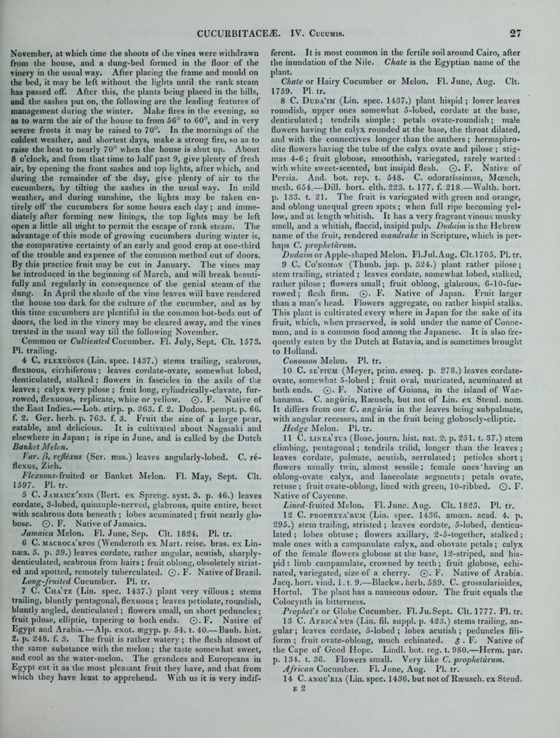 November, at which time the shoots of the vines were withdrawn from the house, and a dung-bed formed in the floor of the vinery in the usual way. After placing the frame and mould on the bed, it may be left without the lights until the rank steam has passed off. After this, the plants being placed in the hills, and the sashes put on, the following are the leading features of management during the winter. Make fires in the evening, so as to warm the air of the house to from 56° to 60°, and in very severe frosts it may be raised to 70°. In the mornings of the coldest weather, and shortest days, make a strong fire, so as to raise the heat to nearly 70° when the house is shut up. About 8 o’clock, and from that time to half past 9, give plenty of fresh air, by opening the front sashes and top lights, after which, and during the remainder of the day, give plenty of air to the cucumbers, by tilting the sashes in the usual way. In mild weather, and during sunshine, the lights may be taken en- tirely off the cucumbers for some hours each day; and imme- diately after forming new linings, the top lights may be left open a little all night to permit the escape of rank steam. The advantage of this mode of growing cucumbers during winter is, the comparative certainty of an early and good crop at one-third of the trouble and expence of the common method out of doors. By this practice fruit may be cut in January. The vines may be introduced in the beginning of March, and will break beauti- fully and regularly in consequence of the genial steam of the dung. In April the shade of the vine leaves will have rendered the house too dark for the culture of the cucumber, and as by this time cucumbers are plentiful in the common hot-beds out of doors, the bed in the vinery may be cleared away, and the vines treated in the usual way till the following November. Common or Cultivated Cucumber. FI. July, Sept. Clt. 1573. PI. trailing. 4 C. flexuosus (Lin. spec. 1437.) stems trailing, scabrous, flexuous, cirrhiferous; leaves cordate-ovate, somewhat lobed, denticulated, stalked ; flowers in fascicles in the axils of the leaves ; calyx very pilose ; fruit long, cylindrically-clavate, fur- rowed, flexuous, replicate, white or yellow. 0. F. Native of the East Indies.—Lob. stirp. p. 363. f. 2. Dodon. pempt. p. 66. f. 2. Ger. herb. p. 763. f. 3. Fruit the size of a large pear, eatable, and delicious. It is cultivated about Nagasaki and elsewhere in Japan; is ripe in June, and is called by the Dutch Banket Melon. Var. ft, rcjlexus (Ser. mss.) leaves angularly-lobed. C. re- flexus, Zieh. Flexuous-fruited or Banket Melon. FI. May, Sept. Clt. 1597. PI. tr. 5 C. Jamaice'nsis (Bert, ex Spreng. syst. 3. p. 46.) leaves cordate, 3-lobed, quintuple-nerved, glabrous, quite entire, beset with scabrous dots beneath ; lobes acuminated; fruit nearly glo- bose. ©. F. Native of Jamaica. Jamaica Melon. FI. June, Sep. Clt. 1824. Pl.tr. 6 C. macroca'rpos (Wenderoth ex Mart, reise. bras, ex Lin- naea. 5. p. 39.) leaves cordate, rather angular, acutish, sharply- denticulated, scabrous from hairs ; fruit oblong, obsolete]}' striat- ed and spotted, remotely tuberculatcd. ©. F. Native of Brazil. Long-fruited Cucumber. PI. tr. 7 C. Cjia'te (Lin. spec. 1437.) plant very villous ; stems trailing, bluntly pentagonal, flexuous ; leaves petiolate, roundish, bluntly angled, denticulated ; flowers small, on short peduncles; fruit pilose, elliptic, tapering to both ends. ©. F. Native of Egypt and Arabia.—Alp. exot. segyp. p. 54. t. 40.— Bauh. hist. 2. p. 248. f. 3. The fruit is rather watery; the flesh almost of the same substance with the melon ; the taste somewhat sweet, and cool as the water-melon. The grandees and Europeans in Egypt eat it as the most pleasant fruit they have, and that from which they have least to apprehend. With us it is very indif- ferent. It is most common in the fertile soil around Cairo, after the inundation of the Nile. C/iale is the Egyptian name of the plant. Chate or Hairy Cucumber or Melon. FI. June, Aug. Clt. 1759. Pl.tr. 8 C. Duda'im (Lin. spec. 1437.) plant hispid ; lower leaves roundish, upper ones somewhat 5-lobed, cordate at the base, denticulated; tendrils simple; petals ovate-roundish; male flowers having the calyx rounded at the base, the throat dilated, and with the connectives longer than the anthers ; hermaphro- dite flowers having the tube of the calyx ovate and pilose ; stig- mas 4-6 ; fruit globose, smoothisb, variegated, rarely warted : with white sweet-scented, but insipid flesh. ©. F. Native of Persia. And. bot. rep. t. 548. C. odoratissimus, Moench, meth. 654.—Dill. hort. elth. 223. t. 177. f. 218.—Walth. hort. p. 133. t. 21. The fruit is variegated with green and orange, and oblong unequal green spots; when full ripe becoming yel- low', and at length whitish. It has a very fragrant vinous musky smell, and a whitish, flaccid, insipid pulp. Dudaim is the Hebrew name of the fruit, rendered mandrake in Scripture, which is per- haps C. prophetarum. Dudaim or Apple-shaped Melon. Fl.Jul.Aug. Clt.l 705. Pl.tr. 9 C. Co'nomon (Thunb. jap. p. 324.) plant rather pilose; stem trailing, striated ; leaves cordate, somewhat lobed, stalked, rather pilose; flowers small; fruit oblong, glabrous, 6-10-fur- rowed; flesh firm. ©. F. Native of Japan. Fruit larger than a man’s head. Flow'ers aggregate, on rather hispid stalks. This plant is cultivated every where in Japan for the sake of its fruit, which, when preserved, is sold under the name of Conne- mon, and is a common food among the Japanese. It is also fre- quently eaten by the Dutch at Batavia, and is sometimes brought to Holland. Conornon Melon. PI. tr. 10 C. se'pium (Meyer, prim, esseq. p. 278.) leaves cordate- ovate, somewhat 5-lobed ; fruit oval, muricated, acuminated at both ends. ©. F. Native of Guiana, in the island of Wac- hanama. C. anguria, Raeusch, but not of Lin. ex Steud. nom. It differs from our C. anguria in the leaves being subpalmate, with angular recesses, and in the fruit being globosely-elliptic. Hedge Melon. PI. tr. 11 C. linea'tus (Bose, journ. hist. nat. 2: p. 251. t. 37.) stem climbing, pentagonal; tendrils trifid, longer than the leaves ; leaves cordate, palmate, acutish, serrulated; petioles short ; flowers usually twin, almost sessile; female ones having an oblong-ovate calyx, and lanceolate segments; petals ovate, refuse; fruit ovate-oblong, lined with green, 10-ribbed. ©. F. Native of Cayenne. Lined-fruited Melon. FI. June. Aug. Clt. 1825. Pl.tr. 12 C. propheta'rum (Lin. spec. 1436. amoen. acad. 4. p. 295.) stem trailing, striated ; leaves cordate, 5-lobed, denticu- lated ; lobes obtuse; flowers axillary, 2-5-together, stalked; male ones with a campanulate calyx, and obovate petals; calyx of the female flowers globose at the base, 12-striped, and his- pid : limb campanulate, crowned by teeth; fruit globose, echi- nated, variegated, size of a cherry. ©. F. Native of Arabia. Jacq. hort. vind. 1.1. 9.—Blackw. herb. 589. C. grossularioides, Hortul. The plant has a nauseous odour. The fruit equals the Colocynth in bitterness. Prophet's or Globe Cucumber. FI. Ju. Sept. Clt. 1777. PL tr. 13 C. Africa'xus (Lin. fil. suppl. p. 423.) stems trailing, an- gular ; leaves cordate, 5-lobed ; lobes acutish ; peduncles fili- form ; fruit ovate-oblong, much echinated. $ . F. Native of the Cape of Good Hope. Lindl. bot. reg. t. 9S0.—Herm. par. p. 134. t. 36. Flowers small. Very like C. propheldrum. African Cucumber. FI. June, Aug. PI. tr. 14 C. angu'ria (Lin. spec. 1436. but not of Raeusch. ex Steud. e 2