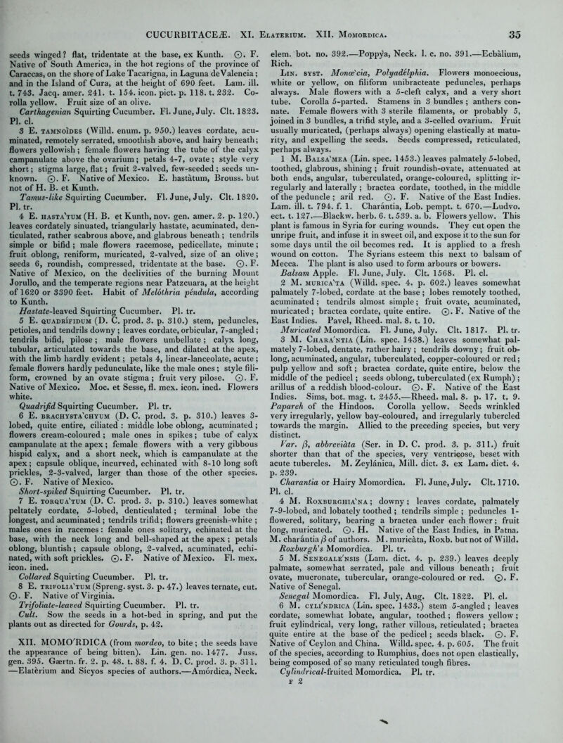 seeds winged? flat, tridentate at the base, ex Kunth. ©• F. Native of South America, in the hot regions of the province of Caraccas, on the shore of Lake Tacarigna, in Laguna de Valencia; and in the Island of Cura, at the height of 690 feet. Lam. ill. t. 743. Jacq. amer. 241. t. 154. icon. pict. p. 118. t. 232. Co- rolla yellow. Fruit size of an olive. Carthagenian Squirting Cucumber. FI. June, July. Clt. 1823. PI. cl. 3 E. tamnoides (Willd. enum. p. 950.) leaves cordate, acu- minated, remotely serrated, smoothish above, and hairy beneath; flowers yellowish ; female flowers having the tube of the calyx campanulate above the ovarium; petals 4-7, ovate; style very short; stigma large, flat; fruit 2-valved, few-seeded ; seeds un- known. ©. F. Native of Mexico. E. hastatum, Brouss. but not of H. B. et Kunth. Tamus-like Squirting Cucumber. FI. June, July. Clt. 1820. PI. tr. 4 E. hasta'tum (H. B. et Kunth, nov. gen. amer. 2. p. 120.) leaves cordately sinuated, triangularly hastate, acuminated, den- ticulated, rather scabrous above, and glabrous beneath ; tendrils simple or bifid ; male flowers racemose, pedicellate, minute; fruit oblong, reniform, muricated, 2-valved, size of an olive; seeds 6, roundish, compressed, tridentate at the base. ©. F. Native of Mexico, on the declivities of the burning Mount Jorullo, and the temperate regions near Patzcuara, at the height of 1620 or 3390 feet. Habit of Melolhria pendula, according to Kunth. Hastate-leaved Squirting Cucumber. PI. tr. 5 E. quabrifidum (D. C. prod. 3. p. 310.) stem, peduncles, petioles, and tendrils downy ; leaves cordate, orbicular, 7-angled; tendrils bifid, pilose; male flowers umbellate; calyx long, tubular, articulated towards the base, and dilated at the apex, with the limb hardly evident; petals 4, linear-lanceolate, acute ; female flowers hardly pedunculate, like the male ones; style fili- form, crowned by an ovate stigma; fruit very pilose. ©. F. Native of Mexico. Moc. et Sesse, fl. mex. icon. ined. Flowers white. Quadrifid Squirting Cucumber. PI. tr. 6 E. brachysta'chyum (D. C. prod. 3. p. 310.) leaves 3- lobed, quite entire, ciliated : middle lobe oblong, acuminated ; flowers cream-coloured ; male ones in spikes; tube of calyx campanulate at the apex; female flowers with a very gibbous hispid calyx, and a short neck, which is campanulate at the apex; capsule oblique, incurved, echinated with 8-10 long soft prickles, 2-3-valved, larger than those of the other species. ©. F. Native of Mexico. Short-spiked Squirting Cucumber. PI. tr. 7 E. torqua'tum (D. C. prod. 3. p. 310.) leaves somewhat peltately cordate, 5-lobed, denticulated; terminal lobe the longest, and acuminated ; tendrils trifid; flowers greenish-white ; males ones in racemes: female ones solitary, echinated at the base, with the neck long and bell-shaped at the apex ; petals oblong, bluntish; capsule oblong, 2-valved, acuminated, echi- nated, with soft prickles. ©. F. Native of Mexico. Fl. mex. icon. ined. Collared Squirting Cucumber. PI. tr. 8 E. trifolia'tum (Spreng. syst. 3. p. 47.) leaves ternate, cut. ©. F. Native of Virginia. Trifoliate-leaved Squirting Cucumber. PI. tr. Cult. Sow the seeds in a hot-bed in spring, and put the plants out as directed for Gourds, p. 42. XII. MOMO RDICA (from mordeo, to bite; the seeds have the appearance of being bitten). Lin. gen. no. 1477. Juss. gen. 395. Gaertn. fr. 2. p. 48. t. 88. f. 4. D. C. prod. 3. p. 311. —Elaterium and Sicyos species of authors.—Amordica, Neck. elem. bot. no. 392.—Poppya, Neck. 1. c. no. 391.—Ecbalium, Rich. Lin. syst. Monce'cia, Polyadelphia. Flowers monoecious, white or yellow, on filiform unibracteate peduncles, perhaps always. Male flowers with a 5-cleft calyx, and a very short tube. Corolla 5-parted. Stamens in 3 bundles ; anthers con- nate. Female flowers with 3 sterile filaments, or probably 5, joined in 3 bundles, a trifid style, and a 3-celled ovarium. Fruit usually muricated, (perhaps always) opening elastically at matu- rity, and expelling the seeds. Seeds compressed, reticulated, perhaps always. 1 M. Balsa'mea (Lin. spec. 1453.) leaves palmately 5-lobed, toothed, glabrous, shining ; fruit roundish-ovate, attenuated at both ends, angular, tuberculated, orange-coloured, splitting ir- regularly and laterally ; bractea cordate, toothed, in the middle of the peduncle ; aril red. ©. F. Native of the East Indies. Lam. ill. t. 794. f. 1. Charantia, Lob. pempt. t. 670.—Ludvo. ect. t. 127.—Blackw. herb. 6. t. 539. a. b. Flowers yellow. This plant is famous in Syria for curing wounds. They cut open the unripe fruit, and infuse it in sweet oil, and expose it to the sun for some days until the oil becomes red. It is applied to a fresh wound on cotton. The Syrians esteem this next to balsam of Mecca. The plant is also used to form arbours or bowers. Balsam Apple. Fl. June, July. Clt. 1568. PI. cl. 2 M. murica'ta (Willd. spec. 4. p. 602.) leaves somewhat palmately 7-lobed, cordate at the base ; lobes remotely toothed, acuminated ; tendrils almost simple; fruit ovate, acuminated, muricated ; bractea cordate, quite entire. ©. F. Native of the East Indies. Pavel, Rheed. mal. 8. t. 10. Muricated Momordica. Fl. June, July. Clt. 1817. Pl.tr. 3 M. Chara'ntia (Lin. spec. 1438.) leaves somewhat pal- mately 7-lobed, dentate, rather hairy ; tendrils downy; fruit ob- long, acuminated, angular, tuberculated, copper-coloured or red; pulp yellow and soft; bractea cordate, quite entire, below the middle of the pedicel; seeds oblong, tuberculated (ex Rumph) ; arillus of a reddish blood-colour. ©. F. Native of the East Indies. Sims, bot. mag. t. 2455.—Rheed. mal. 8. p. 17. t. 9. Papareh of the Hindoos. Corolla yellow. Seeds wrinkled very irregularly, yellow bay-coloured, and irregularly tubercled towards the margin. Allied to the preceding species, but very distinct. Far. /3, abbreviata (Ser. in D. C. prod. 3. p. 311.) fruit shorter than that of the species, very ventricose, beset with acute tubercles. M. Zeylanica, Mill. diet. 3. ex Lam. diet. 4. p. 239. Charantia or Hairy Momordica. Fl. June, July. Clt. 1710. PI. cl. 4 M. Roxburghia'na ; downy; leaves cordate, palmately 7-9-lobed, and lobately toothed ; tendrils simple ; peduncles 1- flowered, solitary, bearing a bractea under each flower; fruit long, muricated. ©. H. Native of the East Indies, in Patna. M. charantia /3 of authors. M. muricata, Roxb. but not of Willd. Roxburgh’s Momordica. PI. tr. 5 M. Senegale'nsis (Lam. diet. 4. p. 239.) leaves deeply palmate, somewhat serrated, pale and villous beneath; fruit ovate, mucronate, tubercular, orange-coloured or red. ©. F. Native of Senegal. Senegal Momordica. Fl. July, Aug. Clt. 1822. PI. cl. 6 M. cvli'ndrica (Lin. spec. 1433.) stem 5-angled ; leaves cordate, somewhat lobate, angular, toothed; flowers yellow; fruit cylindrical, very long, rather villous, reticulated; bractea quite entire at the base of the pedicel; seeds black. ©. F. Native of Ceylon and China. Willd. spec. 4. p. 605. The fruit of the species, according to Rumphius, does not open elastically, being composed of so many reticulated tough fibres. Cylindrical-fruited Momordica. PI. tr. f 2