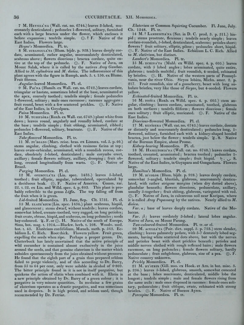 7 M. Heynea'na (Wall. cat. no. 6744.) leaves 3-lobed, mu- cronately denticulated ; peduncles 1-flowered, solitary, furnished each with a large bractea under the flower, which encloses it before expansion; tendrils simple. ©.? F. Native of the East Indies. Flowers large. Heyne’s Momordica. PI. tr. 8 M. subangula'ta (Blum, bijdr. p. 928.) leaves deeply cor- date, acuminated, rather angular, mucronulately denticulated, scabrous above; flowers dioecious ; bractea cordate, quite en- tire at the top of the peduncle. ©. F. Native of Java, on Mount Salak, where it is called by the natives Aroy Gambas. Allied to M. cylindrica and M. dioica. The inflorescence of this plant agrees with the figure in Rumph. amb. 5. t. 150. ex Blume. Fruit fibrous. Angular-leaved Momordica. PI. cl. 9 M. Pai'na (Hamilt. ex Wall. cat. no. 6742.) leaves cordate, triangular or hastate, sometimes lobed at the base, acuminated at the apex, coarsely toothed; tendrils simple ; female peduncles 1-flowered, solitary ; male ones racemose ; racemes aggregate; fruit round, beset with a few scattered prickles. ©. F. Native of the East Indies, in Goyalpara. Paina Momordica. PI. tr. 10 M. tubiflora (Roxb. ex Wall. cat. 6749.) plant w-hite from down ; leaves round, angularly and roundly lobed, cordate at the base; tendrils simple; fruit oblong, acuminated, ribbed; peduncles 1-flowered, solitary, bracteate. ©. F. Native of the East Indies. Tube-Jlowered Momordica. PI. tr. 11 M. pu'rgans (Mart, reise. bras, ex Linnaea. vol. 5. p.40.) stems angular, climbing, clothed with resinous farina at top ; leaves ovate-orbicular, acuminated, with a roundish recess, cor- date, obsoletely 5-lobed, denticulated ; male corymbs erect, axillary; female flowers solitary, axillary, drooping ; fruit ob- long, crested longitudinally from warts. ©. F. Native of Brazil. Purging Momordica. PI. cl. 12 M. opercula'ta (Lin. spec. 1433.) leaves 5-lobed, toothed ; fruit elliptic, angular, tuberculated, operculated by a deciduous beak. ©. F. Native of America. Comm. rar. 22. t. 22. ex Lin. and Willd. spec. 4. p. 603. This plant is pro- bably referrible to the genus Liiffa. The top falling off from the fruit when it is green. Zid-fruited Momordica. FI. June, Sep. Clt. 1731. PI. cl. 13 M. elate'rium (Lin. spec. 1434.) plant scabrous, hispid, and glaucescent; stems dwarf, without tendrils ; leaves cordate, somewhat lobed, crenate-toothed, very rugged, on long petioles; fruit ovate, obtuse, hispid, and scabrous, on long peduncles ; seeds bay-coloured. 1£.F. or©. H. Native of the south of Europe. Sims, bot. mag. t. 1914.—Blackw. herb. t. 108. Woodv. med. bot. t. 43. Elaterium cordifolium, Mcench. meth. p. 563. Ec- balium L. C. Rich. Root thick. Flowers yellow. Fruit green, expelling the seeds when ripe. Perhaps a proper genus. Dr. Clutterbuck has lately ascertained that the active principle of wild cucumber is contained almost exclusively in the juice around the seeds, and that genuine elaterium is the matter which subsides spontaneously from the juice obtained without pressure. He found that the eighth part of a grain thus prepared seldom failed to purge violently, and of this according to Dr. Barry, from 55 to 64 per cent, only were soluble in alcohol of 0-809. The bitter principle found in it is not in itself purgative, but quickens the action of elatin when combined with it. Elatin is a new principle obtained by Dr. Barry of a green colour ; it is purgative in very minute quantities. In medicine a few grains of elaterium operates as a drastic purgative, and was sometimes used in dropsies. It is high priced, and seldom used, though recommended by Dr. Ferriar. Elaterium or Common Squirting Cucumber. FI. June, July. Clt. 1548. PI. tr. 14 M. ? Lambertia'na (Ser. in D. C. prod. 3. p. 311.) his- pid ; stems prostrate, flexuous; tendrils nearly simple; leaves cordate-roundish, 5-lobed, denticulated, scabrous; petioles short; flowers ? fruit solitary, elliptic, pilose ; peduncles short, hispid. ©. F. Native of the East Indies. Ecbalium L. C. Rich. Allied to M. elaterium, but distinct. Lambert's Momordica. PI. tr. 15 M. echina'ta (Muhl. ex Willd. spec. 4. p. 605.) leaves cordate, with 5 lobed angles ; lobes acuminated, quite entire, glabrous; tendrils multifid; fruit roundish, 4-seeded, echinated by bristles. ©. H. Native of the western parts of Pennsyl- vania, near the river Ohio. Sicyos lobata, Michx. amer. 2. p. 217. Fruit roundish, size of a gooseberry, beset with long su- bulate bristles, very like those of Sicyos, but 4-seeded. Flowers yellow. Echinated-fruited Momordica. PI. tr. 16 M. dioIca (Roxb. ex Willd. spec. 4. p. 605.) stem an- gular, climbing; leaves cordate, acuminated, toothed, glabrous on both surfaces ; tendrils filiform ; flowers dioecious ; female ones solitary; fruit elliptic, muricated. ©. F. Native of the East Indies. Zhoeciows-flowered Momordica. PI. cl. 17 M. renigera (Wall. cat. no. 6743.) leaves cordate, dentate or distantly and mucronately denticulated; peduncles long, 1- flowered, solitary, furnished each with a kidney-shaped hooded bractea, just below the flower; tendrils simple. If.. S. Native of the Burman Empire, about Prome. Kidney-bearing Momordica. PI. cl. 18 M. Hamiltonia'na (Wall. cat. no. 6748.) leaves cordate, toothed, crenated, acuminated; bractea toothed; peduncles 1- flowered, solitary; tendrils simple; fruit hispid. Tj. S. Native of the East Indies, in Goyapara and Gongachora. Flowers large. Hamilton’s Momordica. PI. cl. 19 M. bi'color (Blum, bijdr. p. 928.) leaves deeply cordate, somewhat 5-angled, bluntish, glabrous, mucronately denticu- lated, w’ith rather strigose margins (when dry dotted above), glandular beneath; flowers dioecious, pedunculate, axillary, usually 3-together; fruit oblong, glabrous, variegated with red. ©. F. Native of Java, in calcareous soil near Kuripan, where it is called Aroy Pupassang by the natives. Nearly allied to M. dioica. Var. a; base of leaves deeply cordate. Native of the Mo- luccas. Far. ft; leaves cordately 3-lobed; lateral lobes angular. Native of Java, on Mount Parang. Two-coloured-{ruited Momordica. PI. tr. or cl. 20 M. aculea'ta (Poir. diet, suppl. 3. p. 723.) stem slender, climbing; leaves palmately pedate, with 5-7 dentately lobed seg- ments, having white scattered dots above, but with the nerves and petioles beset with short prickles beneath ; petioles and middle nerves clothed with rough reflexed hairs ; male flowers racemose, on long peduncles; female flowers solitary, hardly pedunculate ; fruit subglobose, glabrous, size of a pea. ©. F. Native country unknowm. Prickly Momordica. PI. cl. 21 M. iiy'strix (Gill. mss. ex Hook, et Am. in bot. misc. 3. p. 234.) leaves 5-lobed, glabrous, smooth, somewhat cuneated at the base ; lobes mucronate, denticulated, middle lobe the longest; tendrils simple ; male and female flowers rising from the same axils : male ones disposed in racemes : female ones soli- tary, pedunculate; fruit oblique, ovate, echinated with strong bristles. ©. F. Native of Buenos Ayres. Porcupine Momordica. PI. tr.