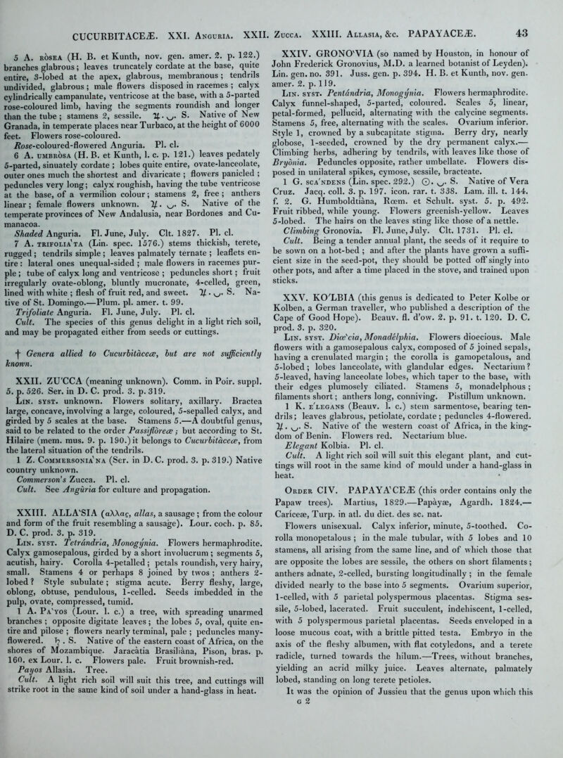 5 A. ROSEA (H. B. et Kunth, nov. gen. amer. 2. p. 122.) branches glabrous; leaves truncately cordate at the base, quite entire, 3-lobed at the apex, glabrous, membranous ; tendrds undivided, glabrous ; male flowers disposed in racemes ; calyx cylindrically campanulate, ventricose at the base, with a 5-parted rose-coloured limb, having the segments roundish and longer than the tube ; stamens 2, sessile. S. Native of New Granada, in temperate places near Turbaco, at the height of 6000 feet. Flowers rose-coloured. i?ose-coloured-flowered Anguria. PI. cl. 6 A. umbrosa (H. B. et Kunth, 1. c. p. 121.) leaves pedately 5-parted, sinuately cordate ; lobes quite entire, ovate-lanceolate, outer ones much the shortest and divaricate ; flowers panicled ; peduncles very long; calyx roughish, having the tube ventricose at the base, of a vermilion colour; stamens 2, free ; anthers linear; female flowers unknown. 1/. S. Native of the temperate provinces of New Andalusia, near Bordones and Cu- manacoa. Shaded Anguria. FI. June, July. Clt. 1827. PI. cl. 7 A. trifolia'ta (Lin. spec. 1576.) stems thickish, terete, rugged ; tendrils simple ; leaves palmately ternate ; leaflets en- tire : lateral ones unequal-sided ; male flowers in racemes pur- ple ; tube of calyx long and ventricose ; peduncles short; fruit irregularly ovate-oblong, bluntly mucronate, 4-celled, green, lined with white ; flesh of fruit red, and sweet. 1/ . yj. S. Na- tive of St. Domingo.—Plum. pi. amer. t. 99. Trifoliate Anguria. FI. June, July. PI. cl. Cult. The species of this genus delight in a light rich soil, and may be propagated either from seeds or cuttings. •f Genera allied to Cucurbitacece, but are not sufficiently known. XXII. ZU'CCA (meaning unknown). Comm, in Poir. suppl. 5. p. 526. Ser. in D. C. prod. 3. p. 319. Lin. syst. unknown. Flowers solitary, axillary. Bractea large, concave, involving a large, coloured, 5-sepalled calyx, and girded by 5 scales at the base. Stamens 5.—A doubtful genus, said to be related to the order Passijlbrece; but according to St. Hilaire (mem. mus. 9. p. 190.) it belongs to Cucurbitacece, from the lateral situation of the tendrils. 1 Z. Commersoniana (Ser. in D. C. prod. 3. p. 319.) Native country unknown. Commerson’s Zucca. PI. cl. Cult. See Anguria for culture and propagation. XXIII. ALLA'SIA (aWag, alias, a sausage ; from the colour and form of the fruit resembling a sausage). Lour. coch. p. 85. D. C. prod. 3. p. 319. Lin. syst. Tetrdndria, Monogynia. Flowers hermaphrodite. Calyx gamosepalous, girded by a short involucrum ; segments 5, acutish, hairy. Corolla 4-petalled ; petals roundish, very hairy, small. Stamens 4 or perhaps 8 joined by twos ; anthers 2- lobed ? Style subulate; stigma acute. Berry fleshy, large, oblong, obtuse, pendulous, 1-celled. Seeds imbedded in the pulp, ovate, compressed, tumid. 1 A. Pa'yos (Lour. 1. c.) a tree, with spreading unarmed branches ; opposite digitate leaves; the lobes 5, oval, quite en- tire and pilose ; flowers nearly terminal, pale ; peduncles many- flowered. Ip . S. Native of the eastern coast of Africa, on the shores of Mozambique. Jaracatia Brasiliana, Pison, bras. p. 160. ex Lour. 1. c. Flowers pale. Fruit brownish-red. Pay os Allasia. Tree. Cult. A light rich soil will suit this tree, and cuttings will strike root in the same kind of soil under a hand-glass in heat. XXIV. GRONO'VIA (so named by Houston, in honour of John Frederick Gronovius, M.D. a learned botanist of Leyden). Lin. gen. no. 391. Juss. gen. p. 394. H. B. et Kunth, nov. gen. amer. 2. p. 119. Lin. syst. Pentandria, Monogynia. Flowers hermaphrodite. Calyx funnel-shaped, 5-parted, coloured. Scales 5, linear, petal-formed, pellucid, alternating with the calycine segments. Stamens 5, free, alternating with the scales. Ovarium inferior. Style 1, crowned by a subcapitate stigma. Berry dry, nearly globose, 1-seeded, crowned by the dry permanent calyx.— Climbing herbs, adhering by tendrils, with leaves like those of Bryonia. Peduncles opposite, rather umbellate. Flowers dis- posed in unilateral spikes, cymose, sessile, bracteate. 1 G. sca'ndens (Lin. spec. 292.) ©. S. Native of Vera Cruz. Jacq. coll. 3. p. 197. icon. rar. t. 338. Lam. ill. t. 144. f. 2. G. Humboldtiana, Roem. et Schult. syst. 5. p. 492. Fruit ribbed, while young. Flowers greenish-yellow. Leaves 5-lobed. The hairs on the leaves sting like those of a nettle. Climbing Gronovia. FI. June, July. Clt. 1731. PI. cl. Cult. Being a tender annual plant, the seeds of it require to be sown on a hot-bed ; and after the plants have grown a suffi- cient size in the seed-pot, they should be potted off singly into other pots, and after a time placed in the stove, and trained upon sticks. XXV. KO'LBIA (this genus is dedicated to Peter Kolbe or Kolben, a German traveller, who published a description of the Cape of Good Hope). Beauv. fl. d’ow. 2. p. 91. t. 120. D. C. prod. 3. p. 320. Lin. syst. Dice'cia, Monadelphia. Flowers dioecious. Male flowers with a gamosepalous calyx, composed of 5 joined sepals, having a crenulated margin ; the corolla is gamopetalous, and 5-lobed ; lobes lanceolate, with glandular edges. Nectarium ? 5-leaved, having lanceolate lobes, which taper to the base, with their edges plumosely ciliated. Stamens 5, monadelphous; filaments short; anthers long, conniving. Pistillum unknown. 1 K. e'legans (Beauv. 1. c.) stem sarmentose, bearing ten- drils; leaves glabrous, petiolate, cordate; peduncles 4-flowered. T/. v_/. S. Native of the western coast of Africa, in the king- dom of Benin. Flowers red. Nectarium blue. Elegant Kolbia. PI. cl. Cult. A light rich soil will suit this elegant plant, and cut- tings will root in the same kind of mould under a hand-glass in heat. Order CIV. PAPAYA'CECE (this order contains only the Papaw trees). Martius, 1829.—Papayae, Agardh. 1824.— Cariceae, Turp. in atl. du diet, des sc. nat. F’lowers unisexual. Calyx inferior, minute, 5-toothed. Co- rolla monopetalous ; in the male tubular, with 5 lobes and 10 stamens, all arising from the same line, and of which those that are opposite the lobes are sessile, the others on short filaments; anthers adnate, 2-celled, bursting longitudinally ; in the female divided nearly to the base into 5 segments. Ovarium superior, 1-celled, with 5 parietal polyspermous placentas. Stigma ses- sile, 5-lobed, lacerated. Fruit succulent, indehiscent, 1-celled, with 5 polyspermous parietal placentas. Seeds enveloped in a loose mucous coat, with a brittle pitted testa. Embryo in the axis of the fleshy albumen, with flat cotyledons, and a terete radicle, turned towards the hilum.—Trees, without branches, yielding an acrid milky juice. Leaves alternate, palmately lobed, standing on long terete petioles. It was the opinion of Jussieu that the genus upon which this g 2