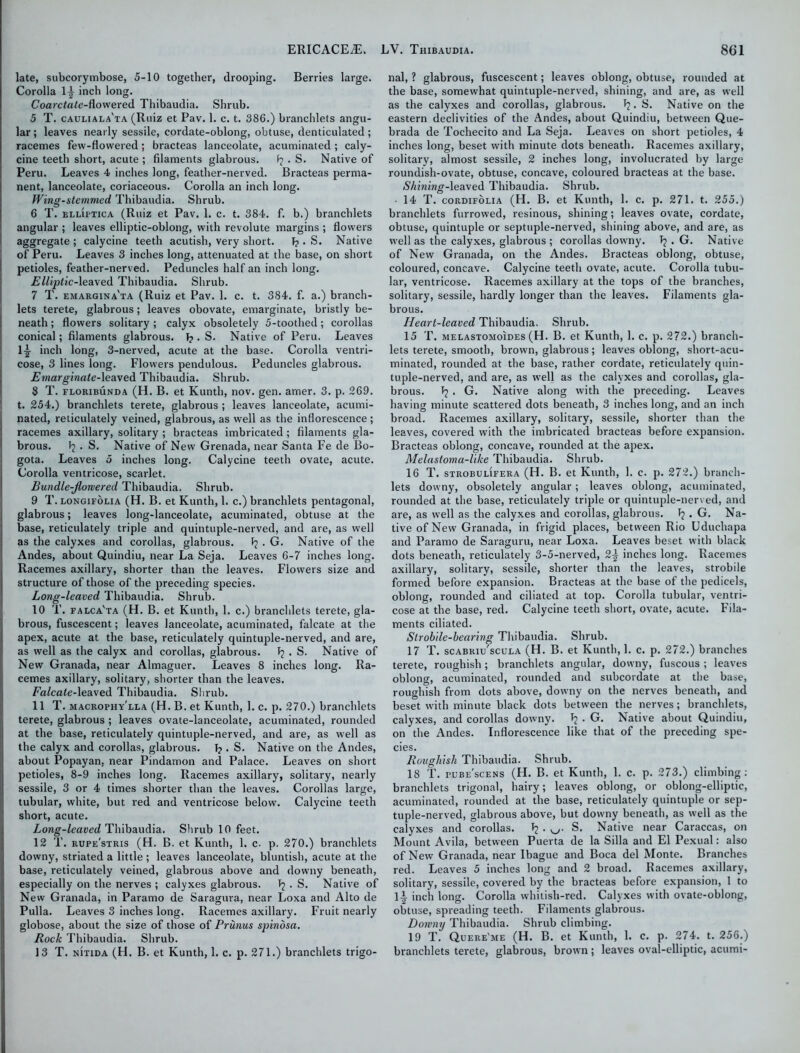 late, subcorymbose, 5-10 together, drooping. Berries large. Corolla 1^ inch long. Coarctale-f\owered Thibaudia. Shrub. 5 T. cauliala'ta (Ruiz et Pav. 1. c. t. 386.) branchlets angu- lar ; leaves nearly sessile, cordate-oblong, obtuse, denticulated; racemes few-flowered; bracteas lanceolate, acuminated ; caly- cine teeth short, acute ; filaments glabrous. 1? . S. Native of Peru. Leaves 4 inches long, feather-nerved. Bracteas perma- nent, lanceolate, coriaceous. Corolla an inch long. Wing-stemmed Thibaudia. Shrub. 6 T. elliptica (Ruiz et Pav. 1. c. t. 384. f. b.) branchlets angular ; leaves elliptic-oblong, with revolute margins ; flowers aggregate ; calycine teeth acutish, very short. f?. S. Native of Peru. Leaves 3 inches long, attenuated at the base, on short petioles, feather-nerved. Peduncles half an inch long. Elliptic-leaved Thibaudia. Shrub. 7 T. emargina'ta (Ruiz et Pav. 1. c. t. 384. f. a.) branch- lets terete, glabrous; leaves obovate, emarginate, bristly be- neath ; flowers solitary ; calyx obsoletely 5-toothed; corollas conical; filaments glabrous, f? • S. Native of Peru. Leaves l-g- inch long, 3-nerved, acute at the base. Corolla ventri- cose, 3 lines long. Flowers pendulous. Peduncles glabrous. Emarginate-leaved Thibaudia. Shrub. 8 T. floribunda (H. B. et Kunth, nov. gen. amer. 3. p. 269. t. 254.) branchlets terete, glabrous ; leaves lanceolate, acumi- nated, reticulately veined, glabrous, as well as the inflorescence ; racemes axillary, solitary ; bracteas imbricated; filaments gla- brous. I? . S. Native of New Grenada, near Santa Fe de Bo- gota. Leaves 5 inches long. Calycine teeth ovate, acute. Corolla ventricose, scarlet. Bundle-Jlowered Thibaudia. Shrub. 9 T. LONGiFOLiA (H. B. et Kunth, 1. c.) branchlets pentagonal, glabrous; leaves long-lanceolate, acuminated, obtuse at the base, reticulately triple and quintuple-nerved, and are, as well as the calyxes and corollas, glabrous. fj . G. Native of the Andes, about Quindiu, near La Seja. Leaves 6-7 inches long. Racemes axillary, shorter than the leaves. Flowers size and structure of those of the preceding species. Long-leaved Thibaudia. Shrub. 10 T. falca'ta (H. B. et Kunth, 1. c.) branchlets terete, gla- brous, fuscescent; leaves lanceolate, acuminated, falcate at the apex, acute at the base, reticulately quintuple-nerved, and are, as well as the calyx and corollas, glabrous. Pj . S. Native of New Granada, near Almaguer. Leaves 8 inches long. Ra- cemes axillary, solitary, shorter than the leaves. Falcate-leaved Thibaudia. Shrub. 11 T. macrophy'lla (H. B. et Kunth, 1. c. p. 270.) branchlets terete, glabrous ; leaves ovate-lanceolate, acuminated, rounded at the base, reticulately quintuple-nerved, and are, as well as the calyx and corollas, glabrous. 1?. S. Native on the Andes, about Popayan, near Pindamon and Palace. Leaves on short petioles, 8-9 inches long. Racemes axillary, solitary, nearly sessile, 3 or 4 times shorter than the leaves. Corollas large, tubular, white, but red and ventricose below. Calycine teeth short, acute. Long-leaved Thibaudia. Shrub 10 feet. 12 T. rupe'stris (H. B. et Kunth, 1. c. p. 270.) branchlets downy, striated a little ; leaves lanceolate, bluntish, acute at the base, reticulately veined, glabrous above and downy beneath, especially on the nerves ; calyxes glabrous. Tj • S. Native of New Granada, in Paramo de Saragura, near Loxa and Alto de Pulla. Leaves 3 inches long. Racemes axillary. Fruit nearly globose, about the size of those of Prunus spindsa. Rock Thibaudia. Shrub. 13 T. nitida (H. B. et Kunth, 1. c. p. 271.) branchlets trigo- nal, ? glabrous, fuscescent; leaves oblong, obtuse, rounded at the base, somewhat quintuple-nerved, shining, and are, as well as the calyxes and corollas, glabrous. . S. Native on the eastern declivities of the Andes, about Quindiu, between Que- brada de Tochecito and La Seja. Leaves on short petioles, 4 inches long, beset with minute dots beneath. Racemes axillary, solitary, almost sessile, 2 inches long, involucrated by large roundish-ovate, obtuse, concave, coloured bracteas at the base. Shining-leaved Thibaudia. Shrub. 14 T. cordifolia (H. B. et Kunth, 1. c. p. 271. t. 255.) branchlets furrowed, resinous, shining; leaves ovate, cordate, obtuse, quintuple or septuple-nerved, shining above, and are, as well as the calyxes, glabrous ; corollas downy. Tj . G. Native of New Granada, on the Andes. Bracteas oblong, obtuse, coloured, concave. Calycine teeth ovate, acute. Corolla tubu- lar, ventricose. Racemes axillary at the tops of the branches, solitary, sessile, hardly longer than the leaves. Filaments gla- brous. Heart-leaved Thibaudia. Shrub. 15 T. melastomoides (H. B. et Kunth, 1. c. p. 272.) branch- lets terete, smooth, brown, glabrous ; leaves oblong, short-acu- minated, rounded at the base, rather cordate, reticulately quin- tuple-nerved, and are, as well as the calyxes and corollas, gla- brous. . G. Native along with the preceding. Leaves having minute scattered dots beneath, 3 inches long, and an inch broad. Racemes axillary, solitary, sessile, shorter than the leaves, covered with the imbricated bracteas before expansion. Bracteas oblong, concave, rounded at the apex. Melastoma-like Thibaudia. Shrub. 16 T. strobuufera (H. B. et Kunth, 1. c. p. 272.) branch- lets downy, obsoletely angular; leaves oblong, acuminated, rounded at the base, reticulately triple or quintuple-nerved, and are, as well as the calyxes and corollas, glabrous. Pj . G. Na- tive of New Granada, in frigid places, between Rio Uduchapa and Paramo de Saraguru, near Loxa. Leaves beset with black dots beneath, reticulately 3-5-nerved, 2^ inches long. Racemes axillary, solitary, sessile, shorter than the leaves, strobile formed before expansion. Bracteas at the base of the pedicels, oblong, rounded and ciliated at top. Corolla tubular, ventri- cose at the base, red. Calycine teeth short, ovate, acute. Fila- ments ciliated. Strobile-bearing Thibaudia. Shrub. 17 T. scabrii/scula (H. B. et Kunth, 1. c. p. 272.) branches terete, roughish; branchlets angular, downy, fuscous ; leaves oblong, acuminated, rounded and subcordate at the base, roughish from dots above, downy on the nerves beneath, and beset with minute black dots between the nerves; branchlets, calyxes, and corollas downy. • G. Native about Quindiu, on the Andes. Inflorescence like that of the preceding spe- cies. Roughish Thibaudia. Shrub. 18 T. pube'scens (H. B. et Kunth, 1. c. p. 273.) climbing: branchlets trigonal, hairy; leaves oblong, or oblong-elliptic, acuminated, rounded at the base, reticulately quintuple or sep- tuple-nerved, glabrous above, but downy beneath, as well as the calyxes and corollas. Pj • S. Native near Caraccas, on Mount Avila, between Puerta de la Silla and El Pexual: also of New Granada, near Ibague and Boca del Monte. Branches red. Leaves 5 inches long and 2 broad. Racemes axillary, solitary, sessile, covered by the bracteas before expansion, 1 to li inch long. Corolla whitish-red. Calyxes with ovate-oblong, obtuse, spreading teeth. Filaments glabrous. Downy Thibaudia. Shrub climbing. 19 T. Quere'me (H. B. et Kunth, 1. c. p. 274. t. 256.) branchlets terete, glabrous, brown; leaves oval-elliptic, acumi-