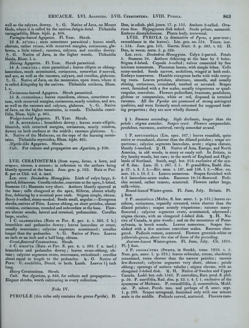 well as the calyxes, downy. Tj . G. Native of Java, on Mount Gede, where it is called by the natives Jatigie-betul. Thibaudia varingiaefolia, Blum, bijdr. p. 860. Varingia-leuved Agapetes. FI. Year. Shrub. 13 A. lu'cida ; stem sometimes parasitical; leaves small, obovate, rather retuse, with recurved margins, coriaceous, gla- brous, a little veined; racemes, calyxes, and corollas downy. . G. Native of Java, in the higher woods. Thibaudia litcida, Blum. 1. c. Shining Agapetes. FI. Year. Shrub parasitical. 14 A. coria'cea ; stem parasitical; leaves elliptic or oblong- lanceolate, much acuminated, coriaceous, somewhat 3-nerved, and are, as well as the racemes, calyxes, and corollas, glabrous. Tj. G. Native of Java, on the mountains, upon trees, where it is called Kilogiday by the natives. Thibaudia coriacea, Blum. 1. c. Coriaceous-\edL\ed Agapetes. Shrub parasitical. 15 A. cuneifolia ; leaves cuneiform, obtuse, sometimes re- tuse, with recurved margins, coriaceous, nearly veinless, and are, as well as the racemes and calyxes, glabrous. . G. Native of Java, on the higher mountains, in woods. Thibaudia cunei- folia, Blum, bijdr. p. 861. Wedge-leaved Agapetes. FI. Year. Shrub. 16 A. myrtoidea ; branchlets downy ; leaves ovate-elliptic, bluntish, with recurved margins, coriaceous, nearly veinless, downy on both surfaces at the midrib ; racemes glabrous. Ij ■ S. Native of the Moluccas, on the tops of the burning moun- tains. Thibaudia myrtoidea, Blum, bijdr. 861. Myrtle-like Agapetes. Shrub. Cult. For culture and propagation see Agarista, p. 838. LVII. CERATOSTE'MA (from Kepaq, fceras, a horn, and orriyuv, stemon, a stamen; in reference to the anthers being bluntly spurred at the base). Juss. gen. p. 163. Ruiz et lJav. fl. per et Chil. vol. 4. ined. Lin. syst. Decandria Monogynia. Limb of calyx large, 5- parted, foliaceous. Corolla tubular, coarctate at the apex, 5-lobed. Stamens 12 ; filaments very short. Anthers bluntly spurred at the base; cells elongated at the apex, filiform, almost wholly free, dehiscing by a terminal pore each. Stigma simple, obtuse. Berry 5-celled, many-seeded. Seeds small, angular.—Evergreen shrubs, natives of Peru. Leaves oblong, on short petioles, almost veinless, coriaceous, rounded and subcordate at the base. Flow- ers almost sessile, lateral and terminal, pedunculate. Corollas large, scarlet. 1 C. grandiflora (Ruiz et Pav. fl. per. 4. t. 383. f. b.) branchlets and peduncles downy; leaves lanceolate or ovate, usually mucronate; calycine segments acuminated; corollas longer than the peduncles. J?. G. Native of Peru. Leaves an inch or an inch and a half long, obtuse. Great-Jlomered Ceratostema. Shrub. 2 C. hirsu'ta (Ruiz, et Pav. fl. per. 4. t. 383. f. a. ined.) branchlets and peduncles downy; leaves ovate-oblong, ob- tuse ; calycine segments ovate, mucronate, reticulated ; corollas about equal in length to the peduncles. b . G. Native of Peru. C. cordifolia, Dunal, in herb. Lamb. Leaves 1-| inch long. Hairy Ceratostema. Shrub. Cult. See Agarista, p. 838, for culture and propagation.— Elegant shrubs, worth cultivating in every collection. Tribe IV. PYRO'LEiE (this tribe only contains the genus Pyrola). D. Don, in edinb. phil.journ. 17. p. 152. Anthers 2-celled. Ova- rium free. Hypogynous disk naked. Seeds peltate, samaroid. Embryo dicotyledonous. Plants leafy, terrestrial. LVIII. PYRO'LA (a diminutive of Pyrus, a pear-tree ; resemblance in the leaves). Lin. gen. no. 554. Tourn. inst. t. 134. Juss. gen. 161. Gaertn. fruct. 3. p. 303. t. 63. D. Don, in werm. mem. 5. p. 224. Lin. syst. Decandria Monogynia. Calyx 5-parted. Petals 5. Stamens 10. Anthers dehiscing at the base by 2 holes. Stigma 5-lobed. Capsule 5-celled; valves connected by fine intricate tomentum. Placentas lunate, with simple lobes. Cells many-seeded. Seeds narrow, scobiform, winged at both ends. Embryo transverse. Humble evergreen herbs with wide creep- ing roots. Leaves petiolate, alternate, smooth, and usually shining, coriaceous, crenulated, toothed or serrated. Scapes erect, furnished with a few scales, usually triquetrous or quad- rangular, convolute. Flowers pedicellate, bracteate, pendulous, globose or campanulate, white or red, disposed in terminal racemes. All the Pyrolce are possessed of strong astringent qualities, and were formerly much esteemed for supposed heal- ing properties ; they are now wholly disused. § 1. Stamens ascending. Style declinate, longer than the petals : stigma annular. Scapes erect. Flowers campanulate, pendulous, racemose, scattered, rarely somewhat secund. 1 P. rotundifolia (Lin. spec. 567.) leaves roundish, quite entire or crenulated, shorter than the dilated petioles ; scape tri- quetrous ; calycine segments lanceolate, acute; stigma clavate, bluntly 5-toothed. 7(. H. Native of Asia, Europe, and North America, in old woods, in stony or sandy soil. In Britain, in dry heathy woods, but rare ; in the north of England and High- lands of Scotland. Smith, engl. bot. 213. exclusive of the syn. of fl. dan. Lam. ill. t. 367. f. 1. P. grandiflora, Radd. diss. p. 27. t. 3. f. 2.—Riv. mon. t. 137. and 136. f. 2.—Mor. ox. sect. 12. t. 10. f. 1. Leaves numerous. Scapes furnished with 2-3 lanceolate-acute scales. Racemes 10-16-flowered. Pedi- cles secund, rather remote, scattered. Flowers rather large, milk-white. Round-leaved Winter-green. Fl. June, July. Britain. PI. foot. 2 P. asarifolia (Michx. fl. bor. amer. 1. p. 251.) leaves re- niform, coriaceous, repandly crenated, twice shorter than the dilated petioles; scapes acutely triquetrous; racemes many- flowered ; calycine segments ovate, acuminated, adpressed; stigma clavate, with an elongated 5-lobed disk. . H. Na- tive of Canada, in pine woods ; and on the mountains of Penn- sylvania, in beech woods. Leaves numerous. Scapes fur- nished with a few scarious convolute scales. Racemes elon- gated. Pedicels remote, scattered. Flowers greenish-white or yellowish-green, about the size of those of the preceding. Asarum-leaved Winter-green. Fl. June, July. Clt. 1810. PI. foot. 3 P. chlora'ntha (Swartz, in Stockh. trans. 1810. t. 5. Nutt. gen. amer. 1. p. 273.) leaves orbicular, retuse, obsoletely crenulated, twice shorter than the narrow petioles; raceme few-flowered; calycine segments very short, obtuse; petals oblong; openings of anthers tubular ; stigma clavate, with an elongated 5-lobed disk. If. H. Native of Sweden and Upper Canada. Lodd. bot. cab. 1542. P. convoluta, Bart. prod. fl. phil. p. 50. P. asarifolia, Rad. diss. p. 23. t. 4. f. 1. exclusive of the synonyme of Michaux. P. rotundifolia, /?, nummularia, Muhl. cat. P. minor, Pursh. mss. and perhaps of fl. amer. sept. 1. p. 299. Scapes tetragonal, furnished only with one minute scale in the middle. Pedicels curved, scattered. Flowers cam-
