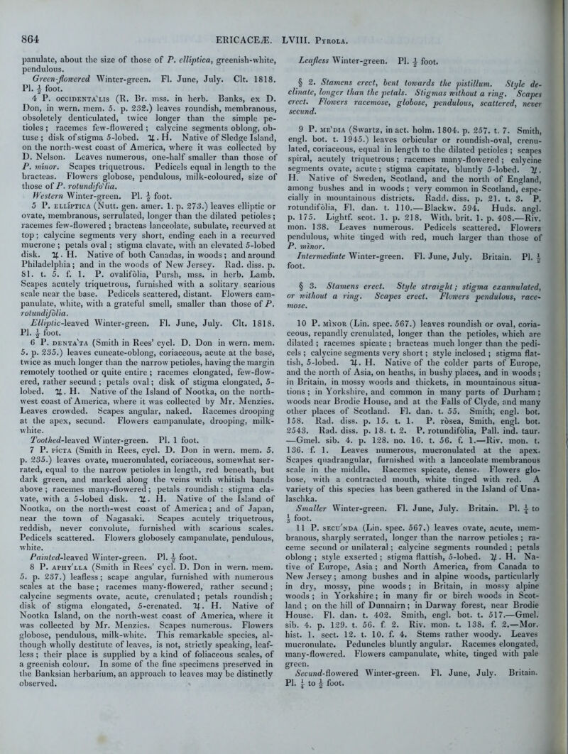 panulate, about the size of those of P. clliptica, greenish-white, pendulous. Green-jlorvered Winter-green. FI. June, July. Clt. 1818. PI. foot. 4 P. occidenta'lis (R. Br. mss. in herb. Banks, ex D. Don, in wern. mem. 5. p. 232.) leaves roundish, membranous, obsoletely denticulated, twice longer than the simple pe- tioles ; racemes few-flowered ; calycine segments oblong, ob- tuse ; disk of stigma 5-lobed. If.H. Native of Sledge Island, on the north-west coast of America, where it was collected by D. Nelson. Leaves numerous, one-half smaller than those of P. minor. Scapes triquetrous. Pedicels equal in length to the bracteas. Flowers globose, pendulous, milk-coloured, size of those of P. rotundifo'lia. Western Winter-green. PI. 4 foot. 5 P. elliptica (Nutt. gen. amer. 1. p. 273.) leaves elliptic or ovate, membranous, serrulated, longer than the dilated petioles; racemes few-flowered ; bracteas lanceolate, subulate, recurved at top; calycine segments very short, ending each in a recurved mucrone ; petals oval ; stigma clavate, with an elevated 5-lobed disk. If. H. Native of both Canadas, in woods ; and around Philadelphia; and in the woods of New Jersey. Rad. diss. p. 81. t. 5. f. 1. P. ovalifolia, Pursh, mss. in herb. Lamb. Scapes acutely triquetrous, furnished with a solitary scarious scale near the base. Pedicels scattered, distant. Flowers cam- panulate, white, with a grateful smell, smaller than those of P. rotundifolia. Elliptic-leaved Winter-green. FI. June, July. Clt. 1818. PI. £ foot. 6 P. denta'ta (Smith in Rees’ cycl. D. Don in wern. mem. 5. p. 235.) leaves cuneate-oblong, coriaceous, acute at the base, twice as much longer than the narrow petioles, having the margin remotely toothed or quite entire ; racemes elongated, few-flow- ered, rather secund ; petals oval; disk of stigma elongated, 5- lobed. If. H. Native of the Island of Nootka, on the north- west coast of America, where it was collected by Mr. Menzies. Leaves crowded. Scapes angular, naked. Racemes drooping at the apex, secund. Flowers campanulate, drooping, milk- white. Toothed-leaved Winter-green. PI. 1 foot. 7 P. pIcta (Smith in Rees, cycl. D. Don in wern. mem. 5. p. 235.) leaves ovate, mucronulated, coriaceous, somewhat ser- rated, equal to the narrow petioles in length, red beneath, but dark green, and marked along the veins with whitish bands above ; racemes many-flowered; petals roundish: stigma cla- vate, with a 5-lobed disk. If. H. Native of the Island of Nootka, on the north-west coast of America; and of Japan, near the town of Nagasaki. Scapes acutely triquetrous, reddish, never convolute, furnished with scarious scales. Pedicels scattered. Flowers globosely campanulate, pendulous, white. Painted-]ea.\ed Winter-green. PI. \ foot. 8 P. aphy'ela (Smith in Rees’ cycl. D. Don in wern. mem. 5. p. 237.) leafless; scape angular, furnished with numerous scales at the base; racemes many-flowered, rather secund; calycine segments ovate, acute, crenulated; petals roundish; disk of stigma elongated, 5-crenated. If. H. Native of Nootka Island, on the north-west coast of America, where it was collected by Mr. Menzies. Scapes numerous. Flowers globose, pendulous, milk-white. This remarkable species, al- though wholly destitute of leaves, is not, strictly speaking, leaf- less ; their place is supplied by a kind of foliaceous scales, of a greenish colour. In some of the fine specimens preserved in the Banksian herbarium, an approach to leaves may be distinctly observed. Leafless Winter-green. PI. \ foot. § 2. Stamens erect, bent towards the pistillum. Style de- cimate, longer than the petals. Stigmas without a ring. Scapes erect. Flowers racemose, globose, pendulous, scattered, never secund. 9 P. me'dia (Swartz, in act. holm. 1804. p. 257. t. 7. Smith, engl. bot. t. 1945.) leaves orbicular or roundish-oval, crenu- lated, coriaceous, equal in length to the dilated petioles ; scapes spiral, acutely triquetrous; racemes many-flowered ; calycine segments ovate, acute; stigma capitate, bluntly 5-lobed/ 1/. H. Native of Sweden, Scotland, and the north of England, among bushes and in woods ; very common in Scotland, espe- cially in mountainous districts. Radd. diss. p. 21. t. 3. P. rotundifolia, FI. dan. t. 110.— Blackw. 594. Huds. angl. p. 175. Lightf. scot. 1. p. 218. With. brit. 1. p. 408.—Riv. mon. 138. Leaves numerous. Pedicels scattered. Flowers pendulous, white tinged with red, much larger than those of P. minor. Intermediate Winter-green. FI. June, July. Britain. PI. I foot. § 3. Stamens erect. Style straight; stigma exannulated, or without a ring. Scapes erect. Flowers pendulous, race- mose. 10 P. minor (Lin. spec. 567.) leaves roundish or oval, coria- ceous, repandly crenulated, longer than the petioles, which are dilated ; racemes spicate ; bracteas much longer than the pedi- cels ; calycine segments very short; style inclosed ; stigma flat- tish, 5-lobed. If. H. Native of the colder parts of Europe, and the north of Asia, on heaths, in bushy places, and in woods ; in Britain, in mossy woods and thickets, in mountainous situa- tions ; in Yorkshire, and common in many parts of Durham ; woods near Brodie House, and at the Falls of Clyde, and many other places of Scotland. FI. dan. t. 55. Smith, engl. bot. 158. Rad. diss. p. 15. t. 1. P. rosea, Smith, engl. bot. 2543. Rad. diss. p. 18. t. 2. P. rotundifolia, Pall. ind. taur. —Gmel. sib. 4. p. 128. no. 16. t. 56. f. 1.—Riv. mon. t. 136. f. 1. Leaves numerous, mucronulated at the apex. Scapes quadrangular, furnished with a lanceolate membranous scale in the middle. Racemes spicate, dense. Flowers glo- bose, witli a contracted mouth, white tinged with red. A variety of this species has been gathered in the Island of Una- laschka. Smaller Winter-green. FI. June, July. Britain. PI. to 3 foot. 11 P. secu'nda (Lin. spec. 567.) leaves ovate, acute, mem- branous, sharply serrated, longer than the narrow petioles ; ra- ceme secund or unilateral; calycine segments rounded ; petals oblong; style exserted ; stigma flattish, 5-lobed. If. H. Na- tive of Europe, Asia; and North America, from Canada to New Jersey; among bushes and in alpine woods, particularly in dry, mossy, pine woods; in Britain, in mossy alpine woods; in Yorkshire; in many fir or birch woods in Scot- land ; on the hill of Dunnairn; in Darway forest, near Brodie House. FI. dan. t. 402. Smith, engl. bot. t. 517.—Gmel. sib. 4. p. 129. t. 56. f. 2. Riv. mon. t. 138. f. 2.—Mor. hist. 1. sect. 12. t. 10. f. 4. Stems rather woody. Leaves mucronulate. Peduncles bluntly angular. Racemes elongated, many-flowered. Flowers campanulate, white, tinged with pale green. AccMnrf-flowered Winter-green. FI. June, July. Britain. PI. 4 to 4 foot.
