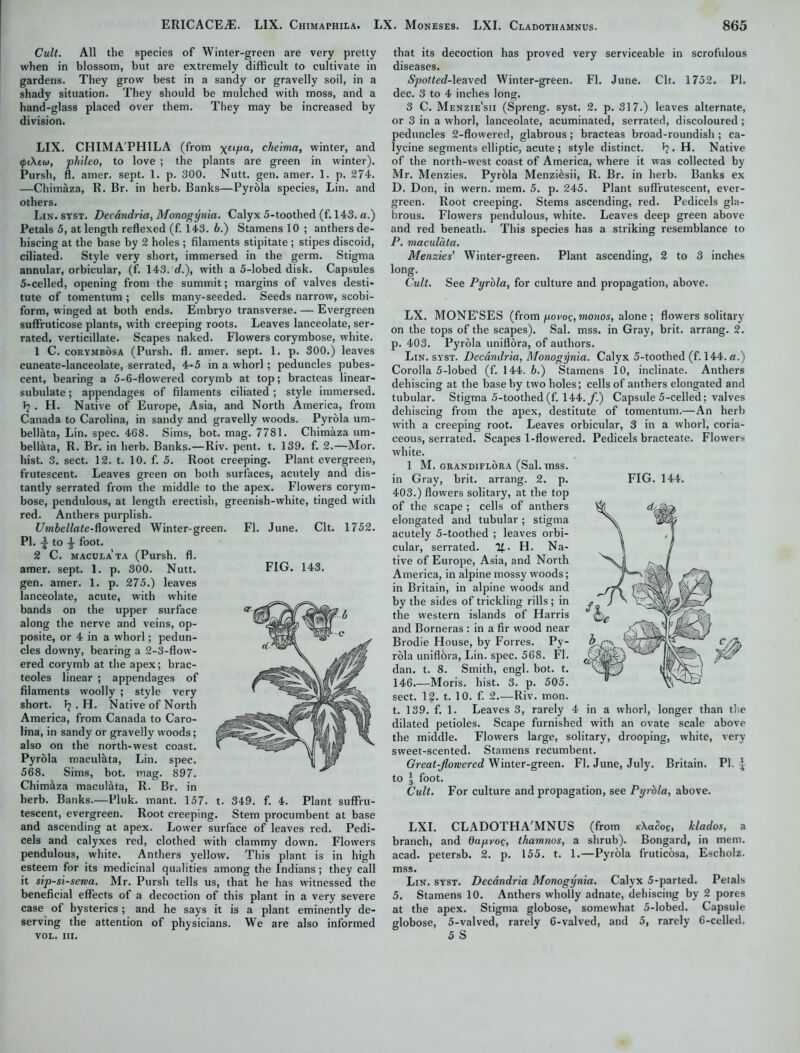 Cult. All the species of Winter-green are very pretty when in blossom, but are extremely difficult to cultivate in gardens. They grow best in a sandy or gravelly soil, in a shady situation. They should be mulched with moss, and a hand-glass placed over them. They may be increased by division. LIX. CHIMAPHILA (from x£liua> cheima, winter, and <pi\eu>, phileo, to love ; the plants are green in winter). Pursh, fl. amer. sept. 1. p. 300. Nutt. gen. amer. 1. p. 274. —Chimaza, R. Br. in herb. Banks—Pyrola species, Lin. and others. Lin. syst. Decdndria, Monogynia. Calyx 5-toothed (f. 143. a.) Petals 5, at length reflexed (f. 143. b.) Stamens 10 ; anthers de- hiscing at the base by 2 holes ; filaments stipitate ; stipes discoid, ciliated. Style very short, immersed in the germ. Stigma annular, orbicular, (f. 143. d.), with a 5-lobed disk. Capsules 5-celled, opening from the summit; margins of valves desti- tute of tomentum ; cells many-seeded. Seeds narrow, scobi- form, winged at both ends. Embryo transverse. — Evergreen suffruticose plants, with creeping roots. Leaves lanceolate, ser- rated, verticillate. Scapes naked. Flowers corymbose, white. 1 C. corymbosa (Pursh. fl. amer. sept. 1. p. 300.) leaves cuneate-lanceolate, serrated, 4-5 in a whorl; peduncles pubes- cent, bearing a 5-6-flowered corymb at top; bracteas linear- subulate ; appendages of filaments ciliated; style immersed. T? . H. Native of Europe, Asia, and North America, from Canada to Carolina, in sandy and gravelly woods. Pyrola um- bellata, Lin. spec. 408. Sims, bot. mag. 7781. Chimaza um- bellata, R. Br. in herb. Banks.—Riv. pent. t. 139. f. 2.—Mor. hist. 3. sect. 12. t. 10. f. 5. Root creeping. Plant evergreen, frutescent. Leaves green on both surfaces, acutely and dis- tantly serrated from the middle to the apex. Flowers corym- bose, pendulous, at length erectish, greenish-white, tinged with red. Anthers purplish. Umbellate-dowered Winter-green. Fl. June. Clt. 1752. PI. to foot. 2 C. macula ta (Pursh. fl. amer. sept. 1. p. 300. Nutt, gen. amer. 1. p. 275.) leaves lanceolate, acute, with white bands on the upper surface along the nerve and veins, op- posite, or 4 in a whorl; pedun- cles downy, bearing a 2-3-flow- ered corymb at the apex; brac- teoles linear ; appendages of filaments woolly ; style very short. 1? . H. Native of North America, from Canada to Caro- lina, in sandy or gravelly woods; also on the north-west coast. Pyrola maculata, Lin. spec. 568. Sims, bot. mag. 897. Chim&za maculata, R. Br. in herb. Banks.—Pluk. mant. 157. t. 349. f. 4. Plant suffru- tescent, evergreen. Root creeping. Stem procumbent at base and ascending at apex. Lower surface of leaves red. Pedi- cels and calyxes red, clothed with clammy down. Flowers pendulous, white. Anthers yellow. This plant is in high esteem for its medicinal qualities among the Indians; they call it sip-si-serva. Mr. Pursh tells us, that he has witnessed the beneficial effects of a decoction of this plant in a very severe case of hysterics ; and he says it is a plant eminently de- serving the attention of physicians. We are also informed VOL. III. FIG. 143. that its decoction has proved very serviceable in scrofulous diseases. SpottedAeaved Winter-green. Fl. June. Clt. 1752. PI. dec. 3 to 4 inches long. 3 C. Menzie'sii (Spreng. syst. 2. p. 317.) leaves alternate, or 3 in a whorl, lanceolate, acuminated, serrated, discoloured; peduncles 2-flowered, glabrous; bracteas broad-roundish ; ca- lycine segments elliptic, acute ; style distinct. Ij. H. Native of the north-west coast of America, where it was collected by Mr. Menzies. Pyrola Menzi&sii, R. Br. in herb. Banks ex D. Don, in wern. mem. 5. p. 245. Plant suflrutescent, ever- green. Root creeping. Stems ascending, red. Pedicels gla- brous. Flowers pendulous, white. Leaves deep green above and red beneath. This species has a striking resemblance to P. maculata. Menzies' Winter-green. Plant ascending, 2 to 3 inches long. Cult. See Pyrola, for culture and propagation, above. FIG. 144. LX. MONE'SES (from yovoc, monos, alone ; flowers solitary on the tops of the scapes). Sal. mss. in Gray, brit. arrang. 2. p. 403. Pyrola uniflora, of authors. Lin. syst. Decdndria, Monogynia. Calyx 5-toothed (f. 144. a.) Corolla 5-lobed (f. 144. £>.) Stamens 10, inclinate. Anthers dehiscing at the base by two holes; cells of anthers elongated and tubular. Stigma 5-toothed (f. 144. f.) Capsule 5-celled; valves dehiscing from the apex, destitute of tomentum.—An herb with a creeping root. Leaves orbicular, 3 in a whorl, coria- ceous, serrated. Scapes 1-flowered. Pedicels bracteate. Flowers white. 1 M. GRAN DIFLORA (Sal. UlSS. in Gray, brit. arrang. 2. p. 403.) flowers solitary, at the top of the scape ; cells of anthers elongated and tubular ; stigma acutely 5-toothed ; leaves orbi- cular, serrated. %. H. Na- tive of Europe, Asia, and North America, in alpine mossy woods; in Britain, in alpine woods and by the sides of trickling rills ; in the western islands of Harris and Borneras : in a fir wood near Brodie House, by Forres. Py- rola uniflora, Lin. spec. 568. Fl. dan. t. 8. Smith, engl. bot. t. 146.—Moris, hist. 3. p. 505. sect. 1?. t. 10. f. 2.—Riv. mon. t. 139. f. 1. Leaves 3, rarely 4 in a whorl, longer than the dilated petioles. Scape furnished with an ovate scale above the middle. Flowers large, solitary, drooping, white, very sweet-scented. Stamens recumbent. Great-Jlowered Winter-green. Fl. June, July. Britain. PI. \ to 3 foot. Cult. For culture and propagation, see Pyrola, above. LXI. CLADOTHA'MNUS (from icXatloe, klados, a branch, and dagvoc, thamnos, a shrub). Bongard, in mem. acad. petersb. 2. p. 155. t. 1.—Pyrola fruticosa, Escholz. mss. Lin. syst. Decdndria Monogynia. Calyx 5-parted. Petals 5. Stamens 10. Anthers wholly adnate, dehiscing by 2 pores at the apex. Stigma globose, somewhat 5-lobed. Capsule globose, 5-valved, rarely 6-valved, and 5, rarely 6-celled. 5 S