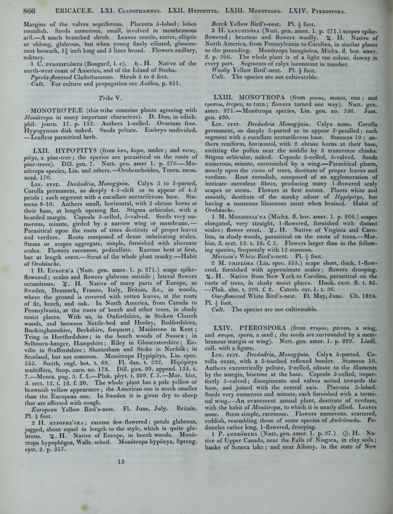 Margins of the valves septiferous. Placenta 5-lobed; lobes roundish. Seeds numerous, small, involved in membranous aril.—A much branched shrub. Leaves sessile, entire, elliptic or oblong, glabrous, but when young finely ciliated, glauces- cent beneath, 1| inch long and 5 lines broad. Flowers axillary, solitary. 1 C. pyroliflorus (Bongard, 1. c). b • H. Native of the north-west coast of America, and of the Island of Sitcha. Pyrola-Jlowered Cladothamnus. Shrub 4 to 6 feet. Cult. For culture and propagation see Azhlea, p. 851. Tribe V. MONOTRO'PEAi (this tribe contains plants agreeing with Monotropa in many important characters). D. Don, in edinb. phil. journ. 17. p. 152. Anthers 1-celled. Ovarium free. Hypogynous disk naked. Seeds peltate. Embryo undivided. — Leafless parasitical herb. LXII. HYPO'PITYS (from invo, hupo, under; and ttitvq, pitys, a pine-tree ; the species are parasitical on the roots of pine-trees). Dill. gen. 7. Nutt. gen. amer 1. p. 270.—Mo- notropa species, Lin. and others.—Orobanchoides, Tourn. mem. acad. 170. Lin. syst. Decandria, Monogynia. Calyx 3 to 5-parted. Corolla permanent, so deeply 4-5-cleft as to appear of 4-5 petals ; each segment with a cucullate nectariferous base. Sta- mens 8-10. Anthers small, horizontal, with 2 obtuse horns at their base, at length opening flat. Stigma orbicular, with a bearded margin. Capsule 5-celled, 5-valved. Seeds very nu- merous, minute, girded by a narrow wing or membrane.— Parasitical upon the roots of trees destitute of proper leaves and verdure. Roots composed of dense imbricating scales. Stems or scapes aggregate, simple, furnished with alternate scales. Flowers racemose, pedicellate. Raceme bent at first, but at length erect.—Scent of the whole plant musky.—Habit of Orobanche. 1 H. Europe'a (Nutt. gen. amer. 1. p. 271.) scape spike- flowered ; scales and flowers glabrous outside ; lateral flowers octandrous. 1/. H. Native of many parts of Europe, as Sweden, Denmark, France, Italy, Britain, &c., in woods, where the ground is covered with rotten leaves, at the roots of fir, beech, and oak. In North America, from Canada to Pennsylvania, at the roots of beech and other trees, in shady moist places. With us, in Oxfordshire, in Stoken Church woods, and between Nettle-bed and Henley, Bedfordshire, Buckinghamshire, Berkshire, frequent; Maidstone in Kent ; Tring in Hertfordshire; in the beech woods of Sussex; in Selbourn-hanger, Hampshire; Riley in Gloucestershire; En- ville in Staffordshire ; Shottesham and Stoke in Norfolk; in Scotland, but not common. Monotropa Hypopitys, Lin. spec. 555. Smith, engl. bot. t. 69. FI. dan. t. 232. Hipopitys multiflora, Scop. earn. no. 178. Dill. gies. 99. append. 134. t. 7.—Mentz. pug. 3. f. 5.—Pluk. phyt. t. 209. f. 5.—Mor. hist. 3. sect. 12. t. 16. f. 20. The whole plant has a pale yellow or brownish yellow appearance ; the American one is much smaller than the European one. In Sweden it is given dry to sheep that are affected with cough. European Yellow Bird’s-nest, FI. June, July. Britain. PI. § foot. 2 H. hypophe'gea ; raceme few-flowered; petals glabrous, jagged, about equal in length to the style, which is quite gla- brous. %. H. Native of Europe, in beech woods. Mono- tropa hypophegea, Wallr. sched. Monotropa hypoxya, Spreng. syst. 2. p. 317. Beech Yellow Bird’s-nest. PI. A foot. 3 H. lanuginosa (Nutt. gen. amer. 1. p. 271.) scapes spike- flowered ; bracteas and flowers woolly. 1£. H. Native of North America, from Pennsylvania to Carolina, in similar places to the preceding. Monotropa lanuginbsa, Michx. fl. bor. amer. 2. p. 266. The whole plant is of a light tan colour, downy in every part. Segments of calyx inconstant in number. Woolly Yellow Bird’-nest. PI. -J- foot. Cult. The species are not cultivatable. LXIII. MONO'TROPA (from povoq, monos, one ; and Tpo7re(i), tropeo, to turn ; flowers turned one way). Nutt. gen. amer. 271.—Monotropa species, Lin. gen. no. 536. Juss. gen. 430. Lin. syst. Decandria Monogynia. Calyx none. Corolla permanent, so deeply 5-parted as to appear 5-petalled; each segment with a cucullate nectariferous base. Stamens 10 ; an- thers reniform, horizontal, with 2 obtuse horns at their base, emitting the pollen near the middle by 2 transverse chinks. Stigma orbicular, naked. Capsule 5-celled, 5-valved. Seeds numerous, minute, surrounded by a wing.—Parasitical plants, mostly upon the roots of trees, destitute of proper leaves and verdure. Root roundish, composed of an agglomeration of intricate succulent fibres, producing many 1-flowered scaly scapes or stems. Flowers at first nutant. Plants white and smooth, destitute of the musky odour of Hypopitys, but having a nauseous lileaceous scent when bruised. Habit of Orobanche. 1 M. Morisonia'na (Michx. fl. bor. amer. 1. p. 266.) scapes elongated, very straight, 1-flowered, furnished with distant scales; flower erect. 1/. H. Native of Virginia and Caro- lina, in shady woods, parasitical on the roots of trees.—Mor. hist. 3. sect. 12. t. 16. f. 5. Flowers larger than in the follow- ing species, frequently with 12 stamens. Morison’s White Bird’s-nest. PI. \ foot. 2 M. uniflora (Lin. spec. 555.) scape short, thick, 1-flow- ered, furnished with approximate scales ; flowers drooping. 1£. H. Native from New York to Carolina, parasitical on the roots of trees, in shady moist places. Hook. exot. fl. t. 85. —Pluk. aim. t. 209. f. 2. Catesb. car. 1. t. 36. One-Jlorvered White Bird’s-nest. Fl. May, June. Clt. 1824. PI. \ foot. Cult. The species are not cultivatable. LXIV. PTEROSPORA (from rrrtpov, pteron, a wing, and inropa, spora, a seed ; the seeds are surrounded by a mem- branous margin or wing). Nutt. gen. amer. 1. p. 269. Lindl. coll, with a figure. Lin. syst. Decdndria, Monogynia. Calyx 5-parted. Co- rolla ovate, with a 5-toothed reflexed border. Stamens 10. Anthers excentrically peltate, 2-celled, adnate to the filaments by the margin, bisetose at the base. Capsule 5-celled, imper- fectly 5-valved; dissepiments and valves united towards the base, and joined with the central axis. Placenta 5-lobed. Seeds very numerous and minute, each furnished with a termi- nal wing.—An evanescent annual plant, destitute of verdure, with the habit of Monotropa, to which it is nearly allied. Leaves none. Stem simple, racemose. Flowers numerous, scattered, reddish, resembling those of some species oi Andromeda. Pe- duncles rather long, 1-flowered, drooping. 1 P. andromeda (Nutt. gen. amer. 1. p. 27.) ©. H. Na- tive of Upper Canada, near the Falls of Niagara, in clay soils; banks of Seneca lake ; and near Albany, in the state of New 13