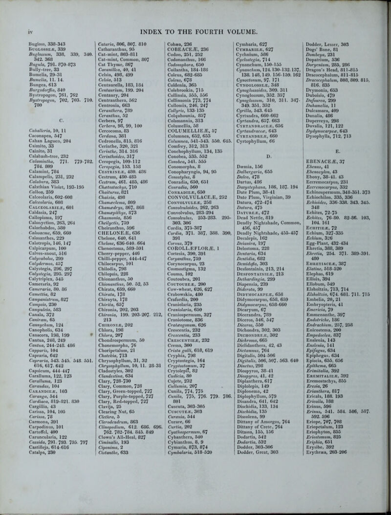 Bugloss, 338-343 Buglossee, 339 Buglossum, 338, 339, 340. 342. 368 Bugula, 791. 870-873 Bully-tree, 33 Bumelia, 29-31 Bumelia, 11. 14. Bungea, 613 Burgsdorffia, 840 Bystropogon, 761, 762 Bystropogon, 702, 703. 710. 780 C. Caballeria, 10, 11 Caconapea, 547 Cahan Laguen, 204 Caimito, 33 Cainito, 31 Calabash-tree, 232 Calamintha, 771- 779-782. 784. 809 Calamint, 784 Calampelis, 231, 232 Calabura, 383 Calathian Violet, 193-195 Calboa, 259 Calceolaria, 602-608 Calceolaria, 608 Calceolariee, 601 Caldasia, 247 Callopisma, 197 Calonyction, 263, 264 Calorhabdos, 580 Calosacme, 659, 660 Calosanthes, 229 Calotropis, 146, 147 Calpicarpum, 100 Calves-snout, 516 Calycabolos, 299 Calydermos, 457 Calystegia, 296, 297 Calystegia, 295. 297 Calytriplex, 545 Cameraria, 92 Cameraria, 80. 86 Camettia, 82 Campanistrum, 827 Campsis, 230 Campuleia, 583 Canala, 372 Caniram, 65 Cannychum, 124 Canopholis, 634 Canscora, 198, 199 Cantua, 248, 249 Cantua, 244-248. 486 Capparis, 104 Capraria, 642 Capraria, 543. 545. 548. 551. 616, 617- 642 Capsicum, 444-447 Caralluma, 122, 123 Caralluma, 123 Carandas, 104 CARANDIEE, 103 Caranga, 544 Cardiaca, 819-821. 830 Cargillia, 43 Carissa, 104, 105 Carissa, 78 Carmona, 391 Carpodinus, 101 Cartoffel, 400 Caruncularia, 122 Cassida, 791. 793. 795. 797 Castilleja, 614-616 Catalpa, 230 Cataria, 806, 807- 810 Catharantlius, 95 Cat-mint, 803-811 Cat-mint, Common, 807 Cat Thyme, 867 Cavanillea, 40, 41 Celsia, 498, 499 Celsia, 513 Centaurella, 183, 184 Centuurium, 199. 204 Centaury, 204 Centranthera, 562 Centronia, 663 Ceranthera, 789 Ceranthus, 52 Cerbera, 97 Cerbera, 98, 99, 100 Cercocoma, 83 Cerdana, 381 Cedronella, 815, 816 Cerinthe, 320, 321 Cerinthe, 314. 316 Cerinthoides, 317 Ceropegia, 109-112 Ceropegia, 153. 158 Cestrinee, 480. 486 Cestrum, 480-485 Oestrum, 461. 485, 486 ChiEtostachys, 710 Chaiturus, 821 Chaixia, 498 Chameeclema, 809 Chamadrys, 867, 868 Chamcepithys, 873 Cliasmonia, 856 Cheilyctis, 759 Cheiranthus, 596 CHELONE7E, 636 Chelone, 640, 641 Chelone, 636-640. 664 Chenostoma, 589-591 Cherry-pepper, 446 Chilli-pepper, 444-447 Chilocarpus, 101 Chilodia, 798 Chilopsis, 228 Chionanthus, 50 Chionanthus, 50. 52, 53 Chirata, 659, 660 Chirata, 178 Chirayta, 178 Clarita, 657 Chironia, 202, 203 Chironia, 199. 203-207- 212, 213 Chironie, 202 Chlora, 198 Chlora, 207 Chondrospermum, 50 Chonemorpha, 76 Choripetalum, 21 Chotekia, 713 Chrysophyllum, 31, 32 Chrysophyllum, 10, 11. 28-31 Cladostyles, 302 Clandestina, 634 Clary, 728-730 Clary, Common, 728 Clary, Green-topped, 727 Clary, Purple-topped, 727 Clary, Red-topped, 727 Clavija, 25 Clearing Nut, 65 Clethra, 5 Clerodendrum, 863 Clinopodium, 612. 686. 696. 762. 782-784. 845. 849 Clown’s All-Heal, 827 Ciminalis, 193 Ciponima, 2 Cislanthe, 633 Cobaea, 236 COBEACEiE, 236 Codon, 251, 252 Codonanthus, 166 Codonophora, 650 Coilantha, 184-186 Coleus, 682-685 Coleus, 678 Coldenia, 365 Colebrookia, 716 Collinsia, 555, 556 Collinsonia 773, 774 Collomia, 246, 247 Collyris, 133-135 Colquhounia, 857 Colsmannia, 313 Columellia, 58 COLUMELLIEjE, 57 Columnea, 652, 653 Columnea, 541-543. 550. 645. Comfrey, 312, 313 Conchophyllum, 134, 135 Conobea, 535. 552 Conobea, 541. 555 Conomorpha, 8 Conopharyngia, 94, 95 Conostylus, 8 Conradia, 650, 651 Conradia, 560 C'ONRADIEE, 650 CONVOLVULACE^E, 252 CONVOLVULEE, 258 Convolvuloides, 262, 263 Convolvulus, 283-294 Convolvulus, 253-283. 295- 303. 306 Cordia, 375-387 Cordia, 371- 387, 388. 390, 391 Cornus, 379 COROLL2EFLOR2E, 1 Cortesia, 390, 391 Coryanthus, 759 Corynocarpus, 23 Cosmostigma, 132 Couma, 102 Coutoubea, 201 Coutoubee, 200 Cow-wheat, 626, 627 Crabowskia, 480 Crafurdia, 200 Craniolaria, 235 Craniolaria, 650 Craniospermum, 327 Craniotome, 836 Crataogonum, 626 Crescentia, 232 Crescentia, 233 CRESCENTIEE, 232 Cressa, 300 Crista galli, 618, 619 Cryphia, 798 Cryptostegia, 164 Cryptostomum, 37 Crytolepis, 82 Cudicia, 80 Cujete, 232 Cullumia, 207 Cunila, 774, 775 Cunila, 775, 776. 779. 786. 801 Cuscuta, 303-305 Cuscutee, 303 Curania, 544 Curare, 66 Curtia, 202 Cyathospermum, 67 Cybanthera, 540 Cybianthus, 8, 9 Cymaria, 873, 874 Cymbalaria, 518-520 Cymbaria, 627 Cymbariee, 627 Cychnium, 586 Cyclostegia, 714 Cynanchum, 150-155 Cynanchum, 124.130-132.137, 138. 148,149. 156-159. 162 Cynoctonum, 97- 171 Cynoglossee, 348 Cynoglossoides, 309. 311 Cynoglossum, 352. 357 Cynoglossum, 310, 311. 347- 349. 351, 352 Cyrilla, 543. 645 Cyrtandra, 660-662 Cyrtandra, 657- 663 Cyrtandracee, 656 Cyrtandracea, 643 Cyrtandree,660 Cyrtophyllum, 66 D. Daemia, 156 Dalbergaria, 655 Dalea, 478 Dartus, 486 Dasystephana, 186, 187- 194 Date Plum, 38-41 Date Plum, Virginian, 39 Datura, 472-474 Datura, 475 Daturee, 472 Dead Nettle, 819 Deadly Nightshade, Common, 456, 457 Deadly Nightshade, 455-457 Decalepis, 162 Deianira, 197 Delostoma, 228 Dentaria, 634 Dentidia, 682 Demidofia, 303 Desfontainia, 213, 214 Desfontainiee, 213 Delhardingia, 299 Diapensia, 239 Diderota, 99 Didymocarpee, 658 Didymocarpus, 658, 659 Didymocarpus, 658-660 Dicaryum, 67 Dicerandra, 789 Diceros, 546, 547 Diceros, 550 Dichondra, 302, 303 Dichondree, 302 Dichroma, 665 Diclidanthera, 42, 43 Dictamnus, 764 Digitalis, 504- 506 Digitalis, 506, 507- 563. 640 Dinetus, 298 Diospyros, 38-41 Diospyros, 41, 42 Diplanthera, 617 Diplolepis, 149 Diplonema, 42 Diplophyllum, 579 Disandra, 641, 642 Dischidia, 133, 134 Dischidia, 135 Dissolena, 99 Dittany of Amorgos, 764 Dittany of Crete, 764 Ditassa, 155, 156 Dodartia, 542 Dodartia, 532 Dodder, 303-306 Dodder, Great, 303 Dodder, Lesser, 303 Dogs’ Bane, 81 Dombeya, 231 Dopatrium, 536 Dorycnium, 285, 286 Dragon's Head, 811-815 Dracocephalum, 811-815 Drucocephalum, 808, 809. 815, 816. 835 Drymonia, 653 Duboisia, 479 Ditfourea, 299 Duhamelia, 11 Dulcamara, 409 Dunalia, 486 Duperreya, 298 Duvalia, 121, 122 Dydymocarpecc, 643 Dysophylla, 712, 713 E. EBENACEjE, 37 Ebenus, 41 Ebenoxylon, 43 Ebony, 38-41. 43 Eccremocarpus, 231 Eccremocarpus, 332 Echinospermum, 348-351. 373 Echiochilon, 335, 336 Echioides, 336-338. 343. 345. 348 Echites, 72-75 Echites, 76-80. 82-86. 103, 104. 161 Echitiee, 72 Echium, 327-335 Echium, 326 Egg-Plant, 432-434 Ehretia, 388, 389 Ehretia, 254. 371. 389-391. 480 Ehretiacee, 387 Elatine, 518-520 Elephas, 619 Ellisia, 394 Ellobum, 549 Elsholtzia, 713, 714 Elsholtzia, 674. 681. 711- 715 Embelia, 20, 21 Embryopteris, 41 Emericia, 79 Emmenanthe, 397 Endotriche, 186 Endrachium, 257, 258 Enicostema, 200 Empedoclea, 837 Enslenia, 143 Enslenia, 141 Epifagus, 634 Epiphegus, 634 Episcia, 655, 656 Epithema, 665 Erimitalia, 392 Eremitaliee, 392 Eremostachys, 855 Eresia, 26 Erianthera, 817 Ericala, 188. 193 Ericoila, 188 Erinus, 596 Erinus, 541. 584. 586, 587- 592. 596 Eriope, 797, 708 Eriopetalum, 123 Eriophyton, 855 Eriostomum, 825 Eriphia, 651 Erysibe, 392 Erythraea, 203-206