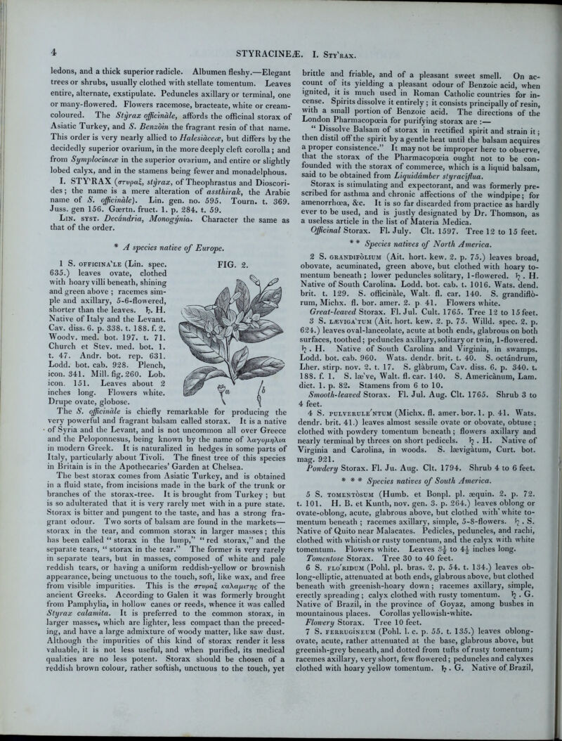 STYRACINE7E. I. Sty'rax. ledons, and a thick superior radicle. Albumen fleshy.—Elegant trees or shrubs, usually clothed with stellate tomentum. Leaves entire, alternate, exstipulate. Peduncles axillary or terminal, one or many-flowered. Flowers racemose, bracteate, white or cream- coloured. The Styrax officinale, affords the officinal storax of Asiatic Turkey, and S. Benzoin the fragrant resin of that name. This order is very nearly allied to Halesiacece, but differs by the decidedly superior ovarium, in the more deeply cleft corolla; and from Symplocinece in the superior ovarium, and entire or slightly lobed calyx, and in the stamens being fewer and monadelphous. I. STY'RAX (arrvpat, styrax, of Theophrastus and Dioscori- des; the name is a mere alteration of assthirak, the Arabic name of S. officinale). Lin. gen. no. 595. Tourn. t. 369. Juss. gen 156. Gaertn. fruct. 1. p. 284. t. 59. Lix. syst. Decdndria, Monogynia. Character the same as that of the order. * A species native of Europe. 635.) leaves ovate, clothed with hoary villi beneath, shining and green above ; racemes sim- ple and axillary, 5-6-flowered, shorter than the leaves. Ij. H. Native of Italy and the Levant. Cav. diss. 6. p. 338. t. 188. f. 2. Woodv. med. hot. 197. t. 71. Church et Stev. med. bot. 1. t. 47. Andr. bot. rep. 631. Lodd. bot. cab. 928. Plench, icon. 341. Mill. fig. 260. Lob. icon. 151. Leaves about 2 inches long. Flowers white. Drupe ovate, globose. very powerful and fragrant balsam called storax. It is a native of Syria and the Levant, and is not uncommon all over Greece and the Peloponnesus, being known by the name of XayoprjXia in modern Greek. It is naturalized in hedges in some parts of Italy, particularly about Tivoli. The finest tree of this species in Britain is in the Apothecaries’ Garden at Chelsea. The best storax comes from Asiatic Turkey, and is obtained in a fluid state, from incisions made in the bark of the trunk or branches of the storax-tree. It is brought from Turkey ; but is so adulterated that it is very rarely met with in a pure state. Storax is bitter and pungent to the taste, and has a strong fra- grant odour. Two sorts of balsam are found in the markets— storax in the tear, and common storax in larger masses; this has been called “ storax in the lump,” “ red storax,” and the separate tears, “ storax in the tear.” The former is very rarely in separate tears, but in masses, composed of white and pale reddish tears, or having a uniform reddish-yellow or brownish appearance, being unctuous to the touch, soft, like wax, and free from visible impurities. This is the orvpa£ KaXapirr/e of the ancient Greeks. According to Galen it was formerly brought from Pamphylia, in hollow canes or reeds, whence it was called Styrax calamita. It is preferred to the common storax, in larger masses, which are lighter, less compact than the preced- ing, and have a large admixture of woody matter, like saw dust. Although the impurities of this kind of storax render it less valuable, it is not less useful, and when purified, its medical qualities are no less potent. Storax should be chosen of a reddish brown colour, rather softish, unctuous to the touch, yet brittle and friable, and of a pleasant sweet smell. On ac- count of its yielding a pleasant odour of Benzoic acid, when ignited, it is much used in Roman Catholic countries for in- cense. Spirits dissolve it entirely ; it consists principally of resin, with a small portion of Benzoic acid. The directions of the London Pharmacopoeia for purifying storax are :— “ Dissolve Balsam of storax in rectified spirit and strain it; then distil off the spirit by a gentle heat until the balsam acquires a proper consistence.” It may not be improper here to observe, that the storax of the Pharmacopoeia ought not to be con- founded with the storax of commerce, which is a liquid balsam, said to be obtained from Liquiddmber slyracijlua. Storax is stimulating and expectorant, and was formerly pre- scribed for asthma and chronic affections of the windpipe; for amenorrhoea, &c. It is so far discarded from practice as hardly ever to be used, and is justly designated by Dr. Thomson, as a useless article in the list of Materia Medica. Officinal Storax. FI. July. Clt. 1597. Tree 12 to 15 feet. * * Species natives of North America. 2 S. grandifolium (Ait. hort. kew. 2. p. 75.) leaves broad, obovate, acuminated, green above, but clothed with hoary to- mentum beneath; lower peduncles solitary, 1-flowered. Tj . H. Native of South Carolina. Lodd. bot. cab. t. 1016. Wats. dend. brit. t. 129. S. officinale, Walt. fl. car. 140. S. grandiflo- rum, Michx. fl. bor. amer. 2. p 41. Flowers white. Great-leaved Storax. Fl. Jul. Cult. 1765. Tree 12 to 15feet. 3 S. ljeviga'tum (Ait. hort. kew. 2. p. 75. Willd. spec. 2. p. 624.) leaves oval-lanceolate, acute at both ends, glabrous on both surfaces, toothed; peduncles axillary, solitary or twin, 1-flowered. T? . H. Native of South Carolina and Virginia, in swamps. Lodd. bot. cab. 960. Wats, dendr. brit. t. 40. S. octandrum, Lher. stirp. nov. 2. t. 17. S. gl&brum, Cav. diss. 6. p. 340. t. 188. f. 1. S. lae've, Walt. fl. car. 140. S. Americanum, Lam. diet. 1. p. 82. Stamens from 6 to 10. Smooth-leaved Storax. Fl. Jul. Aug. Clt. 1765. Shrub 3 to 4 feet. dendr. brit. 41.) leaves almost sessile ovate or obovate, obtuse; clothed with powdery tomentum beneath; flowers axillary and nearly terminal by threes on short pedicels. Tj . H. Native of Virginia and Carolina, in woods. S. laevigatum, Curt. bot. mag. 921. Powdery Storax. Fl. Ju. Aug. Clt. 1794. Shrub 4 to 6 feet. * * * Species natives of South America. 5 S. tomentosum (Humb. et Bonpl. pi. aequin. 2. p. 72. t. 101. H. B. et Kunth, nov. gen. 3. p. 264.) leaves oblong or ovate-oblong, acute, glabrous above, but clothed with' white to- mentum beneath ; racemes axillary, simple, 5-8-flowers, fj. S. Native of Quito near Malacates. Pedicles, peduncles, and rachi, clothed with whitish or rusty tomentum, and the calyx with white tomentum. Flowers white. Leaves 3^ to 4^ inches long. Tomentose Storax. Tree 30 to 40 feet. 6 S. flo'ridum (Pohl. pi. bras. 2. p. 54. t. 134.) leaves ob- long-elliptic, attenuated at both ends, glabrous above, but clothed beneath with greenish-hoary down ; racemes axillary, simple, erectly spreading ; calyx clothed with rusty tomentum. J? . G. Native of Brazil, in the province of Goyaz, among bushes in mountainous places. Corollas yellowish-white. Flowery Storax. Tree 10 feet. 7 S. ferrugineum (Pohl. 1. c. p. 55. t. 135.) leaves oblong- ovate, acute, rather attenuated at the base, glabrous above, but greenish-grey beneath, and dotted from tufts of rusty tomentum; racemes axillary, very short, few flowered; peduncles and calyxes clothed with hoary yellow tomentum. 1?. G. Native of Brazil,