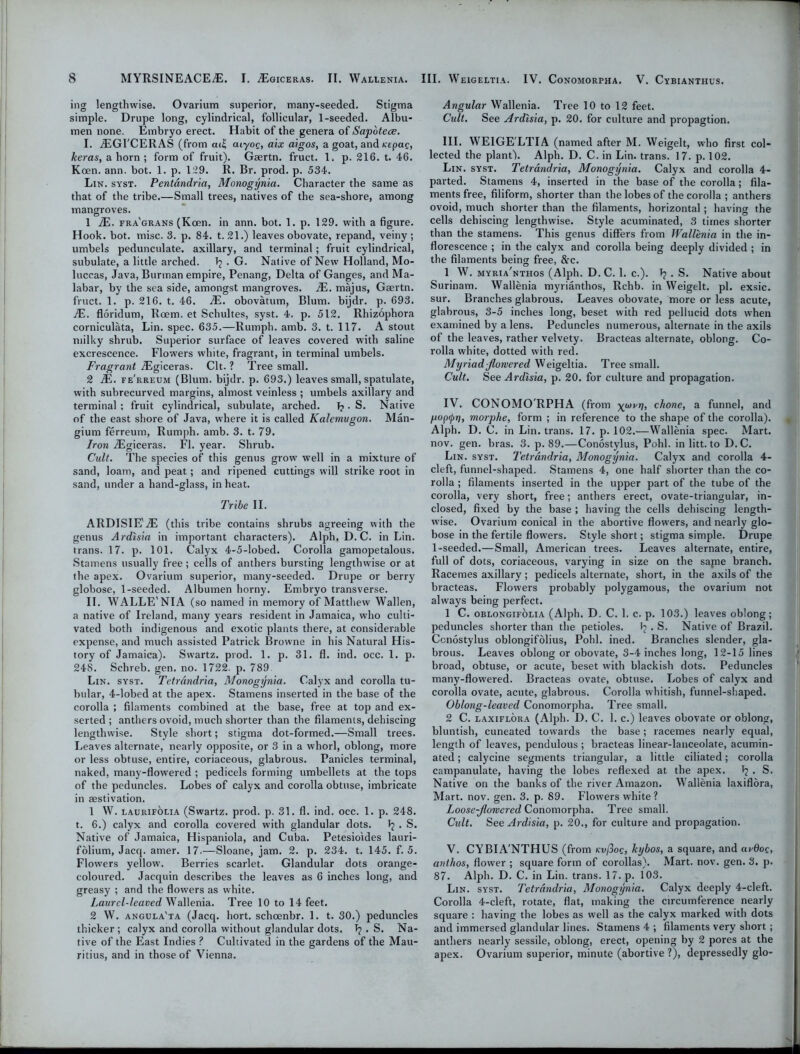 ing lengthwise. Ovarium superior, many-seeded. Stigma simple. Drupe long, cylindrical, follicular, 1-seeded. Albu- men none. Embryo erect. Habit of the genera of Sapotece. I. jEGI'CERAS (from ail aiyoc, aix aigos, a goat, and Kepae, keras, a horn ; form of fruit). Gaertn. fruct. 1. p. 216. t. 46. Keen. ann. bot. 1. p. 129. R. Br. prod. p. 534. Lin. syst. Pentdndria, Monogynia. Character the same as that of the tribe.—Small trees, natives of the sea-shore, among mangroves. 1 IE. fra'grans (Keen, in ann. bot. 1. p. 129. with a figure. Hook. bot. misc. 3. p. 84. t. 21.) leaves obovate, repand, veiny ; umbels pedunculate, axillary, and terminal; fruit cylindrical, subulate, a little arched. . G. Native of New Holland, Mo- luccas, Java, Burman empire, Penang, Delta of Ganges, and Ma- labar, by the sea side, amongst mangroves. IE. majus, Gaertn. fruct. 1. p. 216. t. 46. IE. obovatum, Blum, bijdr. p. 693. IE. floridum, Roem. et Schultes, syst. 4. p. 512. Rhizophora corniculata, Lin. spec. 635.—Rurnph. amb. 3. t. 117. A stout milky shrub. Superior surface of leaves covered with saline excrescence. Flowers white, fragrant, in terminal umbels. Fragrant ASgiceras. Clt. ? Tree small. 2 IE. fe'rreum (Blum, bijdr. p. 693.) leaves small, spatulate, with subrecurved margins, almost veinless ; umbels axillary and terminal ; fruit cylindrical, subulate, arched. 1? . S. Native of the east shore of Java, where it is called Kalemugon. Man- gium ferreum, Rumph. amb. 3. t. 79. Iron jEgiceras. Fl. year. Shrub. Cult. The species of this genus grow well in a mixture of sand, loam, and peat; and ripened cuttings will strike root in sand, under a hand-glass, in heat. Tribe II. ARDISIE'iE (this tribe contains shrubs agreeing with the genus Ardisia in important characters). Alph. D. C. in Lin. trans. 17. p. 101. Calyx 4-5-lobed. Corolla gamopetalous. Stamens usually free; cells of anthers bursting lengthwise or at the apex. Ovarium superior, many-seeded. Drupe or berry globose, 1-seeded. Albumen horny. Embryo transverse. II. WALLE'NIA (so named in memory of Matthew Wallen, a native of Ireland, many years resident in Jamaica, who culti- vated both indigenous and exotic plants there, at considerable expense, and much assisted Patrick Browne in his Natural His- tory of Jamaica). Swartz, prod. 1. p. 31. fl. ind. occ. 1. p. 248. Schreb. gen. no. 1722. p. 789 Lin. syst. Tetrandria, Monogynia. Calyx and corolla tu- bular, 4-lobed at the apex. Stamens inserted in the base of the corolla ; filaments combined at the base, free at top and ex- serted ; anthers ovoid, much shorter than the filaments, dehiscing lengthwise. Style short; stigma dot-formed.—Small trees. Leaves alternate, nearly opposite, or 3 in a whorl, oblong, more or less obtuse, entire, coriaceous, glabrous. Panicles terminal, naked, many-flowered ; pedicels forming umbellets at the tops of the peduncles. Lobes of calyx and corolla obtuse, imbricate in aestivation. 1 W. laurifolia (Swartz, prod. p. 31. fl. ind. occ. 1. p. 248. t. 6.) calyx and corolla covered with glandular dots. 1? • S. Native of Jamaica, Hispaniola, and Cuba. Petesioides lauri- folium, Jacq. amer. 17.—Sloane, jam. 2. p. 234. t. 145. f. 5. Flowers yellow. Berries scarlet. Glandular dots orange- coloured. Jacquin describes the leaves as 6 inches long, and greasy ; and the flowers as white. Laurel-leaved Wallenia. Tree 10 to 14 feet. 2 W. angula'ta (Jacq. hort. schcenbr. 1. t. 30.) peduncles thicker ; calyx and corolla without glandular dots, Jj . S. Na- tive of the East Indies ? Cultivated in the gardens of the Mau- ritius, and in those of Vienna. Angular Wallenia. Tree 10 to 12 feet. Cult. See Ardisia, p. 20. for culture and propagtion. III. WEIGE'LTIA (named after M. Weigelt, who first col- lected the plant). Alph. D. C. in Lin. trans. 17. p. 102. Lin. syst. Tetrandria, Monogynia. Calyx and corolla 4- parted. Stamens 4, inserted in the base of the corolla; fila- ments free, filiform, shorter than the lobes of the corolla; anthers ovoid, much shorter than the filaments, horizontal; having the cells dehiscing lengthwise. Style acuminated, 3 times shorter than the stamens. This genus differs from Wallenia in the in- florescence ; in the calyx and corolla being deeply divided ; in the filaments being free, &c. 1 W. myria'nthos (Alph. D. C. 1. c.). I? . S. Native about Surinam. Wallenia myrianthos, Rchb. in Weigelt. pi. exsic. sur. Branches glabrous. Leaves obovate, more or less acute, glabrous, 3-5 inches long, beset with red pellucid dots when examined by a lens. Peduncles numerous, alternate in the axils of the leaves, rather velvety. Bracteas alternate, oblong. Co- rolla white, dotted with red. Myriad flowered Weigeltia. Tree small. Cult. See Ardisia, p. 20. for culture and propagation. IV. CONOMORPHA (from xu>prl, c^l0ne> a funnel, and fjopepr], morphe, form ; in reference to the shape of the corolla). Alph. D. C. in Lin. trans. 17. p. 102.—Wallenia spec. Mart, nov. gen. bras. 3. p. 89.—Conostylus, Pohl. in litt. to D.C. Lin. syst. Tetrandria, Monogynia. Calyx and corolla 4- cleft, funnel-shaped. Stamens 4, one half shorter than the co- rolla ; filaments inserted in the upper part of the tube of the corolla, very short, free; anthers erect, ovate-triangular, in- closed, fixed by the base ; having the cells dehiscing length- wise. Ovarium conical in the abortive flowers, and nearly glo- bose in the fertile flowers. Style short; stigma simple. Drupe 1-seeded.—Small, American trees. Leaves alternate, entire, full of dots, coriaceous, varying in size on the sapie branch. Racemes axillary ; pedicels alternate, short, in the axils of the bracteas. Flowers probably polygamous, the ovarium not always being perfect. 1 C. oblongifolia (Alph. D. C. 1. c. p. 103.) leaves oblong; peduncles shorter than the petioles. f? . S. Native of Brazil. Ccnostylus oblongifolius, Pohl. ined. Branches slender, gla- brous. Leaves oblong or obovate, 3-4 inches long, 12-15 lines broad, obtuse, or acute, beset with blackish dots. Peduncles many-flowered. Bracteas ovate, obtuse. Lobes of calyx and corolla ovate, acute, glabrous. Corolla whitish, funnel-shaped. Oblong-leaved Conomorpha. Tree small. 2 C. laxiflora (Alph. D. C. 1. c.) leaves obovate or oblong, bluntish, cuneated towards the base ; racemes nearly equal, length of leaves, pendulous ; bracteas linear-lanceolate, acumin- ated ; calycine segments triangular, a little ciliated; corolla campanulate, having the lobes reflexed at the apex. fj . S. Native on the banks of the river Amazon. Wallenia laxiflora, Mart. nov. gen. 3. p. 89. Flowers white ? Loose-flowered Conomorpha. Tree small. Cult. See Ardisia, p. 20., for culture and propagation. V. CYBIA'NTHUS (from kv^oq, kybos, a square, and ardoe, anlhos, flower ; square form of corollas). Mart. nov. gen. 3. p. 87. Alph. D. C. in Lin. trans. 17. p. 103. Lin. syst. Tetrandria, Monogynia. Calyx deeply 4-cleft. Corolla 4-cleft, rotate, flat, making the circumference nearly square : having the lobes as well as the calyx marked with dots and immersed glandular lines. Stamens 4 ; filaments very short; anthers nearly sessile, oblong, erect, opening by 2 pores at the apex. Ovarium superior, minute (abortive ?), depressedly glo-