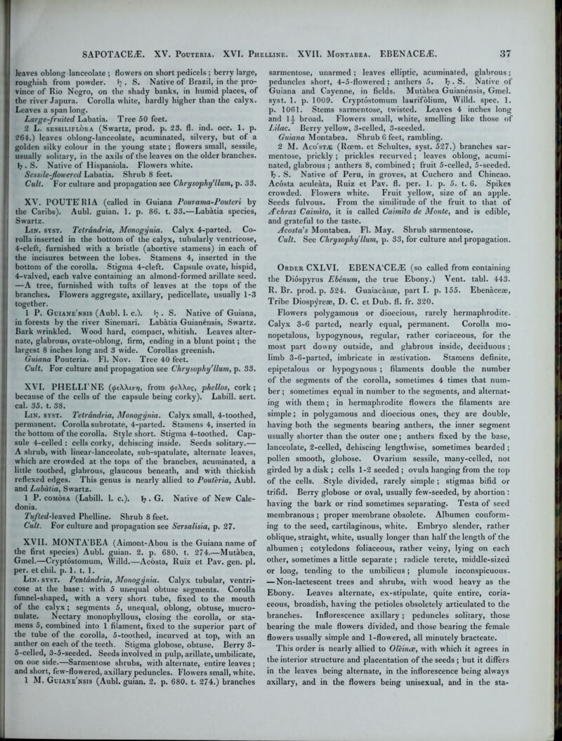 leaves oblong-lanceolate ; flowers on short pedicels ; berry large, roughish from powder. . S. Native of Brazil, in the pro- vince of Rio Negro, on the shady banks, in humid places, of the river Japura. Corolla white, hardly higher than the calyx. Leaves a span long. Large-fruited, Labatia. Tree 50 feet. 2 L. sessiliflora (Swartz, prod. p. 23. fl. ind. occ. 1. p. 264.) leaves oblong-lanceolate, acuminated, silvery, but of a golden silky colour in the young state; flowers small, sessile, usually solitary, in the axils of the leaves on the older branches. i- h . S. Native of Hispaniola. Flowers white. Sessde-flowered Labatia. Shrub 8 feet. Cult. For culture and propagation see Chrysophy'llum, p. 33. XV. POUTERIA (called in Guiana Pourama-Pouteri by the Caribs). Aubl. guian. 1. p. 86. t. 33.—Labatia species, I Swartz. Lin. syst. Tetrandria, Monogynia. Calyx 4-parted. Co- rolla inserted in the bottom of the calyx, tubularly ventricose, 4-cleft, furnished with a bristle (abortive stamens) in each of the incisures between the lobes. Stamens 4, inserted in the bottom of the corolla. Stigma 4-cleft. Capsule ovate, hispid, 4-valved, each valve containing an almond-formed arillate seed. —A tree, furnished with tufts of leaves at the tops of the branches. Flowers aggregate, axillary, pedicellate, usually 1-3 together. 1 P. Guiane'nsis (Aubl. 1. c.). Pj. S. Native of Guiana, in forests by the river Sinemari. Labatia Guian6nsis, Swartz. I Bark wrinkled. Wood hard, compact, whitish. Leaves alter- nate, glabrous, ovate-oblong, firm, ending in a blunt point; the ] largest 8 inches long and 3 wide. Corollas greenish. Guiana Pouteria. Fl. Nov. Tree 40 feet. Cult. For culture and propagation see Chrysophy'llum, p. 33. XVI. PHELLI'NE (ipeWivrj, from ipeWoc, phellos, cork; because of the cells of the capsule being corky). Labill. sert. | cal. 35. t. 38. Lin. syst. Tetrandria, Monogynia. Calyx small, 4-toothed, permanent. Corolla subrotate, 4-parted. Stamens 4, inserted in the bottom of the corolla. Style short. Stigma 4-toothed. Cap- | sule 4-celled : cells corky, dehiscing inside. Seeds solitary.— A shrub, with linear-lanceolate, sub-spatulate, alternate leaves, which are crowded at the tops of the branches, acuminated, a little toothed, glabrous, glaucous beneath, and with thickish reflexed edges. This genus is nearly allied to Pouteria, Aubl. and Labatia, Swartz. 1 P. comosa (Labill. 1. c.). Tj . G. Native of New Cale- donia. TuftedAeaveA Phelline. Shrub 8 feet. Cult. For culture and propagation see Sersalisia, p. 27. XVII. MONTA'BEA (Aimont-Abou is the Guiana name of the first species) Aubl. guian. 2. p. 680. t. 274.—Mutabea, Gmel.—Cryptostomum, Willd.—Acosta, Ruiz et Pav. gen. pi. ' per. et cliil. p. 1. t. 1. Lin. syst. Pentandria, Monogynia. Calyx tubular, ventri- cose at the base: with 5 unequal obtuse segments. Corolla funnel-shaped, with a very short tube, fixed to the mouth of the calyx; segments 5, unequal, oblong, obtuse, mucro- nulate. Nectary monophyllous, closing the corolla, or sta- mens 5, combined into 1 filament, fixed to the superior part of the tube of the corolla, 5-toothed, incurved at top, with an anther on each of the teeth. Stigma globose, obtuse. Berry 3- 5-celled, 3-5-seeded. Seeds involved in pulp, arillate, umbilicate, on one side.—Sarmentose shrubs, with alternate, entire leaves ; and short, few-flowered, axillary peduncles. Flowers small, white. 1 M. Guiane'nsis (Aubl. guian. 2. p. 680. t. 274.) branches sarmentose, unarmed; leaves elliptic, acuminated, glabrous ; peduncles short, 4-5-flowered ; anthers 5. I? • S. Native of Guiana and Cayenne, in fields. Mutabea Guianensis, Gmel. syst. 1. p. 1009. Cryptostomum laurifolium, Willd. spec. 1. p. 1061. Stems sarmentose, twisted. Leaves 4 inches long and \\ broad. Flowers small, white, smelling like those of Lilac. Berry yellow, 3-celled, 3-seeded. Guiana Montabea. Shrub 6 feet, rambling. 2 M. Aco'sta: (Roem. et Schultes, syst. 527.) branches sar- mentose, prickly ; prickles recurved; leaves oblong, acumi- nated, glabrous ; anthers 8, combined; fruit 5-celled, 5-seeded. T? . S. Native of Peru, in groves, at Cuchero and Chincao. Acosta aculeata, Ruiz et Pav. fl. per. 1. p. 5. t. 6. Spikes crowded. Flowers white. Fruit yellow, size of an apple. Seeds fulvous. From the similitude of the fruit to that of A'chras Caimito, it is called Caimilo de Monte, and is edible, and grateful to the taste. Acosta’s Montabea. Fl. May. Shrub sarmentose. Cult. See Chrysophy'llum, p. 33, for culture and propagation. Order CXLVI. EBENA'CE^E (so called from containing the Diospyrus Ebenum, the true Ebony.) Vent. tabl. 443. R. Br. prod. p. 524. Guaiacanae, part I. p. 155. Ebenaceae, Tribe Diospyreae, D. C. et Dub. fl. fr. 320. Flowers polygamous or dioecious, rarely hermaphrodite. Calyx 3-6 parted, nearly equal, permanent. Corolla mo- nopetalous, hypogynous, regular, rather coriaceous, for the most part downy outside, and glabrous inside, deciduous; limb 3-6-parted, imbricate in aestivation. Stamens definite, epipetalous or hypogynous ; filaments double the number of the segments of the corolla, sometimes 4 times that num- ber ; sometimes equal in number to the segments, and alternat- ing with them; in hermaphrodite flowers the filaments are simple; in polygamous and dioecious ones, they are double, having both the segments bearing anthers, the inner segment usually shorter than the outer one; anthers fixed by the base, lanceolate, 2-celled, dehiscing lengthwise, sometimes bearded ; pollen smooth, globose. Ovarium sessile, many-celled, not girded by a disk ; cells 1-2 seeded ; ovula hanging from the top of the cells. Style divided, rarely simple ; stigmas bifid or trifid. Berry globose or oval, usually few-seeded, by abortion : having the bark or rind sometimes separating. Testa of seed membranous ; proper membrane obsolete. Albumen conform- ing to the seed, cartilaginous, white. Embryo slender, rather oblique, straight, white, usually longer than half the length of the albumen ; cotyledons foliaceous, rather veiny, lying on each other, sometimes a little separate ; radicle terete, middle-sized or long, tending to the umbilicus; plumule inconspicuous. — Non-lactescent trees and shrubs, with wood heavy as the Ebony. Leaves alternate, ex-stipulate, quite entire, coria- ceous, broadish, having the petioles obsoletely articulated to the branches. Inflorescence axillary ; peduncles solitary, those bearing the male flowers divided, and those bearing the female flowers usually simple and 1-flowered, all minutely bracteate. This order is nearly allied to Oleince, with which it agrees in the interior structure and placentation of the seeds ; but it differs in the leaves being alternate, in the inflorescence being always axillary, and in the flowers being unisexual, and in the sta-