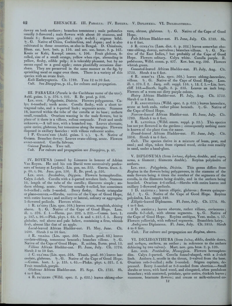 downy on both surfaces; branches tomentose ; male peduncles usually 3-flowered; male flowers with about 20 stamens, and female 8 ; flowers quadrifid; style 4-cleft; stigmas bifid. F? . G. Native of China, Cochinclnna, and Japan; and is also cultivated in those countries, as also in Bengal. D. Chinensis, Blum. cat. hort. buit. p. 110. and act. soc. batav. 9. p. 167. Kouis or Kaki, Kaempf. amcen. t. 106. Fruit globose, 8- celled, size of a small orange, yellow when ripe, abounding in yellow, fleshy, edible pulp ; it is tolerably pleasant, but by no means equal to a good apple; eaten plentifully occasions diar- rhoea. They are preserved in the same manner as the fig, by sprinkling meal or sugar over them. There is a variety of this species with an ovate fruit. Kaki Embryopteris. Clt. 1789. Tree 12 to 20 feet. Cult. See Diospyros, p. 41., for culture and propagation. III. PARA'LEA (Parala is the Caribbean name of the tree). Aubl. guian. 1. p. 576. t. 231. R. Br. prod. p. 526. Lin. syst. Polygamia, Dioecia. Flowers polygamous. Ca- lyx 4-toothed; teeth acute. Corolla fleshy, with a short te- tragonal tube, and a 4-parted limb ; segments acute. Stamens IS, inserted within the tube of the corolla at its base; anthers small, roundish. Ovarium wanting in the male flowers, but in place of it there is a villous, rufous corpuscle. Fruit and seeds unknown.—A tall tree, with a branched top. Leaves alternate, quite entire, glabrous, but tomentose along the margins. Flowers disposed in axillary fascicles : with villous rufescent scales. 1 P. Guiane'nsis (Aubl. guian. 1. c.). Tj. S. Native of Guiana. Branches downy. Leaves ovate-oblong, acute. Flowers sweet-scented. Corolla fulvous. Guiana Paralea. Tree tall. Cult, fox culture and propagation see Diospyros, p. 41. IV. ROYE'NA (named by Linnceus in honour of Adrian Van Royen. He and his son David were successively profes- sors of botany at Leyden). Lin. gen. no. 555. Gaertn. fruct. 2. p. 80. t. 94. Juss. gen. 156. R. Br. prod. p. 526. Lin. syst. Decdndria, Digynia. Flowers hermaphrodite. Calyx 5-cleft. Corolla with a 5-parted revolute limb. Stamens 10, length of the tube of the corolla; filaments simple; an- thers oblong, acute. Ovarium usually 4-celled, but sometimes 6-8-celled ; cells 1-seeded. Berry fleshy. Seeds triangular or plano-convex.—Shrubs, natives of the Cape of Good Hope, with entire leaves ; and axillary or lateral, solitary or aggregate, 1-flowered pedicels. Flowers white. 1 R. lu'cida (Lin. spec. 568.) leaves ovate, roughish, shining above, Fj . G. Native of the Cape of Good Hope. Lam. ill. t. 370. f. 1,—Herm. par. 232. t. 232.—Comm. hort. 1. p. 187. t. 96.—Pluk. phyt. t. 63. f. 4. and t. 317. f. 5. Berry globular, red above and pale below, containing a firm, whitish flesh, almost like that of an apple. Lucid-leaved African Bladder-nut. FI. May, June. Clt. 1690. Shrub 5 to 10 feet. 2 R. villosa (Lin. spec. 568. Thunb. prod. 83.) leaves cordate-oblong, tomentose beneath; branches villous. F? . G. Native of the Cape of Good Hope. R. scabra, Burm. prod. 13. bilious African Bladder-nut. FI. June, July. Clt. 1774. Shrub 5 to 10 feet. 3 C. gla'bra (Lin. spec. 568. Thunb. prod. 80.) leaves lan- ceolate, glabrous. . G. Native of the Cape of Good Hope. —Comm. hort. 1. p. 125. t. 65.—Plukn. phyt. t. 321. f. 4. Fruit roundish, purple. Glabrous African Bladder-nut. FI. Sept. Clt. 1731. Sh. 4 to 6 feet. 4 R. pa'llens (Willd. spec. 2. p. 632.) leaves oblong-obo- vate, obtuse, glabrous. Fj . G. Native of the Cape of Good Hope. Pale African Bladder-nut. FI. June, July. Clt. 1789. Sh. 4 to 6 feet. 5 R. cunea'ta (Lam. diet. 6. p. 322.) leaves somewhat obo- vate-oblong, downy, nerveless ; branches villous. F? . G. Na- tive of the East Indies, ? but probably of the Cape of Good Hope. Flowers solitary. Calyx white. Corolla purple. R. pubescens, Willd. enum. p. 457. Ker. bot. reg. 500. Flowers whitish green. Cuneated-leaxed African Bladder-nut. FI. July, Aug. Clt. 1752. Shrub 4 to 6 feet. 6 R. hirsu'ta (Lin. spec. 568.) leaves oblong-lanceolate, villous. 1j . G. Native of the Cape of Good Hope. Lam. ill. t. 370. f. 2. Jacq. coll, suppl. 110. t. 13. f. 1.—Lin. hort. cliff. 163.—Boerh. lugdb. 2. p. 235. Leaves an inch long. Flowers of a worn out dirty purple colour. Hairy African Bladder-nut. FI. July, Aug. Clt. 1752. Shrub 6 to 8 feet. 7 R. angustifolia (Willd. spec. 2. p. 633.) leaves lanceolate, acute at both ends, rather pilose beneath. Fj • G. Native of the Cape of Good Hope. Narrow-leaved African Bladder-nut. FI. June, July. Clt. 1789. Shrub 4 to 6 feet. 8 R. latifolia (Willd. enum. suppl. p. 23.). This species has not yet flowered in the gardens ; consequently nothing more is known of the plant than the name. Broad-leaved African Bladder-nut. FI. June, July. Clt. 1816. Shrub 4 to 6 feet. Cult. The species thrive in a mixture of loam, peat, and sand; and slips, taken from ripened wood, strike root readily in sand, under a hand-glass. V. DIPLONE'MA (from SctXooq, dijdoos, double, and vr)pu, nema, a filament; filaments double). Royena polyandra of authors. Lin. syst. Polygamia, Dioecia. This genus differs from Royena in the flowers being polygamous, in the stamens of the male flowers being 4 times the number of the segments of the corolla, in the filaments being double, and in the anthers being bearded. Ovarium 4-6-celled.—Shrubs with entire leaves and axillary 1-flowered pedicels. ] D. elliptica ; leaves elliptic, glabrous ; flowers quinque- fid. ? Fj . G. Native of the Cape of Good Hope. Royena polyandra, Lin. suppl. 240. Elliptic-\eaxed Diplonema. FI. June, July. Clt. 1774. Sh. 4 to 6 feet. 2 D. ambigua ; leaves obovate, rather villous, coriaceous ; corolla 6-7-cleft, with obtuse segments. T?. G. Native of the Cape of Good Hope. Royena ambigua, Vent. malm. t. 17. Flowers yellowish, with reflexed segments. Branchlets hairy. Ambiguous Diplonema. FI. June, July. Clt. 1815. Shrub 4 to 6 feet. Cult. For culture and propagation see Royena, above. VI. DICLIDANTHE'RA (from SucXic, diklis, double doors, and aydrjpa, anihera, an anther ; in reference to the anthers dehiscing by two valves). Mart. nov. gen. bras. 2. p. 139. Lin. syst. Penlandria, Monogynia. Flowers hermaphro- dite. Calyx 5-parted. Corolla funnel-shaped, with a 5-cleft limb. Anthers 5, sessile in the throat, 2-valved from the base. Ovarium sub-5-eelled ; cells 1-seeded. Stigma capitate, de- pressed. Berry 5-seeded or 2-3-seeded from abortion.—Small shrubs or trees, with hard wood, and elongated, often pendulous branches ; with scattered, petiolate, quite entire, thickish leaves ; racemose, bracteate flowers; and cream or milk-coloured co- 12