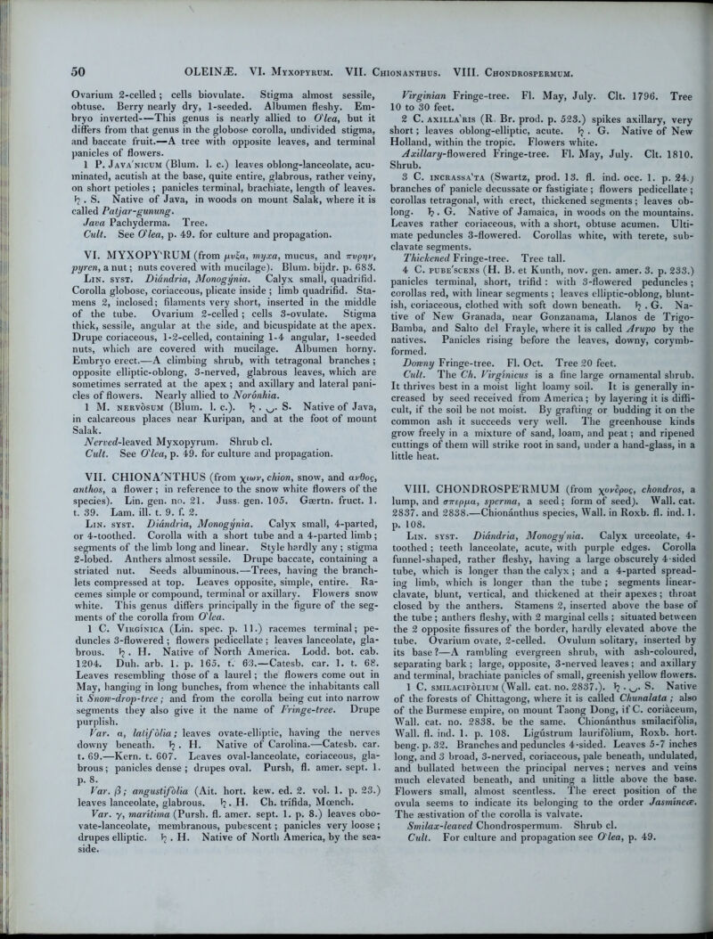 Ovarium 2-celled; cells biovulate. Stigma almost sessile, obtuse. Berry nearly dry, 1-seeded. Albumen fleshy. Em- bryo inverted This genus is nearly allied to O'lea, but it differs from that genus in the globose corolla, undivided stigma, and baccate fruit.—A tree with opposite leaves, and terminal panicles of flowers. 1 P. Java'nicum (Blum. 1. c.) leaves oblong-lanceolate, acu- minated, acutish at the base, quite entire, glabrous, rather veiny, on short petioles ; panicles terminal, brachiate, length of leaves. ^ . S. Native of Java, in woods on mount Salak, where it is called Patjar-gunung. Java Pachyderma. Tree. Cult. See O'lea, p. 49. for culture and propagation. VI. MYXOPY'RUM (from pv£a, myxa, mucus, and Trvpyv, pyren, a nut; nuts covered with mucilage). Blum, bijdr. p. 683. Lin. syst. Didndria, Monogynia. Calyx small, quadrifid. Corolla globose, coriaceous, plicate inside ; limb quadrifid. Sta- mens 2, inclosed; filaments very short, inserted in the middle of the tube. Ovarium 2-celled ; cells 3-ovulate. Stigma thick, sessile, angular at the side, and bicuspidate at the apex. Drupe coriaceous, 1-2-celled, containing 1-4 angular, 1-seeded nuts, which are covered with mucilage. Albumen horny. Embryo erect.—A climbing shrub, with tetragonal branches ; opposite elliptic-oblong, 3-nerved, glabrous leaves, which are sometimes serrated at the apex ; and axillary and lateral pani- cles of flowers. Nearly allied to Noronhia. 1 M. nervosum (Blum. 1. c.). >2 • w S* Native of Java, in calcareous places near Kuripan, and at the foot of mount Salak. iVeri>ed-leaved Myxopyrum. Shrub cl. Cult. See O'lea, p. 49. for culture and propagation. VII. CHIONA'NTHUS (from \aov, chion, snow, and ardoe, anthos, a flower ; in reference to the snow white flowers of the species). Lin. gen. no. 21. Juss. gen. 105. Gaertn. fruct. 1. t. 39. Lam. ill. t. 9. f. 2. Lin. syst. Didndria, Monogynia. Calyx small, 4-parted, or 4-toothed. Corolla with a short tube and a 4-parted limb; segments of the limb long and linear. Style hardly any ; stigma 2-lobed. Anthers almost sessile. Drupe baccate, containing a striated nut. Seeds albuminous.—Trees, having the branch- lets compressed at top. Leaves opposite, simple, entire. Ra- cemes simple or compound, terminal or axillary. Flowers snow white. This genus differs principally in the figure of the seg- ments of the corolla from O'lea. 1 C. Virginica (Lin. spec. p. 11.) racemes terminal; pe- duncles 3-flowered ; flowers pedicellate ; leaves lanceolate, gla- brous. J? . H. Native of North America. Lodd. bot. cab. 1204. Dull. arb. 1. p. 165. t. 63.—Catesb. car. 1. t. 68. Leaves resembling those of a laurel; the flowers come out in May, hanging in long bunches, from whence the inhabitants call it Snow-drop-tree; and from the corolla being cut into narrow segments they also give it the name of Fringe-tree. Drupe purplish. Var. a, lalifolia; leaves ovate-elliptic, having the nerves downy beneath. • H. Native of Carolina.—Catesb. car. t. 69.—Kern. t. 607. Leaves oval-lanceolate, coriaceous, gla- brous; panicles dense ; drupes oval. Pursh, fl. amer. sept. 1. P- 8- Var. /3; angustifolia (Ait. liort. kew. ed. 2. vol. 1. p. 23.) leaves lanceolate, glabrous. 1?. H. Ch. trifida, Moench. Var. y, maritima (Pursh. fl. amer. sept. 1. p. 8.) leaves obo- vate-lanceolate, membranous, pubescent; panicles very loose; drupes elliptic. Tj . H. Native of North America, by the sea- side. Virginian Fringe-tree. Fl. May, July. Clt. 1796. Tree 10 to 30 feet. 2 C. axilla'ris (R. Br. prod. p. 523.) spikes axillary, very short; leaves oblong-elliptic, acute. Tj . G. Native of New Holland, within the tropic. Flowers white. Axillary-flowered Fringe-tree. Fl. May, July. Clt. 1810. Shrub. 3 C. incrassa'ta (Swartz, prod. 13. fl. ind. occ. 1. p. 24.; branches of panicle decussate or fastigiate ; flowers pedicellate ; corollas tetragonal, with erect, thickened segments; leaves ob- long. L* G. Native of Jamaica, in woods on the mountains. Leaves rather coriaceous, with a short, obtuse acumen. Ulti- mate peduncles 3-flowered. Corollas white, with terete, sub- clavate segments. Thickened Fringe-tree. Tree tall. 4 C. pube'scens (H. B. et Kunth, nov. gen. amer. 3. p. 233.) panicles terminal, short, trifid : with 3-flowered peduncles; corollas red, with linear segments ; leaves elliptic-oblong, blunt- ish, coriaceous, clothed with soft down beneath. f; . G. Na- tive of New Granada, near Gonzanama, Llanos de Trigo- Bamba, and Salto del Frayle, where it is called Arupo by the natives. Panicles rising before the leaves, downy, corymb- formed. Downy Fringe-tree. Fl. Oct. Tree 20 feet. Cult. The Ch. Virginicus is a fine large ornamental shrub. It thrives best in a moist light loamy soil. It is generally in- creased by seed received from America; by layering it is diffi- cult, if the soil be not moist. By grafting or budding it on the common ash it succeeds very well. The greenhouse kinds grow freely in a mixture of sand, loam, and peat; and ripened cuttings of them will strike root in sand, under a hand-glass, in a little heat. VIII. CHONDROSPE'RMUM (from XovfyoC, chondros, a lump, and ff7T£ppa, sperma, a seed; form of seed). Wall. cat. 2837. and 2838.—Chionanthus species, Wall, in Roxb. fl. ind. 1. p. 108. Lin. syst. Didndria, Monogynia. Calyx urceolate, 4- toothed ; teeth lanceolate, acute, with purple edges. Corolla funnel-shaped, rather fleshy, having a large obscurely 4-sided tube, which is longer than the calyx ; and a 4-parted spread- ing limb, which is longer than the tube; segments linear- clavate, blunt, vertical, and thickened at their apexes; throat closed by the anthers. Stamens 2, inserted above the base of the tube ; anthers fleshy, with 2 marginal cells ; situated between the 2 opposite fissures of the border, hardly elevated above the tube. Ovarium ovate, 2-celled. Ovulurn solitary, inserted by its base ?—A rambling evergreen shrub, with ash-coloured, separating bark ; large, opposite, 3-nerved leaves; and axillary and terminal, brachiate panicles of small, greenish yellow flowers. 1 C. smilacifolium (Wall. cat. no. 2837.). \ S. Native of the forests of Chittagong, where it is called Chunalata ; also of the Burmese empire, on mount Taong Dong, if C. coriaceum, Wall. cat. no. 2838. be the same. Chionanthus smilacifolia, Wall. fl. ind. 1. p. 108. Ligustrum laurifolium, Roxb. hort. beng. p. 32. Branches and peduncles 4-sided. Leaves 5-7 inches long, and 3 broad, 3-nerved, coriaceous, pale beneath, undulated, and bullated between the principal nerves; nerves and veins much elevated beneath, and uniting a little above the base. Flowers small, almost scentless. The erect position of the ovula seems to indicate its belonging to the order Jasminece. The aestivation of the corolla is valvate. Smilax-leaved Chondrospermum. Shrub cl. Cult. For culture and propagation see O'lea, p. 49.