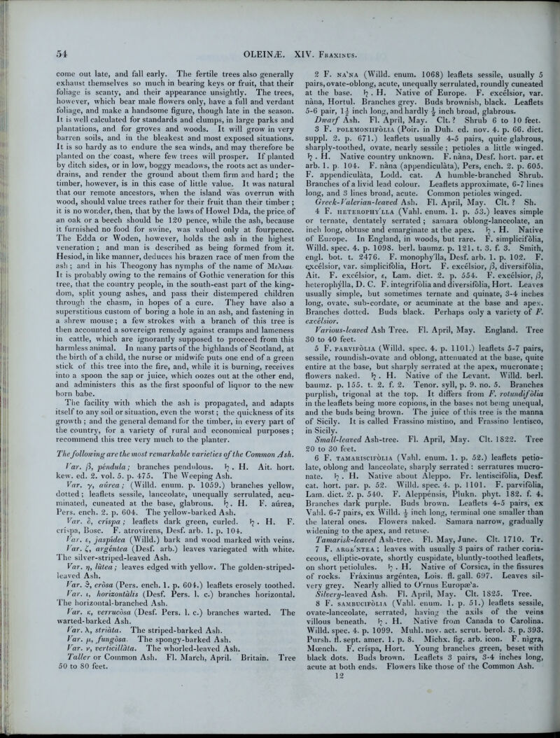 come out late, and fall early. The fertile trees also generally exhaust themselves so much in bearing keys or fruit, that their foliage is scanty, and their appearance unsightly. The trees, however, which bear male flowers only, have a full and verdant foliage, and make a handsome figure, though late in the season. It is well calculated for standards and clumps, in large parks and plantations, and for groves and woods. It will grow in very barren soils, and in the bleakest and most exposed situations. It is so hardy as to endure the sea winds, and may therefore be planted on the coast, where few trees will prosper. If planted by ditch sides, or in low, boggy meadows, the roots act as under- drains, and render the ground about them firm and hard; the timber, however, is in this case of little value. It was natural that our remote ancestors, when the island was overrun with wood, should value trees rather for their fruit than their timber ; it is no wonder, then, that by the laws of Howel Dda, the price of an oak or a beech should be 120 pence, while the ash, because it furnished no food for swine, was valued only at fourpence. The Edda or Woden, however, holds the ash in the highest veneration ; and man is described as being formed from it. Hesiod, in like manner, deduces his brazen race of men from the ash ; and in his Theogony has nymphs of the name of MeXtai It is probably owing to the remains of Gothic veneration for this tree, that the country people, in the south-east part of the king- dom, split young ashes, and pass their distempered children through the chasm, in hopes of a cure. They have also a superstitious custom of boring a hole in an ash, and fastening in a shrew mouse; a few strokes with a branch of this tree is then accounted a sovereign remedy against cramps and lameness in cattle, which are ignorantly supposed to proceed from this harmless animal. In manypartsof the highlands of Scotland, at the birth of a child, the nurse or midwife puts one end of a green stick of this tree into the fire, and, while it is burning, receives into a spoon the sap or juice, which oozes out at the other end, and administers this as the first spoonful of liquor to the new born babe. The facility with which the ash is propagated, and adapts itself to any soil or situation, even the worst; the quickness of its growth ; and the general demand for the timber, in every part of the country, for a variety of rural and economical purposes; recommend this tree very much to the planter. The following are the most remarkable varieties of the Common Ash. Var. ft, pendula; branches pendulous. Tj ♦ H. Ait. hort. kew\ ed. 2. vol. 5. p. 475. The Weeping Ash. Var. y, aurea; (Willd. enum. p. 1059.) branches yellow, dotted; leaflets sessile, lanceolate, unequally serrulated, acu- minated, cuneated at the base, glabrous. . H. F. aurea, Pers. ench. 2. p. 604. The yellow-barked Ash. Var. <5, crispa; leaflets dark green, curled. Pj . II. F. crispa, Bose. F. atrovirens, Desf. arb. 1. p. 104. Var. r, jaspidea (Willd.) bark and wood marked with veins. Var. £, argentea (Desf. arb.) leaves variegated with white. The silver-striped-leaved Ash. Var. ?7, lute a; leaves edged with yellow. The golden-striped- leaved Ash. Var. $, erbsa (Pers. ench. 1. p. 604.) leaflets erosely toothed. Var. i, horizontdlis (Desf. Pers. 1. c.) branches horizontal. The horizontal-branched Ash. Var. k, verrucosa (Desf. Pers. 1. c.) branches warted. The warted-barked Ash. Var. X, striata. The striped-barked Ash. Var. p, fungosa. The spongy-barked Ash. Var. v, verlicillata. The whorled-leaved Ash. Taller or Common Ash. FI. March, April. Britain. Tree 50 to 80 feet. 2 F. na'na (Willd. enum. 1068) leaflets sessile, usually 5 pairs, ovate-oblong, acute, unequally serrulated, roundly cuneated at the base. P? . H. Native of Europe. F. excelsior, var. nana, Hortul. Branches grey. Buds brownish, black. Leaflets 5-6 pair, 1^ inch long, and hardly \ inch broad, glabrous. Dwarf Ash. FI. April, May. Clt. ? Shrub 6 to 10 feet. 3 F. I’olemoniifolta (Poir. in Duh. ed. nov. 4. p. 66. diet, suppl. 2. p. 671.) leaflets usually 4-5 pairs, quite glabrous, sharply-toothed, ovate, nearly sessile; petioles a little winged. P? . H. Native country unknown. F. nana, Desf. hort. par. et arb. 1. p. 104. F. nana (appendiculata), Pers, ench. 2. p. 605. F. appendiculata, Lodd. cat. A humble-branched Shrub. Branches of a livid lead colour. Leaflets approximate, 6-7 lines long, and 3 lines broad, acute. Common petioles winged. Greek-Valerian-leaved Ash. FI. April, May. Clt. ? Sh. 4 F. heterophv'lla (Vahl. enum. 1. p. 53.) leaves simple or ternate, dentately serrated; samara oblong-lanceolate, an inch long, obtuse and emarginate at the apex. . H. Native of Europe. In England, in woods, but rare. F. simplicifolia, Willd. spec. 4. p. 1098. berl. baumz. p. 121. t. 3. f. 3. Smith, engl. bot. t. 2476. F. monophy'lla, Desf. arb. 1. p. 102. F. qxcelsior, var. simplicifblia, Hort. F. excelsior, ft, diversifolia, Ait. F. excelsior, e, Lam. diet. 2. p. 554. F. excelsior, ft, heterophylla, D. C. F. integrifolia and diversifolia, Hort. Leaves usually simple, but sometimes ternate and quinate, 3-4 inches long, ovate, sub-cordate, or acuminate at the base and apex. Branches dotted. Buds black. Perhaps only a variety of F. excelsior. Various-leaved Ash Tree. FI. April, May. England. Tree 30 to 40 feet. 5 F. parvifolia (Willd. spec. 4. p. 1101.) leaflets 5-7 pairs, sessile, roundish-ovate and oblong, attenuated at the base, quite entire at the base, but sharply serrated at the apex, mucronate; flowers naked. . H. Native of the Levant. Willd. berl. baumz. p. 155. t. 2. f. 2. Tenor, syll, p. 9. no. 5. Branches purplish, trigonal at the top. It differs from F. rolundifdlia in the leaflets being more copious, in the bases not being unequal, and the buds being brown. The juice of this tree is the manna of Sicily. It is called Frassino mistino, and Frassino lentisco, in Sicily. Small-leaved Ash-tree. FI. April, May. Clt. 1822. Tree 20 to 30 feet. 6 F. tamariscifolia (Vahl. enum. 1. p, 52.) leaflets petio- late, oblong and lanceolate, sharply serrated : serratures mucro- nate. 1? • H. Native about Aleppo. Fr. lentiscifolia, Desf. cat. hort. par. p. 52. Willd. spec. 4. p. 1101. F. parvifolia, Lam. diet. 2. p. 540. F. Aleppensis, Plukn. phyt. 182. f. 4. Branches dark purple. Buds brown. Leaflets 4-5 pairs, ex Vahl. 6-7 pairs, ex Willd. \ inch long, terminal one smaller than the lateral ones. Flowers naked. Samara narrow, gradually widening to the apex, and retuse. Tamarisk-leaved Ash-tree. FI. May, June. Clt. 1710. Tr. 7 F. arge'ntea ; leaves with usually 3 pairs of rather coria- ceous, elliptic-ovate, shortly cuspidate, bluntly-toothed leaflets, on short petiolules. 1? . H. Native of Corsica, in the fissures of rocks. Fraxinus argentea, Lois. fl. gall. 697. Leaves sil- very grey. Nearly allied to O'rnus Europae'a. Silvery-leaved Aslu Fl. April, May. Clt. 1S25. Tree. 8 F. sambucifolia (Vahl. enum. 1. p. 51.) leaflets sessile, ovate-lanceolate, serrated, having the axils of the veins villous beneath. ^ • H. Native from Canada to Carolina. Willd. spec. 4. p. 1099. Muhl. nov. act. scrut. berol. 3. p. 393. Pursh. fl. sept. amer. 1. p. 8. Michx. fig. arb. icon. F. nigra, Mcench. F. crispa, Hort. Young branches green, beset with black dots. Buds brown. Leaflets 3 pairs, 3-4 inches long, acute at both ends. Flowers like those of the Common Ash. 12
