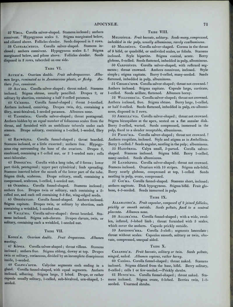 37 Vinca. Corolla salver-shaped. Stamens inclosed ; anthers connivent. Hypogynous scales 2. Stigma marginated below, and ciliated above. Follicles slender. Seeds disposed in 2 rows. 38 Cathara'nthus. Corolla salver-shaped. Stamens in- closed ; anthers connivent. Hypogynous scales 2. ? Stigma marginated below, and pilose above. Follicles slender. Seeds disposed in 2 rows, tubercled on one side. Tribe VI. Alyxie'.e. Ovarium double. Fruit sub-drupaceous. Albu- men large, ruminated as in Annonaceous plants, or fleshy. An- thers free, connivent. 39 Aly'xia. Corolla salver-shaped ; throat naked. Stamens inclosed. Stigma obtuse, usually pencilled. Drupes 2, or solitary by abortion, containing a half 2-celled putamen. 40 Ce'rbera. Corolla funnel-shaped ; throat 5-toothed. Anthers inclosed, conniving. Drupes twin, dry, containing a fibry, semi-bivalved, 1-seeded putamen. Albumen none. 41 Tanghinia. Corolla salver-shaped; throat pentagonal. Anthers hidden by an equal number of foliaceous scales from the throat, and furnished with an umbilicate tubercle under each stamen. Drupe solitary, containing a 1-celled, 1-seeded, fibry nut. 42 Rauwolfia. Corolla funnel-shaped ; throat bearded. | Stamens inclosed, or a little exserted ; anthers free. Hypogy- nous ring surrounding the base of the ovarium. Drupes 2, \ combined, containing a 2-celled nut, or 2 1-seeded nuts; cells I semi-bilocular. 43 Dissole'na. Corolla with a long tube, of 2 forms ; lower i part thick, pentagonal; upper part cylindrical; limb spreading, l Stamens inserted below the mouth of the lower part of the tube. Stigma thick, scabrous. Drupe solitary, small, containing a compressed, scabrous, 1-celled, 1-seeded nut. 44 Ociirosia. Corolla funnel-shaped. Stamens inclosed ; anthers free. Drupes twin or solitary, each containing a 2- celled nut, and each cell containing 2-3 flat, wing-edged seeds. 45 Opiiioxylon. Corolla funnel-shaped. Anthers inclosed. Stigma capitate. Drupes twin, or solitary by abortion, each containing a wrinkled, 1-seeded nut. 46 Valle'sia. Corolla salver-shaped ; throat bearded. Sta- mens inclosed. Stigma sub-clavate. Drupes clavate, twin, or solitary, containing each a wrinkled, 1-seeded nut. Tribe VII. Kopsie'.e. Ovarium double. Fruit drupaceous. Albumen wanting. 47 Kopsia. Corolla salver-shaped ; throat villous. Stamens inclosed ; anthers free. Stigma oblong, downy at top. Drupes twin or solitary, coriaceous, divided by an incomplete dissepiment ' inside, 1-seeded. 48 Calpica'rpum. Calycine segments each ending in a gland. Corolla funnel-shaped, with equal segments. Anthers inclosed, adhering. Stigma large, 2 lobed. Drupe, or rather capsule usually solitary, 1-celled, sub-bivalved, urn-shaped, 1- seeded. Tribe VIII. Melodinete. Fruit baccate, solitary. Seeds many, compressed, imbedded in the pulp, usually albuminous, rarely exalbuminous. 49 Melodinus. Corolla salver-shaped. Corona in the throat of 5 bifid, or quadrifid, or undivided scales, or foliola. Stamens inclosed. Style bipartite. Stigma conical, acute. Berry globose, 2-celled. Seeds flattened, imbedded in pulp, albuminous. 50 Carpodinus. Corolla salver-shaped, with reflexed seg- ments ; throat crowned. Anthers connivent, inclosed. Style simple ; stigma capitate. Berry 2-celled, many-seeded. Seeds flattened, imbedded in pulp, albuminous. 51 Chiloca'rpus. Corolla salver-shaped; throat not crowned. ? Anthers inclosed. Stigma capitate. Capsule large, corticate, 1- celled. Seeds arillate, flattened. Albumen horny. 52 Willughbe'ia. Corolla salver-shaped; throat not crowned. Anthers inclosed, free. Stigma obtuse. Berry large, 1-celled, or half 2-celled. Seeds flattened, imbedded in pulp, ex-albumi- nous, disposed in 2 rows. 53 Ambella'nia. Corolla salver-shaped ; throat not crowned. Stigma bicuspidate at the apex, seated on a flat annular disk. Berry 2-celled, warted. Seeds compressed, immersed in the pulp, fixed to a slender receptable, albuminous. 54 Pacou'ria. Corolla salver-shaped ; throat not crowned. ? Anthers cuspidate, inclosed. Style and stigma as in Ambellania. Berry 1-celled. ? Seeds angular, nestling in the pulp; albuminous. 55 Hancornia. Calyx small, 5-parted. Corolla salver- shaped. Stamens inclosed. Stigma bifid. Berry 1-celled, many-seeded. Seeds albuminous. 56 Landolpiiia. Corolla salver-shaped ; throat not crowned. Stamens inclosed. Ovarium with 10 stripes. Stigma sub-bifid, Berry nearly globose, compressed at top, 1-celled. Seeds nestling in pulp, ovate, compressed. 57 Cou’ma. Corolla funnel-shaped. Stamens short, inclosed; anthers sagittate. Disk hypogynous. Stigma bifid. Fruit glo- bose, 4-5-seeded. Seeds immersed in pulp. Tribe IX. Allamandie\e. Fruit capsular, composed of 2 joined follicles, prickly or smooth outside. Seeds peltate, fixed to a central placenta. Albumen none. 58 Allama'nda. Corolla funnel-shaped; with a wide, swol- len, inflated, 5-lobed limb ; throat furnished with 5 scales, which cover the anthers. Capsule prickly outside. 59 Aspidospe'rma. Corolla 5-cleft; segments lanceolate; throat without scales. Capsules smooth, solitary or twin, obo- vate, compressed, unequal sided. Tribe X. Carandie'as. Fruit baccate, solitary or twin. Seeds peltate, winged, naked. Albumen copious, rather horny. 60 Carissa. Corolla funnel-shaped ; throat naked. Stamens inclosed. Stigma dilated from the base, bifid. Berry solitary, 2- celled ; cells 1 or few-seeded.—Prickly shrubs. 61 Hunte'ria. Corolla funnel-shaped ; throat naked. Sta- mens inclosed. Stigma ovate, 2-lobed. Berries twin, 1-2- seeded. Unarmed shrubs.