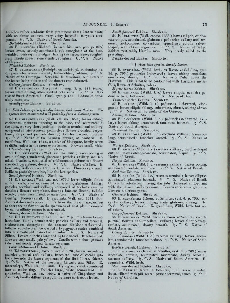 branches rather scabrous from prominent dots; leaves ovate, with an obtuse acumen, very veiny beneath; corymbs com- pound. J? . n‘. S. Native of South America. Dotted-branched Echites. Shrub tw. 46 E. rugulosa (Richard, in act. hist. nat. par. p. 107.) leaves ovate, acutely acuminated, sub-emarginate at the base, wrinkled, with reyolute edges : having the nerves above roughish from minute down ; stem slender, roughish. Tj . r\ S. Native of Cayenne. Wrinkled Echites. Shrub tw. 47 E. galegiformis (Rudolph, ex Ledeb. pi. st. doming, no. 6.) peduncles many-flowered ; leaves oblong, obtuse. Tj . r\ S. Native of St. Domingo. Very like E. tomentdsa, but differs in the leaves being obtuse and the flowers rose-coloured. Galega-formed Echites. Shrub tw. 48 E. ? semidigyna (Berg. act. vlissing. 3. p. 383. icone.) leaves ovate-oblong, attenuated at both ends. Fj . rs. S Na- tive of South America.? Gmel. syst. p. 436. Peduncles oppo- sitely racemose. Semidigynous Echites. Shrub tw. -j- -j- East Indian species, hardly known, with small flowers. The species here enumerated will probably form a distinct genus. 49 E.? glandulifera (Wall. cat. no. 1659.) leaves oblong, coriaceous, glabrous, tapering to the base, and acuminated at the apex, on very short petioles ; panicles terminal and axillary, composed of trichotomous peduncles; flowers crowded, corym- bose ; calyx and pedicels downy; follicles narrow, torulose. Fj . r\ S. Native of the Burmese empire, at Amherst. E. monilffera, Wall. cat. 1659., a native of Singapore, hardly seems to differ, unless in the more ovate leaves. Flowers small, white. Gland-bearing Echites. Shrub tw. 50 E. ? micra'ntha (Wall. cat. no. 1667.) leaves oblong or ovate-oblong, acuminated, glabrous; panicles axillary and ter- minal, divaricate, composed of trichotomous peduncles ; flowers crowded, corymbose, downy. \ . rs. S. Native of Silhet. E. brachiata, Wall. cat. no. 1668. is the same. Flowers very small. Follicles probably torulose, like the last species. Small-flowered Echites. Shrub tw, 51 E. ? lu'cida (Wall. cat. no. 1670.) leaves elliptic, obtuse at both ends, short-acuminated, coriaceous, glabrous, shining ; panicles terminal and axillary, composed of trichotomous pe- duncles ; flowers corymbose, downy; bracteas linear ; follicles woody, ovate, acuminated, or cultriform. Ij . r'. S. Native of Penang. Flowers small. E. esculenta, Wall. cat. 1671. from Amherst does not appear to differ from the present species, but as there are no flowers on the specimens of that plant examined by us, its affinity cannot be ascertained. (SVimmg-leaved Echites. Shrub tw. 52 E. ? panicula'ta (Roxb. fl. ind. 2. p. 17.) leaves broad- lanceolate, bluntly acuminated ; panicles axillary and terminal, trichotomous throughout: the extreme divisions 3-flowered ; follicles sub-clavate, few-seeded; hypogynous scales combined into a cup-shaped 5-coothed urceolus. ^ • w S. Native of Silhet. Leaves 8 inches long and 1^ to 3 broad. Bracteas oval. Flowers very small, pale yellow. Corolla with a short gibbous tube ; and woolly, edged, falcate segments. Panicled-dowered Echites. Shrub cl. 53 E.? parviflora (Roxb. fl. ind. 2. p. 20.) leaves lanceolate ; panicles terminal and axillary, brachiate; tube of corolla gib- bous towards the base ; segments of the limb linear, falcate. S. Native of the northern Circars, and Silhet. E. macrocarpa, Wall. cat. no. 1663. Hypogynous scales combined into an entire ring. Follicles large, ovate, acuminated. E. polyantha, Wall. cat. no. 1664., a native of Chapedong, and Amherst, hardly differs, except in the more coriaceous leaves. Small-flowered Echites. Shrub tw. 54 E.? elliptic a (Wall, cat.no. 1666.) leaves elliptic, or obo- vate-elliptic, acuminated, glabrous ; peduncles axillary and ter- minal, trichotomous, corymbose, spreading; corolla salver- shaped, with obtuse segments. I? . rs. S. Native of Silhet. Echites verticallis, Hamilt. mss. Very nearly allied to the preceding. Elliptic-]eaved Echites. Shrub tw. f f f American species, hardly known. 55 E. myrtifolia (Willd. herb, ex Roem. et Schultes, syst. 34. p. 795.) peduncles 1-flowered ; leaves oblong-lanceolate, mucronate, shining. Fj . ^ S. Native of Cuba, about the Havanna. This is not to be confounded with Parsonsia myrti- folia, Roem. et Schultes, vol. 5. Myrtle-leaved Echites. Shrub tw. 56 E. gemina'ta (Willd. 1. c.) leaves elliptic, acutish ; pe- duncles twin, 1-flowered. f? . n'. S. Native of Brazil. Twu’ra-peduncled Echites. Shrub tw. 57 E. lu'cida (Willd. 1. c.) peduncles 1-flowered, elon- gated ; leaves elliptic-oblong, subcordate, obtuse, shining above. 1? • S. Native on the banks of the Orinoco. Shining Echites. Shrub tw. 58 E. cane'scens (Willd. 1. c.) peduncles 3-flowered, axil- lary ; leaves oblong, acuminated, tomentose beneath. Fj . r'. S. Native of South America. Canescent Echites. Shrub tw. 59 E. verrucosa (Willd. 1. c.) corymbs axillary; leaves ob- long, acuminated; branches warted. Fj • S. Native of Brazil. Warted Echites. Shrub tw. 60 E. hispida (Willd. 1. c.) racemes axillary; corollas hispid outside ; leaves oblong-cordate, acuminated, hispid. T? . rs. S. Native of Brazil. Hispid Echites. Shrub tw. 61 E. sca'bra (Willd. 1. c.) racemes axillary ; leaves oblong, acuminated, cordate, scabrous. F? . rs. S. Native of Brazil. Scabrous Echites. Shrub tw. 62 E. glau'ca (Willd. l.c.) racemes terminal; leaves elliptic, acuminated, glaucous beneath. \ . rs. S. Native of Brazil. Corolla funnel-shaped : having the tube thickened at top, and with the throat hardly pervious. Leaves coriaceous, glabrous. Perhaps a distinct genus. Glaucous Echites. Shrub tw. 63 E. macra'ntha (Roem. et Schultes, syst. 4. p. 795.) co- rymbs axillary ; leaves oblong, acute, glabrous, shining. F? . S. Native of Brazil. E. grandiflora, Willd. herb, but not of others. Large-flowered Echites. Shrub tw. 64 E. pube'scens (Willd. herb, ex Roem. et Schultes, syst. 4. p. 796.) flowers sub-umbellate, axillary ; leaves elliptic-ovate, cordate, acuminated, downy beneath. Fj . r\ S. Native of South America. Downy Echites. Shrub tw. 65 E. nodosa (Willd. 1. c.) racemes axillary ; leaves lanceo- late, acuminated ; branches nodose. F? • ^ S. Native of South America. Knotted-brznched Echites. Shrub tw. 66 E. mucrona'ta (Roem. et Schultes, syst. 3. p. 769.) leaves lanceolate, cordate, acuminated, mucronate, downy beneath; racemes axillary. Fj . r\ S. Native of South America. E. acuminata, Willd. herb. Mucronate-leaved Echites. Shrub tw. 67 E. Frase'ri (Roem. et Schultes, 1. c.) leaves crowded, linear, ciliated with pili, acute ; panicle terminal, naked. F? . ''NF. Native of Carolina. l 2