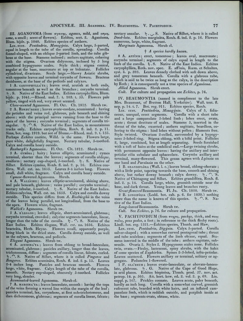 HI. AGANO'SMA (from ayavrjg, aganes, mild, and oagrj, osme, a smell; scent of flowers). Echites, sect. 2. Aganosma, Blum, bijdr. p. 1040. Echites species of authors. Lin. syst. Pentandria, Monogynia. Calyx large, 5-parted, equal in length to the tube of the corolla, spreading. Corolla funnel-shaped, with an oblique 5-parted limb, and the tube gib- bous at the base. Stamens inclosed ; anthers sagittate, cohering with the stigma. Ovarium didymous, inclosed by 5 long combined hypogynous scales. Style thick; stigma conical, angular at the base, mucronate at top or bidentate. Follicles cylindrical, divaricate. Seeds large.—Showy Asiatic shrubs, with opposite leaves and terminal corymbs of flowers. Bracteas deciduous, at the base of the pedicels and calyxes. 1 A. caryophylla'ta ; leaves oval, acutish at both ends, tomentose beneath as well as the branches ; corymbs terminal. . S. Native of the East Indies. Echites caryophyllata, Blum, bijdr. p. 1041.—Rheed. mal. 7. t. 103. t. 55. Flowers pale yellow, tinged with red, very sweet scented. Clove-scented Aganosma. FI. Oct. Clt. 1812. Shrub tw. 2 A. Roxbu'rghii ; leaves ovate-cordate, acuminated : having the petioles and veins red, glabrous, pale beneath and shining above: with the principal nerves running from the base to the apex of the leaves ; corymbs terminal; segments of corolla tri- angular. . r>>. S. Native of the East Indies, in mountainous tracks only. Echites caryophyllata, Roxb. fl. ind. 2. p. 11. Sims, bot. mag. 1919. but not of Blume.—Rheed. mal. 9. t. 135. Perhaps Echites costdta, Willd. is the same. Flowers large, pure white, delightfully fragrant. Nectary tubular, 5-toothed. Calyx and corolla hoary outside. Roxburgh's Aganosma. Fl. Oct. Clt. 1812. Shrub tw. 3 A. cymosa ; hairy ; leaves elliptic, acuminated ; cymes terminal, shorter than the leaves; segments of corolla oblique, ensiform ; nectary cup-shaped, 5-toothed. T? . S. Native of Silhet. Echites cymosa, Roxb. fl. ind. 2. p. 16. Echites con- ferta, Wall. cat. no. 1655. Leaves 3-4 inches long. Flowers small, dull white, fragrant. Calyx and corolla hoary outside. Cymose-flowered Aganosma. Shrub. 4 A. Wallichii; leaves elliptic-acuminated, shining above, and pale beneath, glabrous ; veins parallel; corymbs terminal; nectary tubular, 5-toothed. ^ • S. Native of the East Indies. Echites calycina, Wall. cat. no. 1653. Calyx and corolla downy outside. This species differs from A. Roxburghii in the veins of the leaves being parallel, not longitudinal, from the base to the apex. Flowers white, fragrant. Wallich’s Aganosma. Shrub tw. 5 A. e'legans ; leaves elliptic, short-acuminated, glabrous; corymbs terminal, crowded ; calycine segments lanceolate, linear, longer than the tube of the corolla. Tj . /'\ S. Native of the East Indies. Echites elegans, Wall. cat. no. 1656. Echites bracteata, Herb. Heyne. Flowers small, apparently purple, being black in the dried state. Corolla downy outside, as well as the calyxes, bracteas, and pedicels. Elegant Aganosma. Shrub tw. 6 A. acumina'ta ; leaves from oblong to broad-lanceolate, acuminated, glabrous ; panicles axillary, longer than the leaves, trichotomous, diffuse ; segments of corolla linear, falcate, curled. Jj .rs. S. Native of Silhet, where it is called Pingoree and Bengeree. Echites acuminata, Roxb. fl. ind. 2. p. 15. Leaves 2-4 inches long. Panicles and bracteas smooth. Flowers large, white, fragrant. Calyx length of the tube of the corolla, smooth. Nectary cup-shaped, obscurely 5-toothed. Follicles very long, slender. Acuminated-leaved Aganosma. Shrub cl. 7 A. margina'ta ; leaves lanceolate, smooth : having the tops of the veins forming a waved line within the margin of the leaf; panicles terminal, lax, corymbose, at first sub-tricbotomous, and then dichotomous, glabrous ; segments of corolla linear, falcate; nectary annular. Tj • w S. Native of Silhet, where it is called Dood-luta. Echites marginata, Roxb. fl. ind. 2. p. 16. Flowers numerous, large, white, fragrant, Marginate Aganosma. Shrub cl. j A species hardly known. 8 A. affinis ; erect, tomentose ; leaves oval, mucronate; corymbs terminal; segments of calyx equal in length to the limb of the corolla. T? . S. Native of the East Indies. Echites caryophyllata, Roth. nov. spec. E. affinis, Roem. et Schultes, syst. 4. p. 393. Leaves densely clothed with soft down above, and grey tomentum beneath. Corolla with a glabrous tube, which is said to be twice as long as the calyx, in the description by Roth ; it is consequently not a true species of Aganosma. Allied Aganosma. Shrub erect. Cult. For culture and propagation see Echites, p. 76. IV. BEAUMO'NTIA (named in compliment to the late Mrs. Beaumont, of Bretton Hall, Yorkshire). Wall. tent. fl. nep. p. 14. t. 7. Bot. reg. 911. Echites species, Roxb. Lin. syst. Pentandria, Monogynia. Calyx of 5, folia- ceous, unequal, erect segments. Corolla with a short tube and a large campanulate 5-lobed limb ; lobes erect, ovate, acute ; throat destitute of scales. Stamens 5, inserted in the throat of the tube, exserted; anthers sagittate, beardless, co- hering to the stigma : hind lobes without pollen ; filaments free. Style twisted. Ovarium 2-celled, surrounded by a hypogy- nous 5-lobed ring. Stigma oblong, with a bifid point. Follicles 2, large, combined, but at length separating. Seeds furnished with a tuft of hairs at the umbilical end.—Large twining shrubs, with permanent opposite leaves: having the axillary and inter- petiolar cilia subulate and sphaceolate. Corymbs axillary and terminal, many-flowered. This genus agrees wtth Lyonsia on one hand and Parsonsia on the other. 1 B. grandiflora (Wall. 1. c.) leaves broad, oblong-obovate ; with a little point, tapering towards the base, smooth and shining above, but rather downy beneath ; calyx dowmy. T? . rs. S. Native of Chittagong and Silhet. Echites grandiflora, Roxb. fl. ind. 2. p. 14. Corolla large, white, greenish outside near the base, and dark throat. Young leaves and branches rusty. Great-flowered Beaumontia. Fl. Ju. Clt. 1820. Shrub tw. 2 B. longifolia (Lodd. bot. cab. p. 6. for 1830.) nothing more than the name is known of this species. ^ • r'- S. Na- tive of the East Indies. Long-leaved Beaumontia. Shrub tw. Cult. See Echites, p. 76. for culture and propagation. V. PACHYPO'DIUM (from irayyc, pachys, thick, and 7roue 7roSog, pous podos, a foot; in reference to the thick fleshy roots). Lindl. bot. reg. 1321.—Echites species, Thunb. and Haw. Lin. syst. Pentandria, Digynia. Calyx 5-parted. Corolla salver-shaped ; with a somewhat curved pentagonal tube ; throat and tube scaleless; segments of the limb obtuse, equal. Sta- mens inserted in the middle of the tube ; anthers sagittate, sub- sessile. Ovaria 2. Styles 2. Hypogynous scales none. Follicles twin, ovate.—Fleshy, lactescent, spiny shrubs, with the habit of some species of Euphorbia. Spines 2-3-lobed, infra-petiolar. Leaves scattered. Flowers axillary or terminal, solitary or ag- gregate. Peduncles 1-flowered. 1 P. gla'brum ; leaves ovate-lanceolate, or obovate-lanceo- late, glabrous. . G. Native of the Cape of Good Hope, in arid places. Echites bispinosa, Thunb. prod. 37. nov. act. petrop. 14. p. 505. Ait. hort. kew. ed. 2. vol. 2. p. 69. Lin. suppl. p. 167. Prickles connate. Leaves acute, paler beneath, hardly an inch long. Corolla with a somewhat curved, greenish rufescent tube, bearded with white hairs, and an inflated cam- panulate limb, which is reddish outside, and purplish inside at the base ; segments ovate, obtuse, white.