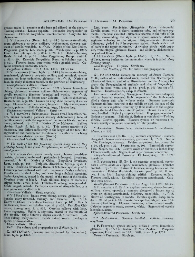 gynous scales 5, connate at the base and ciliated at the apex.— Twining shrubs. Leaves opposite. Peduncles interpetiolar, or terminal. Flowers corymbose, sweet-scented. Corymbs tri- chotomous. 1 V. Pergula'na (Burm. ind. p. 51.) leaves ovate-elliptic, acute, glabrous ; corymbs axillary, trichotomous, downy; seg- ment of corolla roundish. f? S. Native of the East Indies. Pergularia glabra, Lin. mant. p. 53. Willd. spec. 1. p. 1247. Houtt. Lin. pfl. syst. 3. p. 335. t. 20. f. 1. Echites hircosa, Roxb. fl. ind. 2. p. 18. Flos Pergulanus, Rumph. amb. 5. p. 51. t. 29, Emericia Pergularia, Roem. et Schultes, syst. 4. p. 401. Flowers large, pure white, with a goatish smell. Ca- lycine segments lanceolate, acute. Pergularia Vallaris. Fl. ? Clt. 1818. Shrub tw. 2 V. laxiflora (Blum bijdr. p. 1043.) leaves ovate-oblong, acuminated, glabrous ; corymbs axillary and terminal, iricho- tomous, on long peduncles, glabrous. Ij . /'\ S. Native of Java, in shady mountain woods, in the province of Buitenzorg. Loose-flowered Vallaris. Shrub tw. 3 V. dichotoma (Wall. cat. no. 1621.) leaves lanceolate- oblong, glabrous ; racemes axillary, dichotomous ; segments of corolla roundish; filaments bearded and woolly. Ij . nt. S. Native of Bengal, in forests near Calcutta. Echites dichotoma, Roxb. fl. ind. 2. p. 19. Leaves on very short petioles, 3 inches long. Flowers large, pure white, fragrant. Calycine segments cordate, pointed. Follicles oblong, large, 6 inches long. Dichotomous-racemed Vallaris. Shrub tw. 4 V. ? clava'ta ; dichotomous ; leaves broad-lanceolate, en- tire, villous beneath ; panicles axillary dichotomous; tube of corolla clavate ; with the segments of the border falcate; anthers linear, inclosed. Jj . ('\ S. Native of the Moluccas. Echites clavata, Roxb. fl. ind. 2. p. 20. This comes nearest to V. dichotoma, but differs sufficiently in the length of the tube, the segments of the border, and the stamina, to authorize its being considered as a distinct species. (Roxb.) C/aeafe-tubed Vallaris. Shrub tw. ■f The seeds of the two following species being naked, they probably belong to the genus Strophdnthus, or will form a nearly allied genus. 5 V. ? divarica'ta ; stems nearly erect; leaves broad-lan- ceolate, glabrous, undulated; peduncles 2-flowered, divaricate, terminal. • G. Native of China. Pergularia divaricata, Lour. coch. p. 168. Periploca divaricata, Spreng. syst. 1. p. 836. Emericia divaricata, Roem. et Schultes, syst. 4. p. 401. Flowers yellow, suffused with red. Segments of calyx subulate. Corolla with a thick tube, and very long subulate segments. Scales 5, sagittate, seated in the mouth of the tube of the corolla. Ovarium ovate, 2-lobed. Style filiform, length of stamens ; stigma acute, erect, bifid. Follicles 2, oblong, many-seeded. Seeds longish, naked. Perhaps a species of Strophdnthus, or a new genus nearly allied to it. Divaricate Vallaris. Shrub erectish. 6 V.? Sine'nsis ; leaves ovate-oblong, obtuse, glabrous; pe- duncles many-flowered, axillary, and terminal. T? . r'. G. Native of China. Pergularia Sinensis, Lour. p. 168. Emeri- cia Sinensis, Roem. et Schultes, syst. 4. p. 402. Periploca Chi- nensis, Spreng. syst. 1. p. 836. Corollas yellow; with long, linear segments. Scales 5, sagittate, seated in the mouth of the corolla. Style filiform ; stigma conical, 5-furrowed. Fol- licles oblong, many-seeded. Seeds naked, ovate. Perhaps a species of Strophdnthus. China Vallaris. Shrub tw. Cult. For culture and propagation see Echites, p. 76. X. HEYLY'GIA (meaning not explained by the author). Blum, bijdr. p. 1043. Lin. syst. Pentandria, Monogynia. Calyx quinquefid. Corolla rotate, with a short, ventricose tube, and oblique seg- ments. Stamens exserted ; filaments inserted in the tube of the corolla, surrounding the style in a spiral manner. Anthers sagittate, cohering to the stigma. Stigma clavate. Ovarium didymous, girded by 5 hypogynous scales. Seeds with a tuft of hairs at the upper extremity.—A twining shrub; with oppo- site, ovate-elliptic, glabrous leaves ; and axillary, dichotomous, corymbs of flowers. 1 H. Java'nica (Blum, bijdr. p. 1043.). f?. n>. S. Native of Java, among bushes on the mountains, where it is called Aroy Ferrung-utang. Java Heylygia. Fl. year. Shrub tw. Cult. See Echites, p. 76. for culture and propagation. XI. PARSO'NSIA (named in memory of James Parsons, M.D., author of an unfinished work, named The Microscopical Theatre of Seeds ; and of a Dissertation on the Analogy be- tween the Propagation of Animals and that of Vegetables). R. Br. in mem. wern. soc. p. 64. prod. p. 465. but not of P. Browne. Echites species, Jacq. et Swartz. Lin. syst. Pentdndria, Monogynia. Corolla funnel-shaped ; with a 5-parted recurved limb ; segments of the limb equal- sided ; throat and tube without scales. Stamens exserted; filaments filiform, inserted in the middle or nigh the base of the tube; anthers sagittate, cohering by their middle to the stigma: having the hind lobes destitute of pollen. Ovaria twin or soli- tary, 2-eelled. Style 1 ; stigma dilated. Hypogynous scales 5, distinct or connate. Follicles 2, distinct or combined.—Twining shrubs. Leaves opposite. Flowers cymose or racemose ; ra- cemes usually compound, terminal, or interpetiolar. * Americanae. Ovaria twin. Follicles distinct. Forsteronia, Meyer, ess. 133. 1 P. corymbosa (R. Br. 1. c.) racemes corymbose ; stamens elongated ; leaves oval-lanceolate, glabrous. 1? . S. Native of St. Domingo, in woods. Echites corymbosa, Jacq. amer. 34. t, 30. ed. pict. t. 37. Swartz, obs. p. 105. Forsteronia corym- bosa, Meyer, ess. 134. Leaves ovate or obovate, 2 inches long. Flowers small, red. Segments of calyx concave, connivent. Corymbose-flowered Parsonsia. Fl. June, Aug. Clt. 1820. Shrub tw. 2 P. floribu'nda (R. Br. 1. c.) racemes compound, corym- bose ; leaves ovate or elliptic, acuminated, glabrous ; branches erectish. T? . S. Native of Jamaica, among bushes on the mountains. Echites floribunda, Swartz, prod. p. 52. fl. ind. occ. 1. p. 534. Leaves shining, stiffish. Racemes axillary. Flowers small, white. Corolline segments acuminated. Caly- cine teeth acute. Bundle-flowered Parsonsia. Fl. Ju. Aug. Clt. 1820. Sh. tw. 3 P. spica'ta (R. Br. 1. c.) spikes racemose, dense-flowered, axillary, short, opposite; stamens elongated; leaves nearly ovate or oblong-acuminated, bifarious, smoothish. 1? . rs. S. Native of Carthagena, in woods. Echites spicata, Jacq. amer. 34. t. 29. ed. pict. t. 36. Forsteronia spicata, Meyer, ess. 135. Leaves -§■ foot long. Flowers numerous, white, almost sessile. Calycine segments ovate, concave, white. Segments of corolla lanceolate, acute. Spicate-flowered Parsonsia. Shrub tw. * * Australasicce. Ovarium 2-celled. Follicles cohering lengthwise. 4 P. Forste'ri ; cymes axillary, diffuse; leaves lanceolate, glabrous. J? . rs. G. Native of New Zealand. Periploca capsularis, Forst. prod. no. 126. Willd. spec. 1. p. 1251. Forster's Parsonsia. Shrub tw.