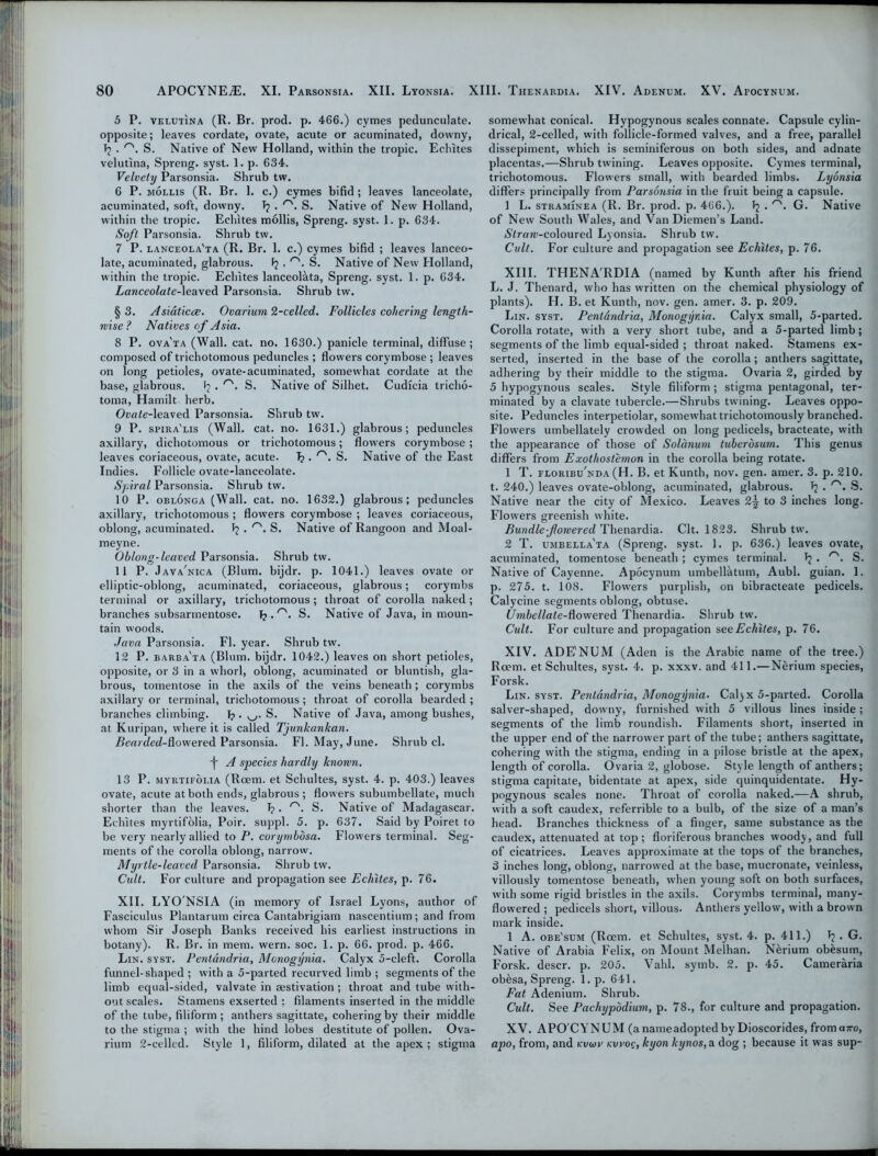 5 P. velutina (R. Br. prod. p. 466.) cymes pedunculate, opposite; leaves cordate, ovate, acute or acuminated, downy, T? • r'. S. Native of New Holland, within the tropic. Echites velutina, Spreng. syst. 1. p. 634. Velvety Parsonsia. Shrub tw. 6 P. mollis (R. Br. 1. c.) cymes bifid; leaves lanceolate, acuminated, soft, downy. T? . S. Native of New Holland, within the tropic. Echites mollis, Spreng. syst. 1. p. 634. Soft Parsonsia. Shrub tw. 7 P. lanceola'ta (R. Br. 1. c.) cymes bifid ; leaves lanceo- late, acuminated, glabrous. 1? . r'. S. Native of New Holland, within the tropic. Eclutes lanceolata, Spreng. syst. 1. p. 634. Lanceolate-leaved Parsonsia. Shrub tw. §3. Asiaticce. Ovarium 2-celled. Follicles cohering length- wise ? Natives of Asia. 8 P. ova'ta (Wall. cat. no. 1630.) panicle terminal, diffuse; composed of trichotomous peduncles ; flowers corymbose ; leaves on long petioles, ovate-acuminated, somewhat cordate at the base, glabrous. ^ . r\ S. Native of Silhet. Cudicia tricho- toma, Hamilt herb. Ovale-Xeured Parsonsia. Shrub tw. 9 P. spira'lis (Wall. cat. no. 1631.) glabrous; peduncles axillary, dichotomous or trichotomous; flowers corymbose ; leaves coriaceous, ovate, acute. T?. r'. S. Native of the East Indies. Follicle ovate-lanceolate. Spiral Parsonsia. Shrub tw. 10 P. oblonga (Wall. cat. no. 1632.) glabrous; peduncles axillary, trichotomous ; flowers corymbose ; leaves coriaceous, oblong, acuminated. . r'. S. Native of Rangoon and Moal- meyne. Oblong-leaved, Parsonsia. Shrub tw. 11 P. Java'nica (Blum, bijdr. p. 1041.) leaves ovate or elliptic-oblong, acuminated, coriaceous, glabrous; corymbs terminal or axillary, trichotomous ; throat of corolla naked; branches subsarmentose. Jj . r\ S. Native of Java, in moun- tain woods. Java Parsonsia. FI. year. Shrub tw. 12 P. barba'ta (Blum, bijdr. 1042.) leaves on short petioles, opposite, or 3 in a whorl, oblong, acuminated or bluntish, gla- brous, tomentose in the axils of the veins beneath; corymbs axillary or terminal, trichotomous ; throat of corolla bearded ; branches climbing. Tj . S. Native of Java, among bushes, at Kuripan, where it is called Tjunkankan. Bearded-flowered Parsonsia. FI. May, June. Shrub cl. f A species hardly known. 13 P. myrtifolia (Rcem. et Schultes, syst. 4. p. 403.) leaves ovate, acute at both ends, glabrous ; flowers subumbellate, much shorter than the leaves. T?. S. Native of Madagascar. Echites myrtifolia, Poir. suppl. 5. p. 637. Said by Poiret to be very nearly allied to P. corynibosa. Flowers terminal. Seg- ments of the corolla oblong, narrow. Myrtle-leaved Parsonsia. Shrub tw. Cult. For culture and propagation see Echites, p. 76. XII. LYO'NSIA (in memory of Israel Lyons, author of Fasciculus Plantarum circa Cantabrigiam nascentium; and from whom Sir Joseph Banks received his earliest instructions in botany). R. Br. in mem. wern. soc. 1. p. 66. prod. p. 466. Lin. syst. Pentdndria, Monogynia. Calyx 5-cleft. Corolla funnel-shaped; with a 5-parted recurved limb ; segments of the limb equal-sided, valvate in aestivation ; throat and tube with- out scales. Stamens exserted : filaments inserted in the middle of the tube, filiform ; anthers sagittate, cohering by their middle to the stigma ; with the hind lobes destitute of pollen. Ova- rium 2-celled. Style 1, filiform, dilated at the apex; stigma somewhat conical. Hypogynous scales connate. Capsule cylin- drical, 2-celled, with follicle-formed valves, and a free, parallel dissepiment, which is seminiferous on both sides, and adnate placentas.—Shrub twining. Leaves opposite. Cymes terminal, trichotomous. Flowers small, with bearded limbs. Lyonsia differs principally from Parsonsia in the fruit being a capsule. 1 L. straminea (R. Br. prod. p. 466.). ^ • r>>‘ G. Native of New South Wales, and Van Diemen’s Land. /Straw-coloured Lyonsia. Shrub tw. Cult. For culture and propagation see Echites, p. 76. XIII. THENA'RDIA (named by Kunth after his friend L. J. Thenard, who has written on the chemical physiology of plants). H. B. et Kunth, nov. gen. amer. 3. p. 209. Lin. syst. Pentdndria, Monogynia. Calyx small, 5-parted. Corolla rotate, with a very short tube, and a 5-parted limb; segments of the limb equal-sided ; throat naked. Stamens ex- serted, inserted in the base of the corolla; anthers sagittate, adhering by their middle to the stigma. Ovaria 2, girded by 5 hypogynous scales. Style filiform ; stigma pentagonal, ter- minated by a clavate tubercle.— Shrubs twining. Leaves oppo- site. Peduncles interpetiolar, somewhat trichotomously branched. Flowers umbellately crowded on long pedicels, bracteate, with the appearance of those of Solanum tuberosum. This genus differs from Exothostemon in the corolla being rotate. 1 T. floribu'nda (H. B. et Kunth, nov. gen. amer. 3. p. 210. t. 240.) leaves ovate-oblong, acuminated, glabrous. ^ S. Native near the city of Mexico. Leaves 2^ to 3 inches long. Flowers greenish white. Bundle-fowered Thenardia. Clt. 1823. Shrub tw. 2 T. umbella'ta (Spreng. syst. 1. p. 636.) leaves ovate, acuminated, tomentose beneath ; cymes terminal. 1? . rs. S. Native of Cayenne. Apocynum umbellatum, Aubl. guian. 1. p. 275. t. 108. Flowers purplish, on bibracteate pedicels. Calycine segments oblong, obtuse. l/mbellate-flov/ered Thenardia. Shrub tw. Cult. For culture and propagation see Echites, p. 76. XIV. ADENUM (Aden is the Arabic name of the tree.) Rcem. et Schultes, syst. 4. p. xxxv. and 411.— Nerium species, Forsk. Lin. syst. Pentdndria, Monogynia. Calyx 5-parted. Corolla salver-shaped, downy, furnished with 5 villous lines inside; segments of the limb roundish. Filaments short, inserted in the upper end of the narrower part of the tube; anthers sagittate, cohering with the stigma, ending in a pilose bristle at the apex, length of corolla. Ovaria 2, globose. Style length of anthers; stigma capitate, bidentate at apex, side quinquidentate. Hy- pogynous scales none. Throat of corolla naked.—A shrub, with a soft caudex, referrible to a bulb, of the size of a man’s head. Branches thickness of a finger, same substance as the caudex, attenuated at top; floriferous branches woody, and full of cicatrices. Leaves approximate at the tops of the branches, 3 inches long, oblong, narrowed at the base, mucronate, veinless, villously tomentose beneath, when young soft on both surfaces, with some rigid bristles in the axils. Corymbs terminal, many- flowered ; pedicels short, villous. Anthers yellow, with a brown mark inside. 1 A. obe'sum (Rcem. et Schultes, syst. 4. p. 411.) ^ . G. Native of Arabia Felix, on Mount Melhan. N&rium obesum, Forsk. descr. p. 205. Vahl. symb. 2. p. 45. Cameraria obesa, Spreng. 1. p. 641. Fat Adenium. Shrub. Cult. See Pachypodium, p. 78., for culture and propagation. XV. APO'CYNUM (a name adopted by Dioscorides, from awo, apo, from, and kviov kvvoc, kyon kynos, a dog ; because it was sup-