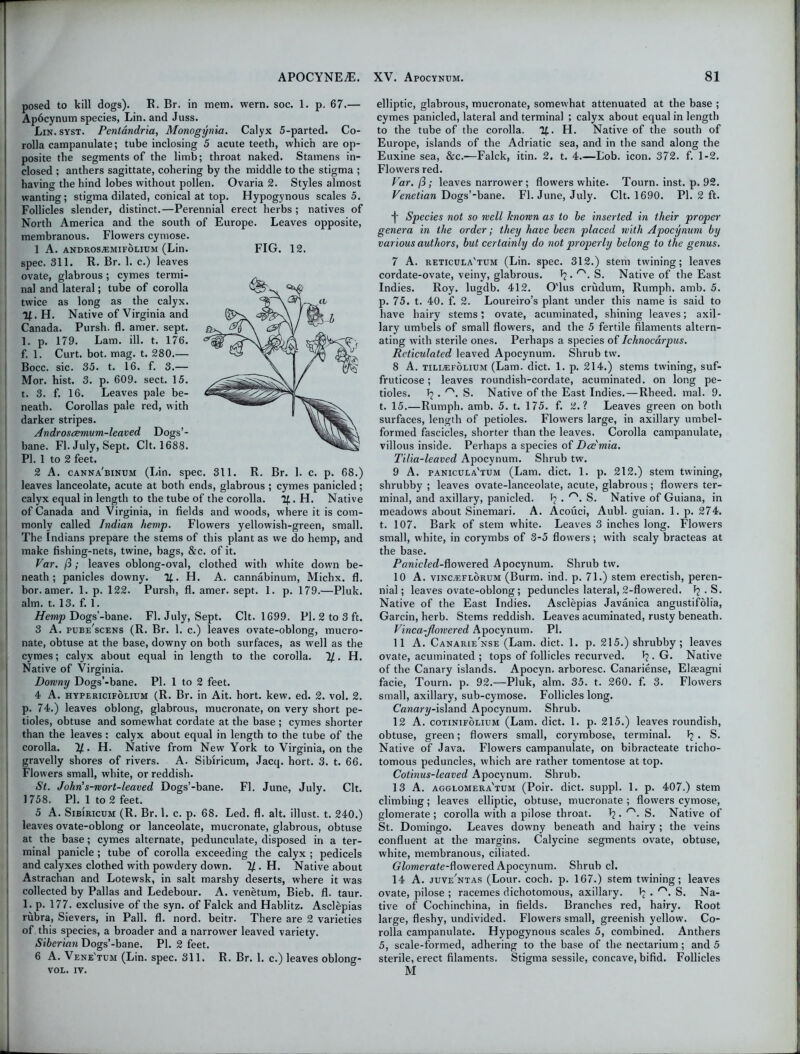 posed to kill dogs). R. Br. in mem. wern. soc. 1. p. 67.— Apocynum species, Lin. and Juss. Lin. syst. Pentandria, Monogynia. Calyx 5-parted. Co- rolla campanulate; tube inclosing 5 acute teeth, which are op- posite the segments of the limb; throat naked. Stamens in- closed ; anthers sagittate, cohering by the middle to the stigma ; having the hind lobes without pollen. Ovaria 2. Styles almost wanting; stigma dilated, conical at top. Hypogynous scales 5. Follicles slender, distinct.—Perennial erect herbs ; natives of North America and the south of Europe. Leaves opposite, membranous. Flowers cymose. 1 A. ANDROS^EMIFOLIUM (Lill. spec. 311. R. Br. 1. c.) leaves ovate, glabrous ; cymes termi- nal and lateral; tube of corolla twice as long as the calyx. If.. H. Native of Virginia and Canada. Pursh. fl. amer. sept. 1. p. 179. Lam. ill. t. 176. f. 1. Curt. bot. mag. t. 280.— Bocc. sic. 35. t. 16. f. 3.— Mor. hist. 3. p. 609. sect. 15. t. 3. f. 16. Leaves pale be- neath. Corollas pale red, with darker stripes. Androscemum-leaved Dogs’- bane. FI. July, Sept. Clt. 1688. PI. 1 to 2 feet. 2 A. canna'binum (Lin. spec. 311. R. Br. 1. c. p. 68.) leaves lanceolate, acute at both ends, glabrous ; cymes panicled; calyx equal in length to the tube of the corolla. If. H. Native of Canada and Virginia, in fields and woods, where it is com- monly called Indian hemp. Flowers yellowish-green, small. The Indians prepare the stems of this plant as we do hemp, and make fishing-nets, twine, bags, &c. of it. Var. (3; leaves oblong-oval, clothed with white down be- neath; panicles downy. If. H. A. cannabinum, Michx. fl. bor. amer. 1. p. 122. Pursh, fl. amer. sept. 1. p. 179.—Pluk. aim. t. 13. f. 1. Hemp Dogs’-bane. Fl. July, Sept. Clt. 1699. PI. 2 to 3 ft. 3 A. pube'scens (R. Br. 1. c.) leaves ovate-oblong, mucro- nate, obtuse at the base, downy on both surfaces, as well as the cymes; calyx about equal in length to the corolla. %. H. Native of Virginia. Downy Dogs’-bane. PI. 1 to 2 feet. 4 A. hypericifolium (R. Br. in Ait. hort. kew. ed. 2. vol. 2. p. 74.) leaves oblong, glabrous, mucronate, on very short pe- tioles, obtuse and somewhat cordate at the base ; cymes shorter than the leaves : calyx about equal in length to the tube of the corolla. 1/. H. Native from New York to Virginia, on the gravelly shores of rivers. A. Sibiricum, Jacq. hort. 3. t. 66. Flowers small, white, or reddish. St. John’s-wort-leaved Dogs’-bane. Fl. June, July. Clt. ] 758. PI. 1 to 2 feet. 5 A. Sibiricum (R. Br. 1. c. p. 68. Led. fl. alt. illust. t. 240.) leaves ovate-oblong or lanceolate, mucronate, glabrous, obtuse at the base; cymes alternate, pedunculate, disposed in a ter- minal panicle ; tube of corolla exceeding the calyx ; pedicels and calyxes clothed with powdery down. 7/. H. Native about Astrachan and Lotewsk, in salt marshy deserts, where it was collected by Pallas and Ledebour. A. venetum, Bieb. fl. taur. 1. p. 177. exclusive of the syn. of Falck and Hablitz. Asclepias rubra, Sievers, in Pall. fl. nord. beitr. There are 2 varieties of this species, a broader and a narrower leaved variety. Siberian Dogs’-bane. PI. 2 feet. 6 A. Vene'tum (Lin. spec. 311. R. Br. 1. c.) leaves oblong- VOL. IV. elliptic, glabrous, mucronate, somewhat attenuated at the base ; cymes panicled, lateral and terminal ; calyx about equal in length to the tube of the corolla. If. H. Native of the south of Europe, islands of the Adriatic sea, and in the sand along the Euxine sea, &c.-—Falck, itin. 2. t. 4.—Lob. icon. 372. f. 1-2. Flowers red. Var. /3; leaves narrower; flowers white. Tourn. inst. p. 92. Venetian Dogs’-bane. Fl. June, July. Clt. 1690. PI. 2 ft. •j Species not so well known as to be inserted in their proper genera in the order; they have been placed with Apocynum by various authors, but certainly do not properly belong to the genus. 7 A. reticula'tum (Lin. spec. 312.) stem twining; leaves cordate-ovate, veiny, glabrous. Jj. S. Native of the East Indies. Roy. lugdb. 412. O'lus crudum, Rumph. amb. 5. p. 75. t. 40. f. 2. Loureiro’s plant under this name is said to have hairy stems; ovate, acuminated, shining leaves; axil- lary umbels of small flowers, and the 5 fertile filaments altern- ating with sterile ones. Perhaps a species of Ichnocarpus. Reticulated leaved Apocynum. Shrub tw. 8 A. tili/efolium (Lam. diet. 1. p. 214.) stems twining, suf- fruticose; leaves roundish-cordate, acuminated, on long pe- tioles. Tj . rs. S. Native of the East Indies. — Rheed. mal. 9. t. 15.—Rumph. amb. 5. t. 175. f. 2.? Leaves green on both surfaces, length of petioles. Flowers large, in axillary umbel- formed fascicles, shorter than the leaves. Corolla campanulate, villous inside. Perhaps a species of Dce'mia. Tilia-leaved Apocynum. Shrub tw. 9 A. panicula'tum (Lam. diet. 1. p. 212.) stem twining, shrubby ; leaves ovate-lanceolate, acute, glabrous ; flowers ter- minal, and axillary, panicled. S. Native of Guiana, in meadows about Sinemari. A. Acouci, Aubl. guian. 1. p. 274. t. 107. Bark of stem white. Leaves 3 inches long. Flowers small, white, in corymbs of 3-5 flowers; with scaly bracteas at the base. Panicled-Aowered Apocynum. Shrub tw. 10 A. viNCjEFLORUM (Burm. ind. p. 71.) stem erectish, peren- nial; leaves ovate-oblong ; peduncles lateral, 2-flowered. ^ . S. Native of the East Indies. Asclepias Javanica angustifolia, Garcin, herb. Stems reddish. Leaves acuminated, rusty beneath. Vinca-Jlowered Apocynum. PI. 11 A. Canarie'nse (Lam. diet. 1. p. 215.) shrubby; leaves ovate, acuminated ; tops of follicles recurved. T? • G. Native of the Canary islands. Apocyn. arboresc. Canariense, Elaeagni facie, Tourn. p. 92.—Pluk, aim. 35. t. 260. f. 3. Flowers small, axillary, sub-cymose. Follicles long. Cawary-island Apocynum. Shrub. 12 A. cotinifolium (Lam. diet. 1. p. 215.) leaves roundish, obtuse, green; flowers small, corymbose, terminal. . S. Native of Java. Flowers campanulate, on bibracteate tricho- tomous peduncles, which are rather tomentose at top. Cotinus-leaved Apocynum. Shrub. 13 A. agglomera'tum (Poir. diet, suppl. 1. p. 407.) stem climbing; leaves elliptic, obtuse, mucronate ; flowers cymose, glomerate ; corolla with a pilose throat. T?. rs. S. Native of St. Domingo. Leaves downy beneath and hairy ; the veins confluent at the margins. Calycine segments ovate, obtuse, white, membranous, ciliated. Glomerate-ftowereA Apocynum. Shrub cl. 14 A. juve'ntas (Lour. coch. p. 167.) stem twining; leaves ovate, pilose ; racemes dichotomous, axillary. Ij . r'. S. Na- tive of Cochinchina, in fields. Branches red, hairy. Root large, fleshy, undivided. Flowers small, greenish yellow. Co- rolla campanulate. Hypogynous scales 5, combined. Anthers 5, scale-formed, adhering to the base of the nectarium ; and 5 sterile, erect filaments. Stigma sessile, concave, bifid. Follicles M FIG. 12.