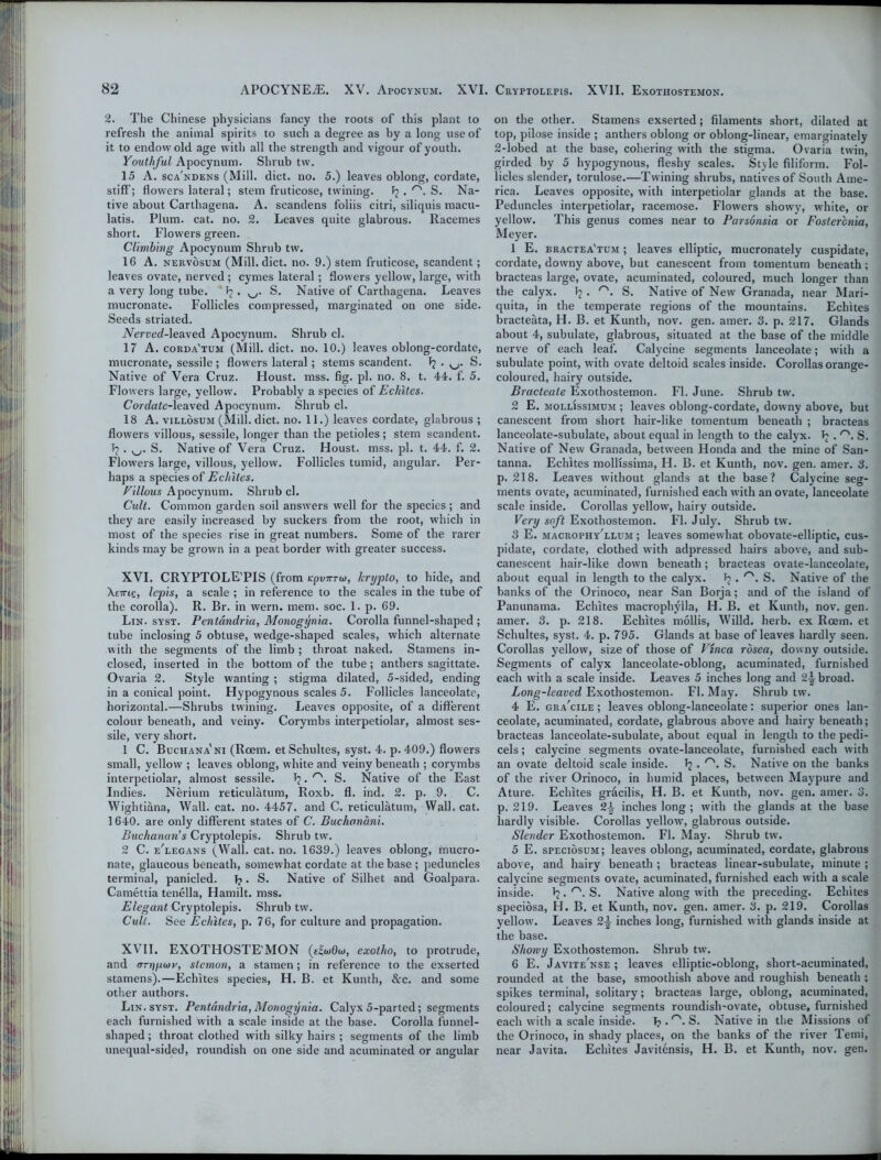 2. The Chinese physicians fancy the roots of this plant to refresh the animal spirits to such a degree as by a long use of it to endow old age with all the strength and vigour of youth. Youthful Apocynum. Shrub tw. 15 A. sca'ndens (Mill. diet. no. 5.) leaves oblong, cordate, stiff; flowers lateral; stem fruticose, twining. 1? . rs. S. Na- tive about Carthagena. A. scandens foliis citri, siliquis macu- latis. Plum. cat. no. 2. Leaves quite glabrous. Racemes short. Flowers green. Climbing Apocynum Shrub tw. 16 A. nervosum (Mill. diet. no. 9.) stem fruticose, scandent; leaves ovate, nerved; cymes lateral; flowers yellow, large, with a very long tube, f S. Native of Carthagena. Leaves mucronate. Follicles compressed, marginated on one side. Seeds striated. Nerved-leaved Apocynum. Shrub cl. 17 A. corda'tum (Mill. diet. no. 10.) leaves oblong-cordate, mucronate, sessile; flowers lateral; stems scandent. J? . S. Native of Vera Cruz. Houst. mss. fig. pi. no. 8. t. 44. f. 5. Flowers large, yellow. Probably a species of Ecliites. Cordage-leaved Apocynum. Shrub cl. 18 A. villosum (Mill. diet. no. 11.) leaves cordate, glabrous ; flowers villous, sessile, longer than the petioles; stem scandent. Tj . S. Native of Vera Cruz. Houst. mss. pi. t. 44. f. 2. Flowers large, villous, yellow. Follicles tumid, angular. Per- haps a species of Ecliites. Villous Apocynum. Shrub cl. Cult. Common garden soil answers well for the species ; and they are easily increased by suckers from the root, which in most of the species rise in great numbers. Some of the rarer kinds may be grown in a peat border with greater success. XVI. CRYPTOLE'PIS (from Kpvirru), kryplo, to hide, and \ettiq, lepis, a scale ; in reference to the scales in the tube of the corolla). R. Br. in wern. mem. soc. 1. p. 69. Lin. syst. Pentdndria, Monogynia. Corolla funnel-shaped ; tube inclosing 5 obtuse, wedge-shaped scales, which alternate with the segments of the limb ; throat naked. Stamens in- closed, inserted in the bottom of the tube; anthers sagittate. Ovaria 2. Style wanting ; stigma dilated, 5-sided, ending in a conical point. Hypogynous scales 5. Follicles lanceolate, horizontal.—Shrubs twining. Leaves opposite, of a different colour beneath, and veiny. Corymbs interpetiolar, almost ses- sile, very short. 1 C. Buchana'ni (Roem. et Schultes, syst. 4. p. 409.) flowers small, yellow ; leaves oblong, white and veiny beneath ; corymbs interpetiolar, almost sessile. . r\ S. Native of the East Indies. Nerium reticulatum, Roxb. fl. ind. 2. p. 9. C. Wightiana, Wall. cat. no. 4457. and C. reticulatum, Wall, cat. 1640. are only different states of C. Buchondni. Buchanan's Cryptolepis. Shrub tw. 2 C. e'legans (Wall. cat. no. 1639.) leaves oblong, mucro- nate, glaucous beneath, somewhat cordate at the base ; peduncles terminal, panicled. 1?. S. Native of Silhet and Goalpara. Camettia tenella, Hamilt. mss. Elegant Cryptolepis. Shrub tw. Cult. See Ecliites, p. 76, for culture and propagation. XVII. EXOTHOSTE'MON exotlio, to protrude, and aTriyui)v, stemon, a stamen; in reference to the exserted stamens).—Ecliites species, H. B. et Kunth, &c. and some other authors. Lin. syst. Pentdndria, Monogynia. Calyx 5-parted; segments each furnished with a scale inside at the base. Corolla funnel- shaped ; throat clothed with silky hairs ; segments of the limb unequal-sided, roundish on one side and acuminated or angular on the other. Stamens exserted; filaments short, dilated at top, pilose inside ; anthers oblong or oblong-linear, emarginately 2-lobed at the base, cohering with the stigma. Ovaria twin, girded by 5 hypogynous, fleshy scales. Style filiform. Fol- licles slender, torulose.—Twining shrubs, natives of South Ame- rica. Leaves opposite, with interpetiolar glands at the base. Peduncles interpetiolar, racemose. Flowers showy, white, or yellow. This genus comes near to Parsonsia or Fostercnia, Meyer. 1 E. bractea'tum ; leaves elliptic, mucronately cuspidate, cordate, downy above, but canescent from tomentum beneath; bracteas large, ovate, acuminated, coloured, much longer than the calyx. T? • S. Native of New Granada, near Mari- quita, in the temperate regions of the mountains. Echltes bracteata, H. B. et Kunth, nov. gen. amer. 3. p. 217. Glands about 4, subulate, glabrous, situated at the base of the middle nerve of each leaf. Calycine segments lanceolate; with a subulate point, with ovate deltoid scales inside. Corollas orange- coloured, hairy outside. Bracteate Exothostemon. Fl. June. Shrub tw. 2 E. mollissimum ; leaves oblong-cordate, downy above, but canescent from short hair-like tomentum beneath ; bracteas lanceolate-subulate, about equal in length to the calyx. Tj . /’\ S. Native of New Granada, between Honda and the mine of San- tanna. Echltes mollissima, H. B. et Kunth, nov. gen. amer. 3. p. 218. Leaves without glands at the base? Calycine seg- ments ovate, acuminated, furnished each with an ovate, lanceolate scale inside. Corollas yellow, hairy outside. Very soft Exothostemon. Fl. July'. Shrub tw. 3 E. macrophy'llum ; leaves somewhat obovate-elliptic, cus- pidate, cordate, clothed with adpressed hairs above, and sub- canescent hair-like down beneath; bracteas ovate-lanceolate, about equal in length to the calyx. S. Native of the banks of the Orinoco, near San Borja; and of the island of Panunama. Echltes macrophylla, H. B. et Kunth, nov. gen. amer. 3. p. 218. Ecliites mollis, Willd. herb, ex Roem. et Schultes, sj'st. 4. p. 795. Glands at base of leaves hardly seen. Corollas yellow, size of those of Vinca rosea, downy outside. Segments of calyx lanceolate-oblong, acuminated, furnished each with a scale inside. Leaves 5 inches long and 2\ broad. Long-leaved Exothostemon. Fl. May. Shrub tw. 4 E. gra'cile ; leaves oblong-lanceolate: superior ones lan- ceolate, acuminated, cordate, glabrous above and hairy beneath; bracteas lanceolate-subulate, about equal in length to the pedi- cels ; calycine segments ovate-lanceolate, furnished each with an ovate deltoid scale inside. . r\ S. Native on the banks of the river Orinoco, in humid places, between Maypure and Ature. Ecliites gracilis, H. B. et Kunth, nov. gen. amer. 3. p. 219. Leaves 2\ inches long ; with the glands at the base hardly visible. Corollas yellow, glabrous outside. Slender Exothostemon. Fl. May. Shrub tw. 5 E. speciosum; leaves oblong, acuminated, cordate, glabrous above, and hairy beneath ; bracteas linear-subulate, minute ; calycine segments ovate, acuminated, furnished each with a scale inside. Jj. r\ S. Native along with the preceding. Ecliites speciosa, H. B. et Kunth, nov. gen. amer. 3. p. 219. Corollas yellow. Leaves 2\ inches long, furnished with glands inside at the base. Showy Exothostemon. Shrub tw. 6 E. Javite'nse ; leaves elliptic-oblong, sliort-acuminated, rounded at the base, smoothish above and roughish beneath ; spikes terminal, solitary; bracteas large, oblong, acuminated, coloured; calycine segments roundish-ovate, obtuse, furnished each with a scale inside. 1? .S. Native in the Missions of the Orinoco, in shady places, on the banks of the river Temi, near Javita. Ecliites Javitensis, H. B. et Kunth, nov. gen.