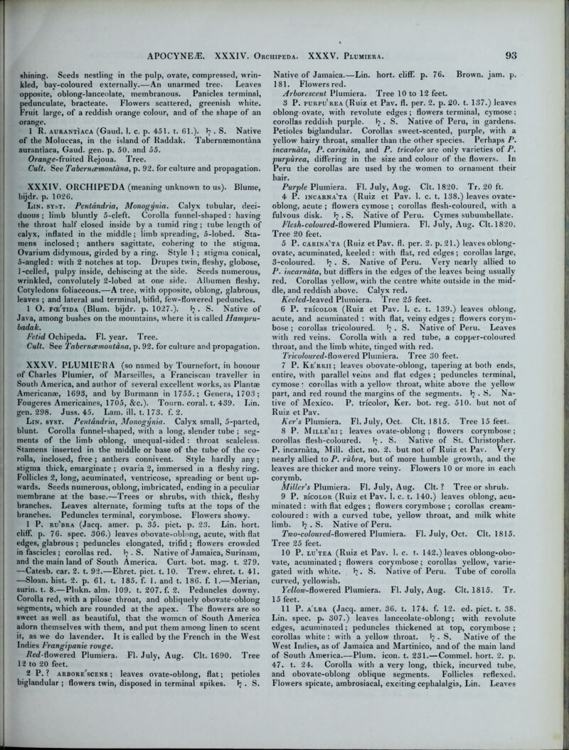 shining. Seeds nestling in the pulp, ovate, compressed, wrin- kled, bay-coloured externally.—An unarmed tree. Leaves opposite, oblong-lanceolate, membranous. Panicles terminal, pedunculate, bracteate. Flowers scattered, greenish white. Fruit large, of a reddish orange colour, and of the shape of an orange. 1 R. aurantiaca (Gaud. 1. c. p. 451. t. 61.). . S. Native of the Moluccas, in the island of Raddak. Tabernaemontana aurantiaca, Gaud. gen. p. 50. and 55. Orange-fruited Rejoua. Tree. Cult. See Taberncemontana, p. 92. for culture and propagation. XXXIV. ORCHIPE'DA (meaning unknown to us). Blume, bijdr. p. 1026. Lin. syj*t. Pentandria, Monogynia. Calyx tubular, deci- duous ; limb bluntly 5-cleft. Corolla funnel-shaped: having the throat half closed inside by a tumid ring; tube length of calyx, inflated in the middle; limb spreading, 5-lobed. Sta- mens inclosed; anthers sagittate, cohering to the stigma. Ovarium didymous, girded by a ring. Style 1 ; stigma conical, 5-angled: with 2 notches at top. Drupes twin, fleshy, globose, 1-celled, pulpy inside, dehiscing at the side. Seeds numerous, wrinkled, convolutely 2-lobed at one side. Albumen fleshy. Cotyledons foliaceous.—A tree, with opposite, oblong, glabrous, leaves ; and lateral and terminal, bifid, few-flowered peduncles. 1 O. fo/tida (Blum, bijdr. p. 1027.). 1? . S. Native of Java, among bushes on the mountains, where it is called Hampru- badak. Fetid Ochipeda. FI. year. Tree. Cult. See Taberncemontana, p. 92. for culture and propagation. XXXV. PLUMIE'RA (so named by Tournefort, in honour of Charles Plumier, of Marseilles, a Franciscan traveller in South America, and author of several excellent works, as Plant® American®, 1693, and by Burmann in 1755.; Genera, 1703; Fougeres Americaines, 1705, &c.). Tourn. coral, t. 439. Lin. gen. 298. Juss. 45. Lam. ill. t. 173. f. 2. Lin. syst. Pentandria, Monogynia. Calyx small, 5-parted, blunt. Corolla funnel-shaped, with a long, slender tube ; seg- ments of the limb oblong, unequal-sided : throat scaleless. Stamens inserted in the middle or base of the tube of the co- rolla, inclosed, free ; anthers connivent. Style hardly any; stigma thick, emarginate ; ovaria 2, immersed in a fleshy ring. Follicles 2, long, acuminated, ventricose, spreading or bent up- wards. Seeds numerous, oblong, imbricated, ending in a peculiar membrane at the base.—Trees or shrubs, with thick, fleshy branches. Leaves alternate, forming tufts at the tops of the branches. Peduncles terminal, corymbose. Flowers showy. 1 P. ru'bra (Jacq. amer. p. 35. pict. p. 23. Lin. hort. cliff, p. 76. spec. 306.) leaves obovate-oblong, acute, with flat edges, glabrous ; peduncles elongated, trifid; flowers crowded in fascicles ; corollas red. T? . S. Native of Jamaica, Surinam, and the main land of South America. Curt. hot. mag. t. 279. —Catesb. car. 2. t. 92.—Ehret. pict. t. 10. Trew. ehret. t. 41. —Sloan, hist. 2. p. 61. t. 185. f. 1. and t. 186. f. 1.—Merian, surin. t. 8.— Plukn. aim. 109. t. 207. f. 2. Peduncles downy. Corolla red, with a pilose throat, and obliquely obovate-oblong segments, which are rounded at the apex. The flowers are so sweet as well as beautiful, that the women of South America adorn themselves with them, and put them among linen to scent it, as we do lavender. It is called by the French in the West Indies Frangipanie rouge. 7?e<Z-flowered Plumiera. FI. July, Aug. Clt. 1690. Tree 12 to 20 feet. 2 P. ? arbore'scens ; leaves ovate-oblong, flat; petioles biglandular ; flowers twin, disposed in terminal spikes. . S. Native of Jamaica.—Lin. hort. cliff, p. 76. Brown, jam. p. 181. Flowers red. Arborescent Plumiera. Tree 10 to 12 feet. 3 P. purpurea (Ruiz et Pav. fl. per. 2. p. 20. t. 137.) leaves oblong-ovate, with revolute edges; flowers terminal, cymose; corollas reddish purple. 1? . S. Native of Peru, in gardens. Petioles biglandular. Corollas sweet-scented, purple, w’ith a yellow hairy throat, smaller than the other species. Perhaps P. incarnata, P. carindta, and P. tricolor are only varieties of P. purpurea, differing in the size and colour of the flowers. In Peru the corollas are used by the women to ornament their hair. Purple Plumiera. Fl. July, Aug. Clt. 1820. Tr. 20 ft. 4 P. incarna'ta (Ruiz et Pav. 1. c. t. 138.) leaves ovate- oblong, acute ; flowers cymose; corollas flesh-coloured, with a fulvous disk. fj . S. Native of Peru. Cymes subumbellate. Flesh-coloured-dowered Plumiera. Fl. July, Aug. Clt. 1820. Tree 20 feet. 5 P. carina'ta (Ruiz etPav. fl. per. 2. p. 21.) leaves oblong- ovate, acuminated, keeled : with flat, red edges ; corollas large, 3-coloured. fj . S. Native of Peru. Very nearly allied to P. incarnata, but differs in the edges of the leaves being usually red. Corollas yellow, with the centre white outside in the mid- dle, and reddish above. Calyx red. ATe/eeMeaved Plumiera. Tree 25 feet. 6 P. tricolor (Ruiz et Pav. 1. c. t. 139.) leaves oblong, acute, and acuminated : with flat, veiny edges; flowers corym- bose ; corollas tricoloured. . S. Native of Peru. Leaves with red veins. Corolla with a red tube, a copper-coloured throat, and the limb white, tinged with red. Tricoloured-dowered Plumiera. Tree 30 feet. 7 P. Ke'rrii ; leaves obovate-oblong, tapering at both ends, entire, with parallel veins and flat edges ; peduncles terminal, cymose • corollas with a yellow throat, white above the yellow' part, and red round the margins of the segments. ^ Na- tive of Mexico. P. tricolor, Ker. bot. reg. 510. but not of Ruiz et Pav. Ker’s Plumiera. Fl. July, Oct. Clt. 1815. Tree 15 feet. 8 P. Mille'ri; leaves ovate-oblong; flowers corymbose; corollas flesh-coloured. Ij . S. Native of St. Christopher. P. incarnata, Mill. diet. no. 2. but not of Ruiz et Pav. Very nearly allied to P. rubra, but of more humble growth, and the leaves are thicker and more veiny. Flowers 10 or more in each corymb. Miller’s Plumiera. Fl. July, Aug. Clt.? Tree or shrub. 9 P. bicolor (Ruiz etPav. 1. c. t. 140.) leaves oblong, acu- minated : with flat edges ; flowers corymbose ; corollas cream- coloured : with a curved tube, yellow throat, and milk white limb. 1? . S. Native of Peru. Two-colour ed-dowered Plumiera. Fl. July, Oct. Clt. 1815. Tree 25 feet. 10 P. lu'tea (Ruiz et Pav. 1. c. t. 142.) leaves oblong-obo- vate, acuminated; flowers corymbose; corollas yellow', varie- gated with white. . S. Native of Peru. Tube of corolla curved, yellowish. Yellow-dowered Plumiera. Fl. July, Aug. Clt. 1815. Tr. 15 feet. 11 P. alba (Jacq. amer. 36. t. 174. f. 12. ed. pict. t. 38. Lin. spec. p. 307.) leaves lanceolate-oblong; with revolute edges, acuminated; peduncles thickened at top, corymbose ; corollas white: with a yellow throat. . S. Native of the West Indies, as of Jamaica and Martinico, and of the main land of South America.—Plum. icon. t. 231.—Commel. hort. 2. p. 47. t. 24. Corolla with a very long, thick, incurved tube, and obovate-oblong oblique segments. Follicles reflexed. Flowers spicate, ambrosiacal, exciting cephalalgia, Lin. Leaves