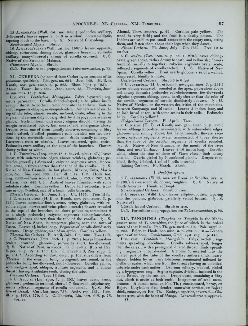 15 A. odora'ta (Wall. cat. no. 1606.) peduncles axillary, 3-flowered ; leaves opposite, or 3 in a whorl, obovate-elliptic, tapering much to the base. . S. Native of Chapedong. Sweet-scented, Alyxia. Shrub. 16 A. glauce'scens (Wall. cat. no. 1607.) leaves opposite, oblong, coriaceous, shining above, glaucous beneath ; corymbs axillary, many-flowered ; throat of corolla crowned. T? • S. Native of the Straits of Malacca. Glaucescent Alyxia. Shrub. Cult. For culture and propagation see Taberncemoniana, p. 92. XL. CE'RBERA (so named from Cerberus, on account of its poisonous qualities). Lin. gen. no. 294. Juss. 149. H. B. et Kunth, nov. gen. amer. 3. p. 223. Blum, bijdr. p. 1031.— Ahouai, Tourn. inst. 434. Jacq. amer. 48. Thevetia, Juss. in ann. mus. 15. p. 346. Lin. syst. Pentandria, Monogynia. Calyx 5-parted ; seg- ments permanent. Corolla funnel-shaped ; tube pilose inside at top ; throat 5-toothed: teeth opposite the anthers; limb 5- cleft; segments oblique, or unequal-sided. Anthers seated on the top of the tube, almost sessile, inclosed, ovate, adhering to the stigma. Ovarium didymous, girded by 5 hypogynous scales or glands. Style filiform, didymous; stigma discoid: having the margin crenulated below, but convex and emarginate above. Drupes twin, one of them usually abortive, containing a fibry semi-bivalved, 1-celled putamen ; cells divided into two divi- sions by the moveable dissepiment. Seeds usually solitary.— Lactescent trees or shrubs. Leaves scattered, quite entire. Peduncles extra-axillary at the tops of the branches. Flowers showy yellow or white. 1 C. Theve'tia (Jacq. amer, 48. t. 34. ed. pict. t. 47.) leaves linear, with sub-revolute edges, almost veinless, glabrous; pe- duncles generally 1-flowered ; calycine segments ovate, lanceo- late, acute, 3 times shorter than the tube of the corolla. . S. Native of New Granada, in hot places; Mexico, Cuba, Marti- nico, S:c. Lin. spec. 303. Lam. ill. t. 170. f. 2. Hook. bot. mag. 2309.—Plum. icon. t. 18—Pluk. aim. p. 253. t. 207. f. 3. —Hern. mex. 443. f. 3. Axils of leaves furnished with some subulate scales. Corollas yellow. Drupe half orbicular, trun- cate at top, 2-celled, size of a bean ; cells bipartite. Thevet's Cerbera. FI. June, July. Clt. 1735. Tree 12 ft. 2 C. thevetioides (H. B. et Kunth, nov. gen. amer. 3. p. 223.) leaves lanceolate-linear, acute, veiny, glabrous, with re- volute edges: nerves and veins pilose beneath ; flowers crowded at the tops of the branches, on short peduncles, sometimes 2 on a single peduncle; calycine segments oblong-lanceolate, acutish, 3 times shorter than the tube of the corolla. 1? . S. Native of New Spain, in temperate places, near the town of Tasco. Leaves 4-| inches long. Segments of corolla dimidiately obovate. Drupe globose, size of an apple. Corollas yellow. Thevetia-like Cerbera. FI. April, July. Clt. 1800. Tree 12 ft. 3 C. Peruvia'na (Pers. ench. 1. p. 267.) leaves linear-lan- ceolate, crowded, glabrous; peduncles short, few-flowered, f?. S. Native of Peru, in woods. C. Thevetia, Ruiz et Pav. fl. per. 2. p. 27. t. 153. f. b. C. Thevetia /3, Poir. suppl. 1. p. 261.? According to Cav. descr. p. 108. this differs from Thevetia in the ovarium being tetragonal, not round, in the peduncles being few-flowered, not 1-flowered. Corollas yellow, with wedge-shaped, oblique, truncate segments, and a villous throat: having 5 subulate teeth, closing the tube. Peruvian Cerbera. Tree 12 feet. ! 4 C. Ahou'ai (Lin. spec, 1. p. 303.) leaves ovate, acute, glabrous; peduncles terminal, short, 6-7-flowered ; calycine seg- ments reflexed; segments of corolla undulated. 1?. S. Na- tive of Brazil. Curt. bot. mag. 737. Andr. rep. 231. Lam. ill. 2. p. 193. t. 170. f. 1. C. Thevetia, Lin. hort. cliff, p. 75. VOL. iv. Ahouai, Tliev. antarct. p. 66. Corollas pale yellow. The wood is very fetid ; and the fruit is a deadly poison. The Indians are said to put small stones into the empty nuts, string them, and fasten them about their legs when they dance. Ahouai Cerbera. Fl. June, July. Clt. 1739. Tree 10 to 20 feet. 5 C. ova'ta (Cav. icon. 3. p. 35. t. 270.) leaves oblong- ovate, green above, rather downy beneath, and yellowish ; flowers terminal, usually 5 together; calycine segments ovate, acute, reflexed; segments of corolla arched. I? • S. Native of New Spain. Corolla yellow. Fruit nearly globose, size of a walnut, compressed, bluntly truncate. Ovate-\ea.ved Cerbera. Shrub 3 to 6 feet. 6 C. cuneifolia (H. B. et Kunth, nov. gen. amer. 3. p. 224.) leaves oblong-cuneated, rounded at the apex, puberulous above and downy beneath ; peduncles sub-dichotomous, few-flowered ; calycine segments oblong, acute, hardly shorter than the tube of the corolla; segments of corolla dimidiately obovate. • G. Native of Mexico, on the western declivities of the mountains, between Zumpango and Mescalo. Leaves 3 inches long, and an inch broad at top, with some scales in their axils. Peduncles hairy. Corollas yellow ? Wedge-leaved Cerbera. Fl. April. Tree. 7 C. nitida (H. B. et Kunth, nov. gen. amer. 3. p. 225.) leaves oblong-lanceolate, acuminated, with subrevolute edges, glabrous and shining above, but hairy beneath; flowers race- mose ; calycine segments ovate, acuminated, 4 times shorter than the tube of the corolla; segments of corolla rounded. Jj . S. Native of New Granada, at the mouth of the river Sinu, and near Turbaco. Leaves 8-10 inches long. Corollas white, about the size of those of Vinca rosea; limb downy outside. Ovaria girded by 5 combined glands. Drupes com- bined, fleshy, 2-lobed, 4-celled ? cells 1-seeded. Shining Cerbera. Fl. March. Shrub. •j~ Doubtful species. 8 C. alliodora (VVilld. mss. ex Rcem. et Schultes, syst. 4. p.798.) leaves roundish, obtuse, roughish. ^ • S. Native of South America. Humb. et Bonpl. Garlic-scented Cerbera. Shrub or tree. 9 C. ouova'ta (Willd. 1. c.) leaves elliptic-obovate, tapering into the petioles, glabrous, parallelly veined beneath. hc . S. Native of? Obovate-leaved Cerbera. Shrub or tree. Cult. For culture and propagation see Taberncemoniana, p. 92. XLI. TANGHI'NIA (Tanghen or Tangliin is the Mada- gascar name of T. veneneflua, the juice of which is the ordeal water of that island). Pet. Tli. gen. med. p. 10. Poir. suppl. 5. p. 283. Bojer. in Hook. bot. misc. 3. p. 290. t. 110.—Cerbera species of authors. Cynoctonum, Gmel. syst. veg. 1. p. 443. Lin. syst. Pentandria, Monogynia. Calyx 5-cleft; seg- ments spreading, deciduous. Corolla salver-shaped, longer than the calyx; with a pentagonal, dilated throat; limb spread- ing ; segments unequal-sided. Stamens 5, inserted into the dilated part of the tube of the corolla ; anthers thick, heart- shaped, hidden by as many foliaceous acuminated indexed la- mella2 or scales, which rise from the throat: having an umbilical tubercle under each anther. Ovarium solitary, 4-lobed, girded by a hypogynous ring. Stigma capitate, 2-lobed, inclosed in the dome formed by the anthers. Drupe ovate, containing a fibry nut, which is acute at both ends. Integument of seed mem- branous. Albumen none, ex Pet. Th.; concatenated, horny, ex Bojer. Cotyledons flat, slender, somewhat cordate, ex Bojer; thick, concave, ex Pet. Th. Embryo superior, inverted. — Gla- brous trees, with the habit of Mango. Leaves alternate, approxi- O