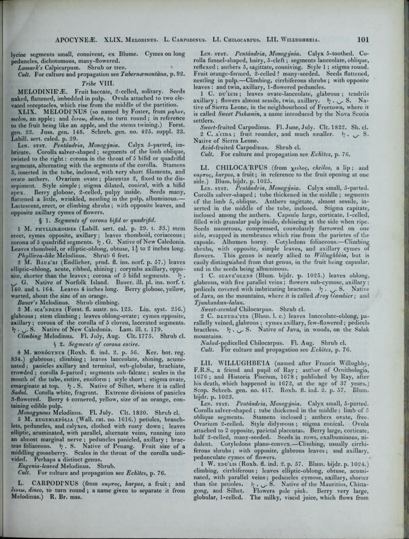 lycine segments small, connivent, ex Blume. Cymes on long peduncles, dichotomous, many-flowered. Lamark’s Calpicarpum. Shrub or tree. Cult. For culture and propagation see Taber ncemontana, p. 92. Tribe VIII. MELODINIE'As. Fruit baccate, 2-celled, solitary. Seeds naked, flattened, imbedded in pulp. Ovula attached to two ele- vated receptacles, which rise from the middle of the partition. XLIX. MELODINUS (so named by Foster, from pn^or, ■melon, an apple; and Strew, dineo, to turn round; in reference to the fruit being like an apple, and the stems twining.) Forst. gen. 23. Juss. gen. 148. Schreb. gen. no. 425. suppl. 23. Labill. sert. caled. p. 29. Lin. syst. Pentdndria, Monogynia. Calyx 5-parted, im- bricate. Corolla salver-sbaped ; segments of the limb oblique, twisted to the right: corona in the throat of 5 bifid or quadrifid segments, alternating with the segments of the corolla. Stamens 5, inserted in the tube, inclosed, with very short filaments, and ovate anthers. Ovarium ovate; placentas 2, fixed to the dis- sepiment. Style simple; stigma dilated, conical, with a bifid apex. Berry globose, 2-celled, pulpy inside. Seeds many, flattened a little, wrinkled, nestling in the pulp, albuminous.— Lactescent, erect, or climbing shrubs ; with opposite leaves, and opposite axillary cymes of flowers. § 1. Segments of corona bifid or quadrifid. 1 M. phyllirajoides (Labill. sert. cal. p. 29. t. 33.) stem erect, cymes opposite, axillary; leaves rhomboid, coriaceous; corona of 5 quadrifid segments. Ij . G. Native of New Caledonia. Leaves rhomboid, or elliptic-oblong, obtuse, 1^ to 2 inches long. Phyllirea-like Melodinus. Shrub 6 feet. 2 M. Baue'ri (Endlicher, prod. fl. ins. norf. p. 57.) leaves elliptic-oblong, acute, ribbed, shining ; corymbs axillary, oppo- site, shorter than the leaves; corona of 5 bifid segments, . G. Native of Norfolk Island. Bauer, ill. pi. ins. norf. t. 140. and t. 164. Leaves 4 inches long. Berry globose, yellow, warted, about the size of an orange. Bauer's Melodinus. Shrub climbing. 3 M. sca'ndens (Forst. fl. austr. no. 125. Lin. syst. 256.) glabrous; stem climbing ; leaves oblong-ovate; cymes opposite, axillary ; corona of the corolla of 5 cloven, lacerated segments. T? . S. Native of New Caledonia. Lam. ill. t. 179. Climbing Melodinus. Fl. July, Aug. Clt. 1775. Shrub cl. § 2. Segments of corona entire. 4 M. monogynus (Roxb. fl. ind. 2. p. 56. Ker. bot. reg. 834.) glabrous; climbing; leaves lanceolate, shining, acumi- nated ; panicles axillary and terminal, sub-globular, brachiate, crowded ; corolla 5-parted; segments sub-falcate; scales in the mouth of the tube, entire, ensiform ; style short; stigma ovate, emarginate at top. • S. Native of Silhet, where it is called Sadul. Corolla white, fragrant. Extreme divisions of panicles 3-flowered. Berry 4 cornered, yellow, size of an orange, con- taining edible pulp. Monogynous Melodinus. Fl. July. Clt. 1820. Shrub cl. 5 M. EUGENiiEFOLiA (Wall. cat. no. 1616.) petioles, branch- lets, peduncles, and calyxes, clothed with rusty down ; leaves elliptic, acuminated, with parallel, alternate veins, running into an almost marginal nerve ; peduncles panicled, axillary ; brac- teas foliaceous. 1? . S. Native of Penang. Fruit size of a middling gooseberry. Scales in the throat of the corolla undi- vided. Perhaps a distinct genus. Eugenia-leaved Melodinus. Shrub. Cult. For culture and propagation see Echites, p. 76. L. CARPODI'NUS (from Kapiroc, karjoos, a fruit; and Strew, dineo, to turn round ; a name given to separate it from Melodinus.) R. Br. mss. Lin. syst. Pentdndria, Monogynia. Calyx 5-toothed. Co- rolla funnel-shaped, hairy, 5-cleft; segments lanceolate, oblique, reflexed; anthers 5, sagittate, conniving. Style 1 ; stigma round. Fruit orange-formed, 2-celled? many-seeded. Seeds flattened, nestling in pulp.—Climbing, cirrhiferous shrubs ; with opposite leaves : and twin, axillary, 1-flowered peduncles. 1 C. di/lcis ; leaves ovate-lanceolate, glabrous ; tendrils axillary ; flowers almost sessile, twin, axillary. Tj . S. Na- tive of Sierra Leone, in the neighbourhood of Freetown, where it is called Sweet Pishamin, a name introduced by the Nova Scotia settlers. Yweef-fruited Carpodinus. Fl. June, July. Clt. 1822. Sh. cl. 2 C. a'cida ; fruit rounder, and much smaller. J? . S. Native of Sierra Leone. Acid-fruited Carpodinus. Shrub cl. Cult. For culture and propagation see Echites, p. 76. LI. CHILOCA'RPUS (from \et\oQ, cheilos, a lip; and KapiroQ, karpos, a fruit; in reference to the fruit opening at one side.) Blum, bijdr. p. 1025. Lin. syst. Pentdndria, Monogynia. Calyx small, 5-parted. Corolla salver-shaped ; tube thickened in the middle ; segments of the limb 5, oblique. Anthers sagittate, almost sessile, in- serted in the middle of the tube, inclosed. Stigma capitate, inclosed among the anthers. Capsule large, corticate, 1-celled, filled with granular pulp inside, dehiscing at the side when ripe. Seeds numerous, compressed, convolutely furrowed on one side, wrapped in membranes which rise from the parietes of the capsule. Albumen horny. Cotyledons foliaceous.—Climbing shrubs, with opposite, simple leaves, and axillary cymes of flowers. This genus is nearly allied to Willughbeia, but is easily distinguished from that genus, in the fruit being capsular, and in the seeds being albuminous. 1 C. suave'olens (Blum, bijdr. p. 1025.) leaves oblong, glabrous, with five parallel veins ; flowrers sub-cymose, axillary ; pedicels covered with imbricating bracteas. Tj . S. Native of Java, on the mountains, where it is called Aroy Gambier; and Tjunkankan-lalan. Sweet-scented Chilocarpus. Shrub cl. 2 C. denuda'tus (Blum. 1. c.) leaves lanceolate-oblong, pa- rallelly veined, glabrous ; cymes axillary, few-flowered ; pedicels bractless. fj . v->. S. Native of Java, in woods, on the Salak mountains. iVa/iW-pedicelled Chilocarpus. Fl. Aug. Shrub cl. Cult. For culture and propagation see Echites, p. 76. LII. WILLUGHBE'IA (named after Francis Willughby, F.R.S., a friend and pupil of Ray ; author of Ornithologia, 1676 ; and Historia Piscium, 1678 ; published by Ray, after his death, which happened in 1672, at the age of 37 years.) Scop. Schreb. gen. no. 417. Roxb. fl. ind. 2. p. 57. Blum, bijdr. p. 1023. Lin. syst. Pentdndria, Monogynia. Calyx small, 5-parted. Corolla salver-shaped ; tube thickened in the middle; limb of 5 oblique segments. Stamens inclosed ; anthers ovate, free. Ovarium 2-celled. Style didymous ; stigma conical. Ovula attached to 2 opposite, parietal placentas. Berry large, corticate, half 2-celled, many-seeded. Seeds in rows, exalbuminous, ni- dulent. Cotyledons plano-convex.—Climbing, usually cirrhi- ferous shrubs; with opposite, glabrous leaves; and axillary, pedunculate cymes of flowers. 1 W. edu'lis (Roxb. fl. ind. 2. p. 57. Blum, bijdr. p. 1024.) climbing, cirrhiferous ; leaves elliptic-oblong, obtuse, acumi- nated, with parallel veins; peduncles cymose, axillary, shorter than the petioles. . w. S. Native of the Mauritius, Chitta- gong, and Silhet. Flowers pale pink. Berry very large, globular, 1-celled. The milky, viscid juice, which flows from