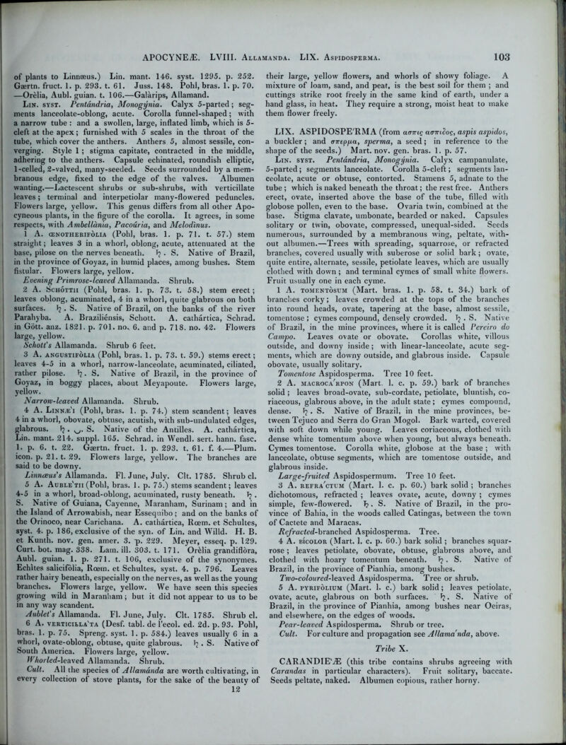 of plants to Linnaeus.) Lin. mant. 146. syst. 1295. p. 252. Gaertn. fruct. 1. p. 293. t. 61. Juss. 148. Pohl, bras. 1. p. 70. —Orelia, Aubl. guian. t. 106.—Gal&rips, Allamand. Lin. syst. Pentandria, Monogynia. Calyx 5-parted ; seg- ments lanceolate-oblong, acute. Corolla funnel-shaped; with a narrow tube : and a swollen, large, inflated limb, which is 5- cleft at the apex; furnished with 5 scales in the throat of the tube, which cover the anthers. Anthers 5, almost sessile, con- verging. Style 1 ; stigma capitate, contracted in the middle, adhering to the anthers. Capsule echinated, roundish elliptic, 1-celled, 2-valved, many-seeded. Seeds surrounded by a mem- branous edge, fixed to the edge of the valves. Albumen wanting.—Lactescent shrubs or sub-shrubs, with verticillate leaves; terminal and interpetiolar many-flowered peduncles. Flowers large, yellow. This genus differs from all other Apo- cyneous plants, in the figure of the corolla. It agrees, in some respects, with Ambellania, Pacouria, and Melodinus. 1 A. cenotherifolia (Pohl, bras. 1. p. 71. t. 57.) stem straight; leaves 3 in a whorl, oblong, acute, attenuated at the base, pilose on the nerves beneath. J? . S. Native of Brazil, in the province ofGoyaz, in humid places, among bushes. Stem fistular. Flowers large, yellow. Evening Primrose-leaved Allamanda. Shrub. 2 A. Schottii (Pohl, bras. 1. p. 73. t. 58.) stem erect; leaves oblong, acuminated, 4 in a whorl, quite glabrous on both surfaces, . S. Native of Brazil, on the banks of the river Parahyba. A. Braziliensis, Schott. A. cathartica, Schrad. in Gott. anz. 1821. p. 701. no.. 6. and p. 718. no. 42. Flowers large, yellow. Schott's Allamanda. Shrub 6 feet. 3 A. angustifolia (Pohl, bras. 1. p. 73. t. 59.) stems erect; leaves 4-5 in a whorl, narrow-lanceolate, acuminated, ciliated, rather pilose. *2 • S. Native of Brazil, in the province of Goyaz, in boggy places, about Meyapoute. Flowers large, yellow. Narrow-leaved Allamanda. Shrub. 4 A. Linn^l'i (Pohl, bras. 1. p. 74.) stem scandent; leaves 4 in a whorl, obovate, obtuse, acutish, with sub-undulated edges, glabrous. ^S. Native of the Antilles. A. cathartica, Lin. mant. 214. suppl. 165. Schrad. in Wendl. sert. hann. fasc. 1. p. 6. t. 22. Gaertn. fruct. 1. p. 293. t. 61. f. 4.—Plum, icon. p. 21. t. 29. Flowers large, yellow. The branches are said to be downy. LinncBus's Allamanda. FI. June, July. Clt. 1785. Shrub cl. 5 A. Auble'tii (Pohl, bras. 1. p. 75.) stems scandent; leaves 4-5 in a whorl, broad-oblong, acuminated, rusty beneath. Tj . S. Native of Guiana, Cayenne, Maranham, Surinam; and in the Island of Arrowabish, near Essequibo; and on the banks of the Orinoco, near Carichana. A. cathartica, Roem. et Schultes, syst. 4. p. 186, exclusive of the syn. of Lin. and Willd. H. B. et Kunth. nov. gen. amer. 3. qj. 229. Meyer, esseq. p. 129. Curt. bot. mag. 338. Lam. ill. 303. t. 171. Or&lia grandiflora, Aubl. guian. 1. p. 271. t. 106, exclusive of the synonymes. Echites salicifolia, Roem. et Schultes, syst. 4. p. 796. Leaves rather hairy beneath, especially on the nerves, as well as the young branches. Flowers large, yellow. We have seen this species growing wild in Maranham; but it did not appear to us to be in any way scandent. Aublet's Allamanda. FI. June, July. Clt. 1785. Shrub cl. 6 A. verticiela'ta (Desf. tabl. de l’ecol. ed. 2d. p. 93. Pohl, bras. 1, p. 75. Spreng. syst. 1. p. 584.) leaves usually 6 in a whorl, ovate-oblong, obtuse, quite glabrous. Ij. S. Native of South America. Flowers large, yellow. Whorled-leaved Allamanda. Shrub. Cult. All the species of Allamanda are worth cultivating, in every collection of stove plants, for the sake of the beauty of 12 their large, yellow flowers, and whorls of showy foliage. A mixture of loam, sand, and peat, is the best soil for them ; and cuttings strike root freely in the same kind of earth, under a hand glass, in heat. They require a strong, moist heat to make them flower freely. LIX. ASPIDOSPE'RMA (from a(tttiq acrmdoQ, aspis aspidos, a buckler; and mreppa, sperma, a seed; in reference to the shape of the seeds.) Mart. nov. gen. bras. 1. p. 57. Lin. syst. Pentandria, Monogynia. Calyx campanulate, 5-parted; segments lanceolate. Corolla 5-cleft; segments lan- ceolate, acute or obtuse, contorted. Stamens 5, adnate to the tube; which is naked beneath the throat; the rest free. Anthers erect, ovate, inserted above the base of the tube, filled with globose pollen, even to the base. Ovaria twin, combined at the base. Stigma clavate, umbonate, bearded or naked. Capsules solitary or twin, obovate, compressed, unequal-sided. Seeds numerous, surrounded by a membranous wing, peltate, with- out albumen.—Trees with spreading, squarrose, or refracted branches, covered usually with suberose or solid bark; ovate, quite entire, alternate, sessile, petiolate leaves, which are usually clothed with down ; and terminal cymes of small white flowers. Fruit usually one in each cyme. 1 A. tomentosum (Mart. bras. 1. p. 58. t. 34.) bark of branches corky; leaves crowded at the tops of the branches into round heads, ovate, tapering at the base, almost sessile, tomentose ; cymes compound, densely crowded. Tj • S. Native of Brazil, in the mine provinces, where it is called Pereiro do Campo. Leaves ovate or obovate. Corollas white, villous outside, and downy inside; with linear-lanceolate, acute seg- ments, which are downy outside, and glabrous inside. Capsule obovate, usually solitary. Tomentose Aspidosperma. Tree 10 feet. 2 A. macroca'rpon (Mart. 1. c. p. 59.) bark of branches solid ; leaves broad-ovate, sub-cordate, petiolate, bluntish, co- riaceous, glabrous above, in the adult state ; cymes compound, dense. fj . S. Native of Brazil, in the mine provinces, be- tween Tejuco and Serra do Gran Mogol. Bark waited, covered with soft down while young. Leaves coriaceous, clothed with dense white tomentum above when young, but always beneath. Cymes tomentose. Corolla white, globose at the base ; with lanceolate, obtuse segments, which are tomentose outside, and glabrous inside. Large-fruited Aspidospermum. Tree 10 feet. 3 A. refra'ctum (Mart. 1. c. p. 60.) bark solid ; branches dichotomous, refracted ; leaves ovate, acute, downy ; cymes simple, few-flowered. I? • S. Native of Brazil, in the pro- vince of Bahia, in the woods called Catingas, between the town of Cactete and Maracas. Refracted-bxancheA Aspidosperma. Tree. 4 A. bicolor (Mart. 1. c. p. 60.) bark solid ; branches squar- rose ; leaves petiolate, obovate, obtuse, glabrous above, and clothed with hoary tomentum beneath. T? . S. Native of Brazil, in the province of Pianhia, among bushes. Two-coloured-\eaveA Aspidosperma. Tree or shrub. 5 A. pyrifolium (Mart. 1. c.) bark solid; leaves petiolate, ovate, acute, glabrous on both surfaces. . S. Native of Brazil, in the province of Pianhia, among bushes near Oeiras, and elsewhere, on the edges of w’oods. Pear-leaved Aspidosperma. Shrub or tree. Cult. For culture and propagation see Allamanda, above. Tribe X. CARANDIE'iE (this tribe contains shrubs agreeing with Carandas in particular characters). Fruit solitary, baccate. Seeds peltate, naked. Albumen copious, rather horny.