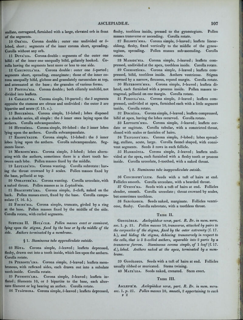 stellate, corrugated, furnished with a large, elevated orb in front of the segments. 10 Obe'sia. Corona double; outer one undivided or 5- lobed, short; segments of the inner corona short, spreading. Corolla without any orb. 11 Duva'lia. Corona double : segments of the outer one bifid : of the inner one unequally bifid, galiately hooked. Co- rolla having the segments bent more or less to one side. 12 Caruncula'ria. Corona double: outer one 5-parted; segments short, spreading, emarginate; those of the inner co- rona unequally bifid, globose and granulately carunculate at top, and attenuated at the base ; the granules of various forms. 13 Pectina'ria. Corona double ; both ciliately multifid, not divided into leaflets. 14 Carallu'ma. Corona simple, 10-parted ; the 5 segments opposite the stamens are obtuse and undivided : the outer 5 are bipartite and acute (f. 15. c.). 15 Boucerosia. Corona simple, 15-lobed; lobes disposed in a double series, all simple: the 5 inner ones laying upon the anthers. Corolla subcampanulate. 16 Hutchinia. Corona simple, 20-lobed : the 5 inner lobes lying upon the anthers. Corolla subcampanulate. 17 Eriope'talum. Corona simple, 15-lobed: the 5 inner lobes lying upon the anthers. Corolla subcampanulate. Seg- ments linear. 18 Microste'mma. Corona simple, 5-lobed; lobes altern- ating with the anthers, sometimes there is a short tooth be- tween each lobe. Pollen masses fixed by the middle. 19 Leptade'nia. Corona wanting. Corolla subrotate: hav- ing the throat crowned by 5 scales. Pollen masses fixed by the base, pellucid at top. 20 Othanthe'ra. Corona wanting. Corolla urceolate, with a naked throat. Pollen masses as in Leptadenia. 21 Brachyste'lma. Corona simple, 5-cleft, naked on the back. Pollen masses erect, fixed by the base. Corolla campa- nulate (f. 16. b.). 22 Fische'ria. Corona simple, truncate, girded by a ring at the base. Pollen masses fixed by the middle of the side. Corolla rotate, with curled segments. Subtribe II. Hoya'ceae. Pollen masses erect or connivent, lying upon the stigma, fixed by the base or by the middle of the side. Anthers terminated by a membrane. § 1. Stamineous tube appendiculate outside. 23 Hoya. Corona simple, 5-leaved; leaflets depressed, fleshy, drawn out into a tooth inside, which lies upon the anthers. Corolla rotate. 24 Pteroste/lma. Corona simple, 5-leaved; leaflets mem- branous, with reflexed sides, each drawn out into a subulate tooth inside. Corolla rotate. 25 Piiysoste'lma. Corona simple, 5-leaved; leaflets in- flated; filaments 10, or 5 bipartite to the base, each alter- nate filament or leg bearing an anther. Corolla rotate. 26 Tylophora. Corona simple, 5-leaved ; leaflets depressed, fleshy, toothless inside, pressed to the gynostegium. Pollen masses transverse or ascending. Corolla rotate. 27 Beloste'mma. Corona simple, 5-leaved; leaflets linear- oblong, fleshy, fixed vertically to the middle of the gynos- tegium, spreading. Pollen masses sub-ascending. Corolla rotate. 28 Marsde'nia. Corona simple, 5-leaved; leaflets com- pressed, undivided at the apex, toothless inside. Corolla rotate. 29 Cosmostigma. Corona simple, 5-leaved ; leaflets com- pressed, bifid, toothless inside. Anthers ventricose. Stigma crowned by a narrow, flexuous, repand margin. Corolla rotate. 30 Heteroste'mma. Corona simple, 5-leaved; leaflets di- lated, each furnished with a process inside. Pollen masses te- tragonal, pellucid on one margin. Corolla rotate. 31 Pergula'ria. Corona simple, 5-leaved ; leaflets com- pressed, undivided at apex, furnished each with a little segment inside. Corolla rotate. 32 Dischidia. Corona simple, 5-leaved ; leaflets compressed, bifid at apex, having the lobes recurved. Corolla rotate. 33 Leptoste'mma. Corona simple, 5-leaved; leaflets cor- date or sagittate. Corolla tubular, with a constricted throat, closed with scales or fascicles of hairs. 34 Triplospe'rma. Corona simple, 5-lobed; lobes spread- ing, stellate, acute, large. Corolla funnel-shaped, with conni- vent segments. Seeds 3 rows in each follicle. 35 Harrisonia. Corona simple, 5-leaved; leaflets undi- vided at the apex, each furnished with a fleshy tooth or process inside. Corolla urceolate, 5-toothed, with a naked throat. § 2. Stamineous tube inappendiculate outside. 36 Conchophy'llum. Seeds with a tuft of hairs at end. Follicles smooth. Corolla urceolate, with a bearded throat. 37 Gymne'ma. Seeds with a tuft of hairs at end. Follicles slender, smooth. Corolla urceolate ; throat crowned by scales, but sometimes toothless. 38 Sarcolobus. Seeds naked, marginate. Follicles ventri- cose, fleshy. Corolla subrotate, with a toothless throat. Tribe II. Gonolobeae. Asclepiadece verce, part. R. Br. in mem. mem. soc. 1. p. 21. Pollen masses 10, transverse, attached by pairs to the corpuscles of the stigma, fixed by the outer extremity (f. 17. h.), and hiding the stigma, dehiscing transversely in respect to the cells, that is 5 2-celled anthers, separable into 2 parts by a transverse furrow. Stamineous corona simple, of 1 leaf (f. 17. d.), lobed. Anthers naked at the apex, terminated by a mem- brane. 39 Gonolobus. Seeds with a tuft of hairs at end. Follicles usually ribbed or muricated. Stems twining. 40 Mate'lea. Seeds naked, crenated. Stem erect. Tribe III. Asclepie'a:. Asclepiadece verce, part. R. Br. in mem. mem• soc. 1. p. 21. Pollen masses 10, smooth, 2 appertaining to each p 2